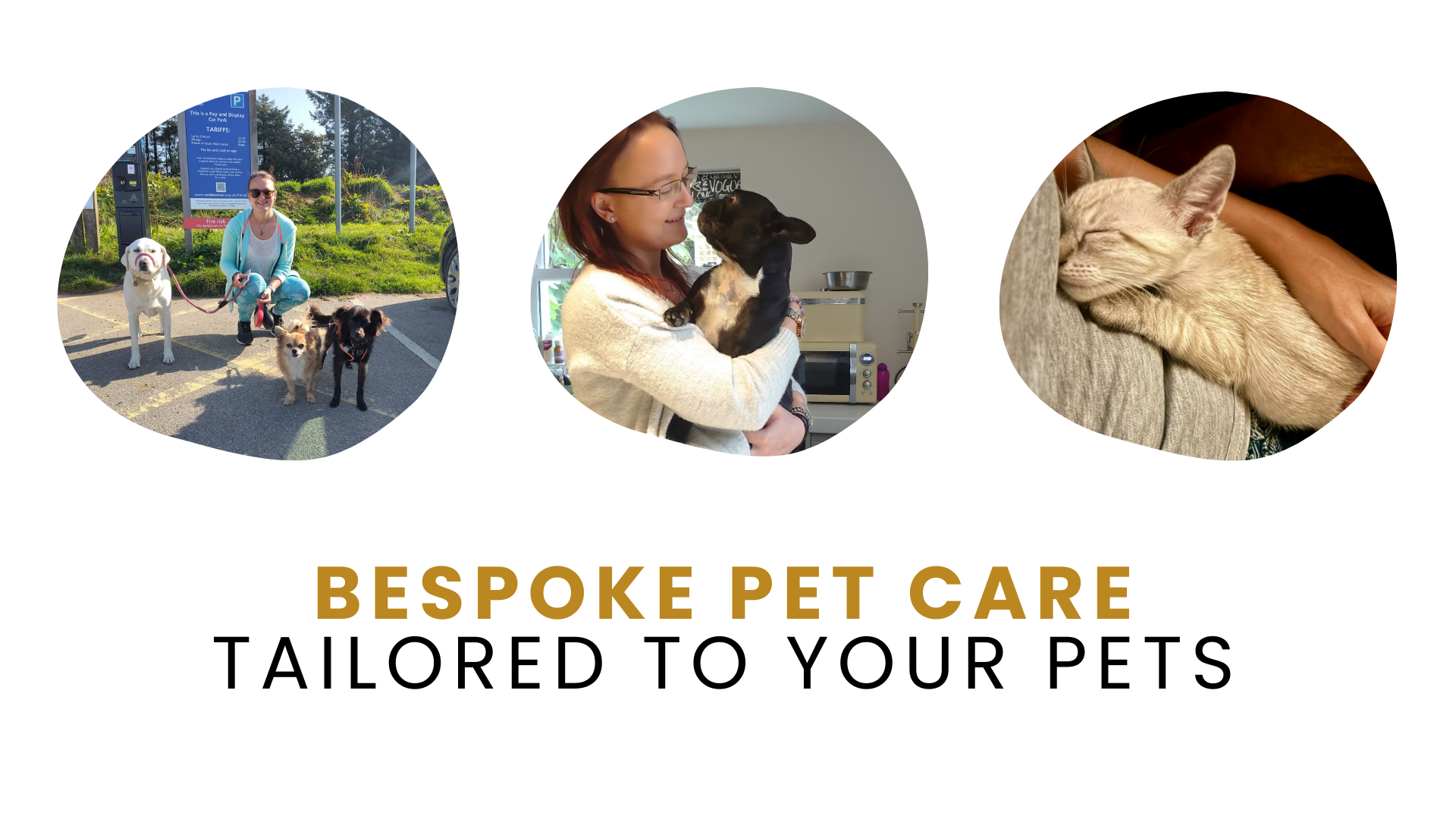 Pet Sitting Services in Saltash. Pet Sitting Services in Cornwall. Pet Sitting Services in Devon