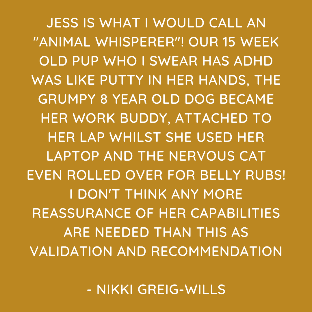 Pet Sitting Services in Saltash. Pet Sitting Services in Cornwall. Pet Sitting Services in Devon