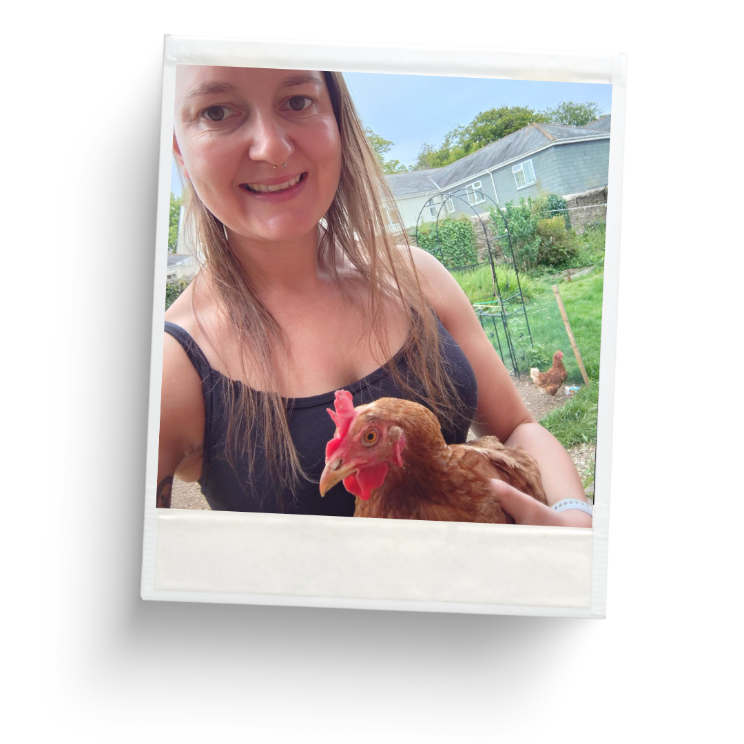 Pet Sitting Services in Saltash. Pet Sitting Services in Cornwall. Pet Sitting Services in Devon