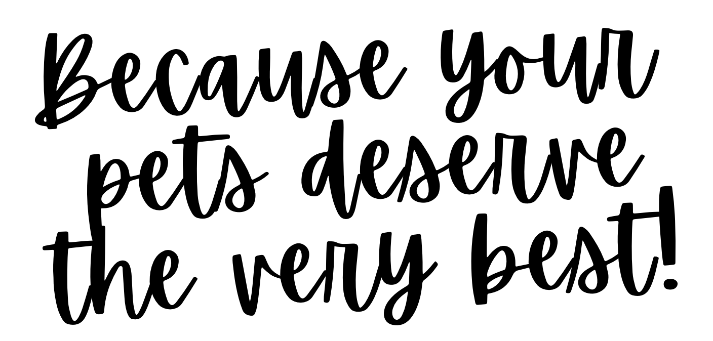 Pet Sitting Services in Saltash. Pet Sitting Services in Cornwall. Pet Sitting Services in Devon. Pet Sitting Services in Devon & Cornwall