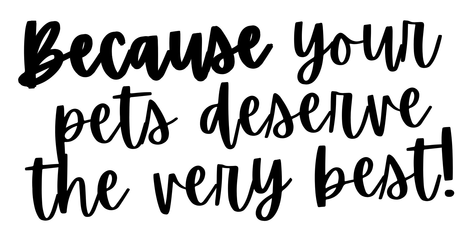 Pet Sitting Services in Saltash. Pet Sitting Services in Cornwall. Pet Sitting Services in Devon. Pet Sitting Services in Devon & Cornwall