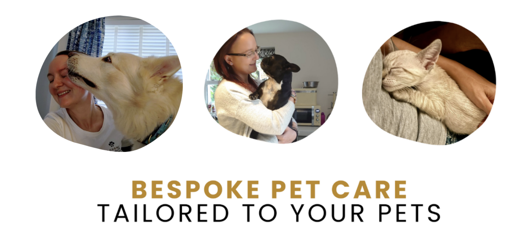 Pet Sitting Services in Saltash. Pet Sitting Services in Cornwall. Pet Sitting Services in Devon. Pet Sitting Services in Devon & Cornwall