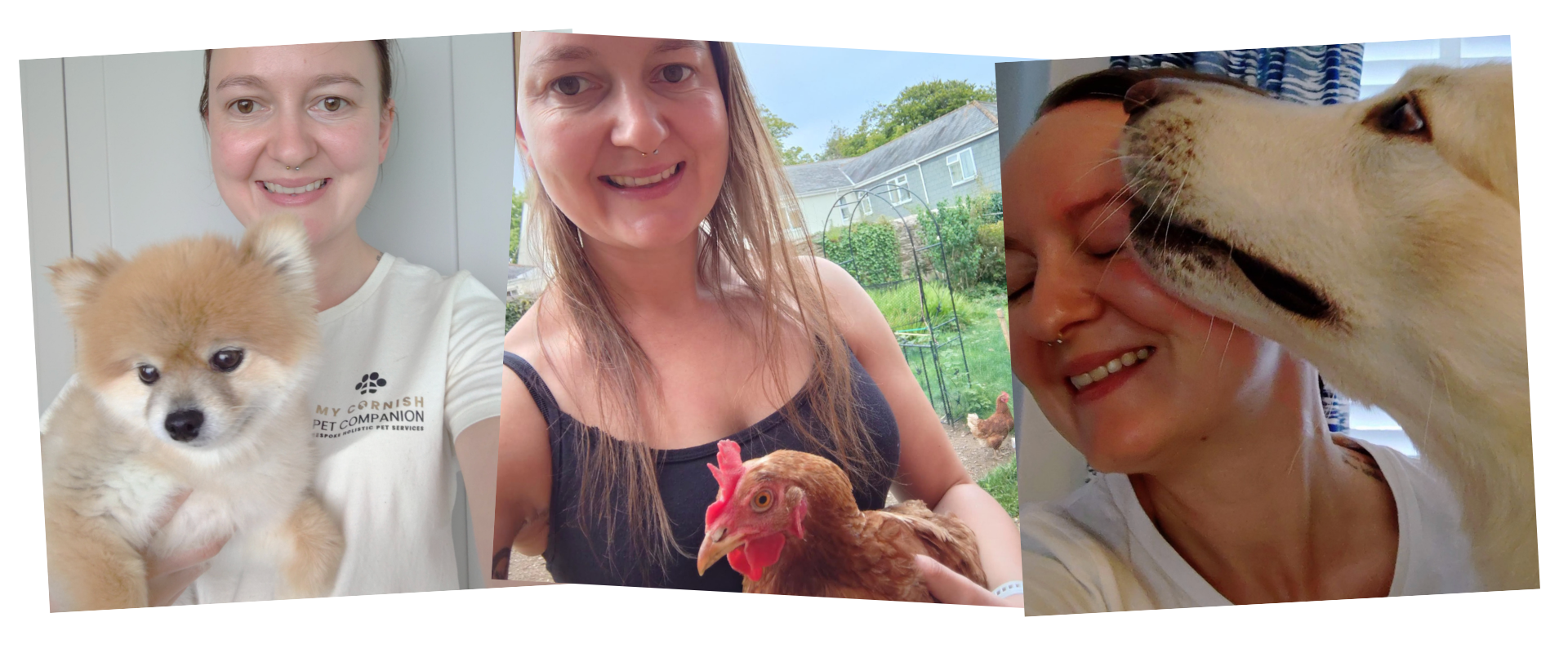 Pet Sitting Services in Saltash. Pet Sitting Services in Cornwall. Pet Sitting Services in Devon. Pet Sitting Services in Devon & Cornwall
