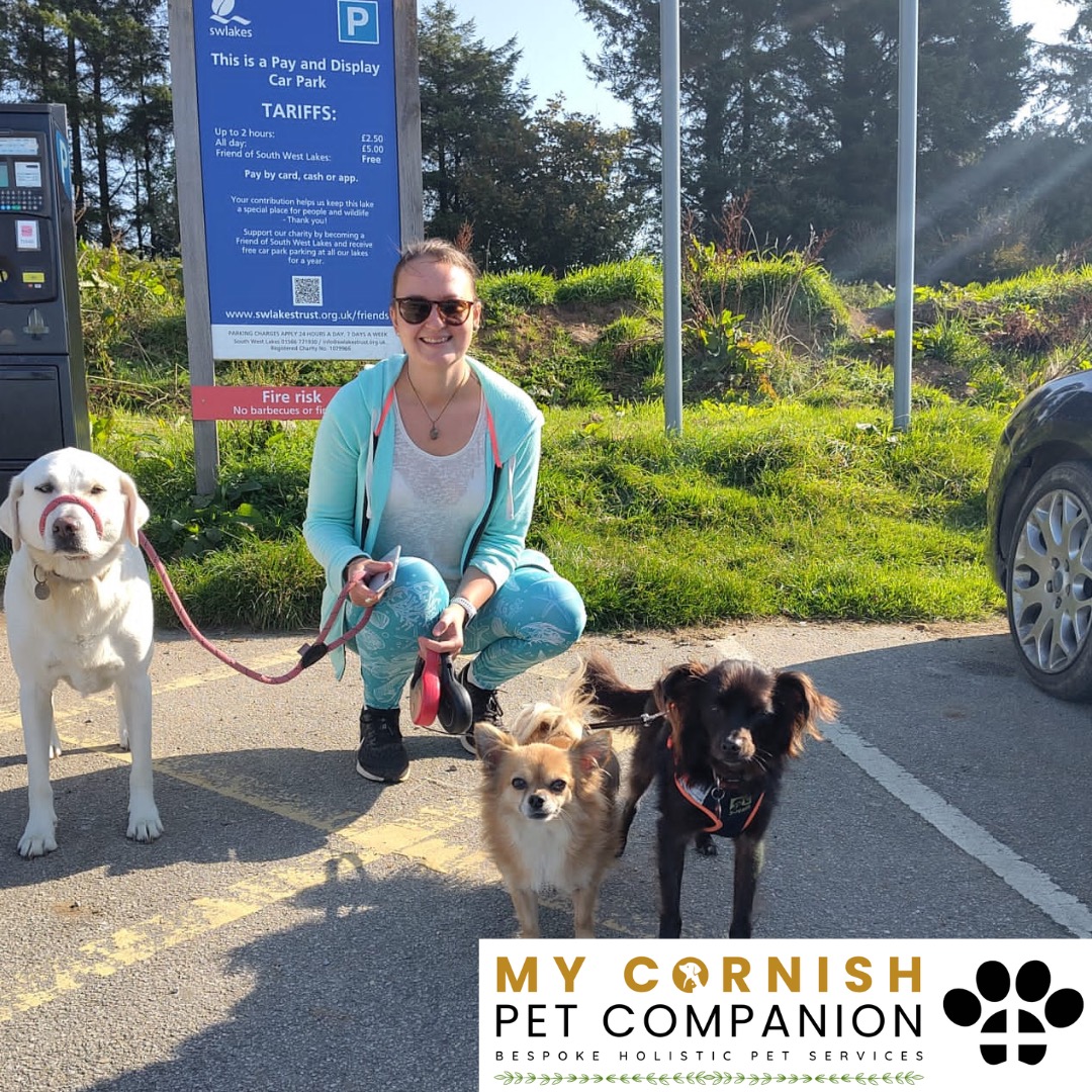Trusted Pet Sitting Services in Saltash, Cornwall and Devon Looking for reliable, caring and professional pet sitting services in Saltash, Cornwall and Devon? Jess at My Cornish Pet Companion provides high-quality, personalised pet care designed to keep your furry friends happy, safe and comfortable in their own home while you're away. Jess offers flexible and dependable services tailored to your pet’s individual needs. Based in Saltash, Jess proudly serves pet owners across Cornwall and Devon, delivering peace of mind while you’re at work, away on holiday or managing a busy schedule. My experienced and compassionate approach ensures your pets receive all the attention, exercise and companionship they deserve, reducing stress and maintaining their normal routine. At My Cornish Pet Companion, I care for a wide range of animals, including dogs, cats, small pets, smallholding animals and more. From feeding and walking to administering medication and providing companionship, every stay with your pets is carried out with professionalism, trust and genuine love for animals. Choose My Cornish Pet Companion for dependable pet sitting in Saltash, Cornwall and Devon, where your pets are treated like family.
