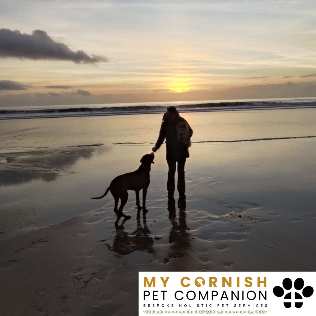 Trusted Pet Sitting Services in Saltash, Cornwall and Devon Looking for reliable, caring and professional pet sitting services in Saltash, Cornwall and Devon? Jess at My Cornish Pet Companion provides high-quality, personalised pet care designed to keep your furry friends happy, safe and comfortable in their own home while you're away. Jess offers flexible and dependable services tailored to your pet’s individual needs. Based in Saltash, Jess proudly serves pet owners across Cornwall and Devon, delivering peace of mind while you’re at work, away on holiday or managing a busy schedule. My experienced and compassionate approach ensures your pets receive all the attention, exercise and companionship they deserve, reducing stress and maintaining their normal routine. At My Cornish Pet Companion, I care for a wide range of animals, including dogs, cats, small pets, smallholding animals and more. From feeding and walking to administering medication and providing companionship, every stay with your pets is carried out with professionalism, trust and genuine love for animals. Choose My Cornish Pet Companion for dependable pet sitting in Saltash, Cornwall and Devon, where your pets are treated like family.