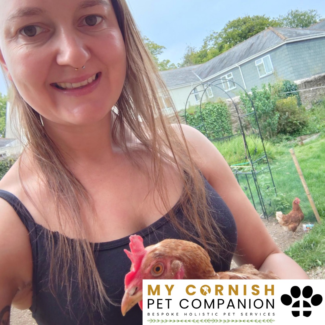 Trusted Pet Sitting Services in Saltash, Cornwall and Devon Looking for reliable, caring and professional pet sitting services in Saltash, Cornwall and Devon? Jess at My Cornish Pet Companion provides high-quality, personalised pet care designed to keep your furry friends happy, safe and comfortable in their own home while you're away. Jess offers flexible and dependable services tailored to your pet’s individual needs. Based in Saltash, Jess proudly serves pet owners across Cornwall and Devon, delivering peace of mind while you’re at work, away on holiday or managing a busy schedule. My experienced and compassionate approach ensures your pets receive all the attention, exercise and companionship they deserve, reducing stress and maintaining their normal routine. At My Cornish Pet Companion, I care for a wide range of animals, including dogs, cats, small pets, smallholding animals and more. From feeding and walking to administering medication and providing companionship, every stay with your pets is carried out with professionalism, trust and genuine love for animals. Choose My Cornish Pet Companion for dependable pet sitting in Saltash, Cornwall and Devon, where your pets are treated like family.