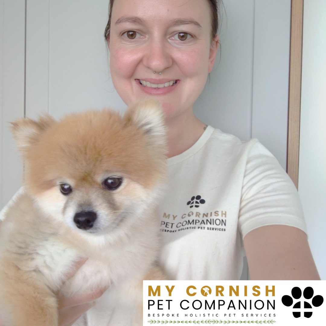 Trusted Pet Sitting Services in Saltash, Cornwall and Devon Looking for reliable, caring and professional pet sitting services in Saltash, Cornwall and Devon? Jess at My Cornish Pet Companion provides high-quality, personalised pet care designed to keep your furry friends happy, safe and comfortable in their own home while you're away. Jess offers flexible and dependable services tailored to your pet’s individual needs. Based in Saltash, Jess proudly serves pet owners across Cornwall and Devon, delivering peace of mind while you’re at work, away on holiday or managing a busy schedule. My experienced and compassionate approach ensures your pets receive all the attention, exercise and companionship they deserve, reducing stress and maintaining their normal routine. At My Cornish Pet Companion, I care for a wide range of animals, including dogs, cats, small pets, smallholding animals and more. From feeding and walking to administering medication and providing companionship, every stay with your pets is carried out with professionalism, trust and genuine love for animals. Choose My Cornish Pet Companion for dependable pet sitting in Saltash, Cornwall and Devon, where your pets are treated like family.