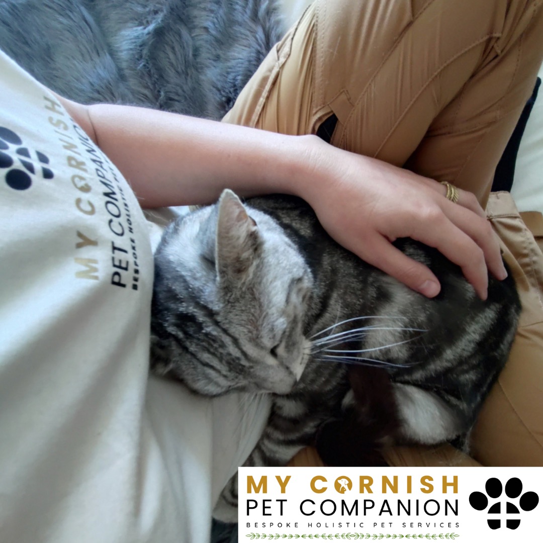 Trusted Pet Sitting Services in Saltash, Cornwall and Devon Looking for reliable, caring and professional pet sitting services in Saltash, Cornwall and Devon? Jess at My Cornish Pet Companion provides high-quality, personalised pet care designed to keep your furry friends happy, safe and comfortable in their own home while you're away. Jess offers flexible and dependable services tailored to your pet’s individual needs. Based in Saltash, Jess proudly serves pet owners across Cornwall and Devon, delivering peace of mind while you’re at work, away on holiday or managing a busy schedule. My experienced and compassionate approach ensures your pets receive all the attention, exercise and companionship they deserve, reducing stress and maintaining their normal routine. At My Cornish Pet Companion, I care for a wide range of animals, including dogs, cats, small pets, smallholding animals and more. From feeding and walking to administering medication and providing companionship, every stay with your pets is carried out with professionalism, trust and genuine love for animals. Choose My Cornish Pet Companion for dependable pet sitting in Saltash, Cornwall and Devon, where your pets are treated like family.
