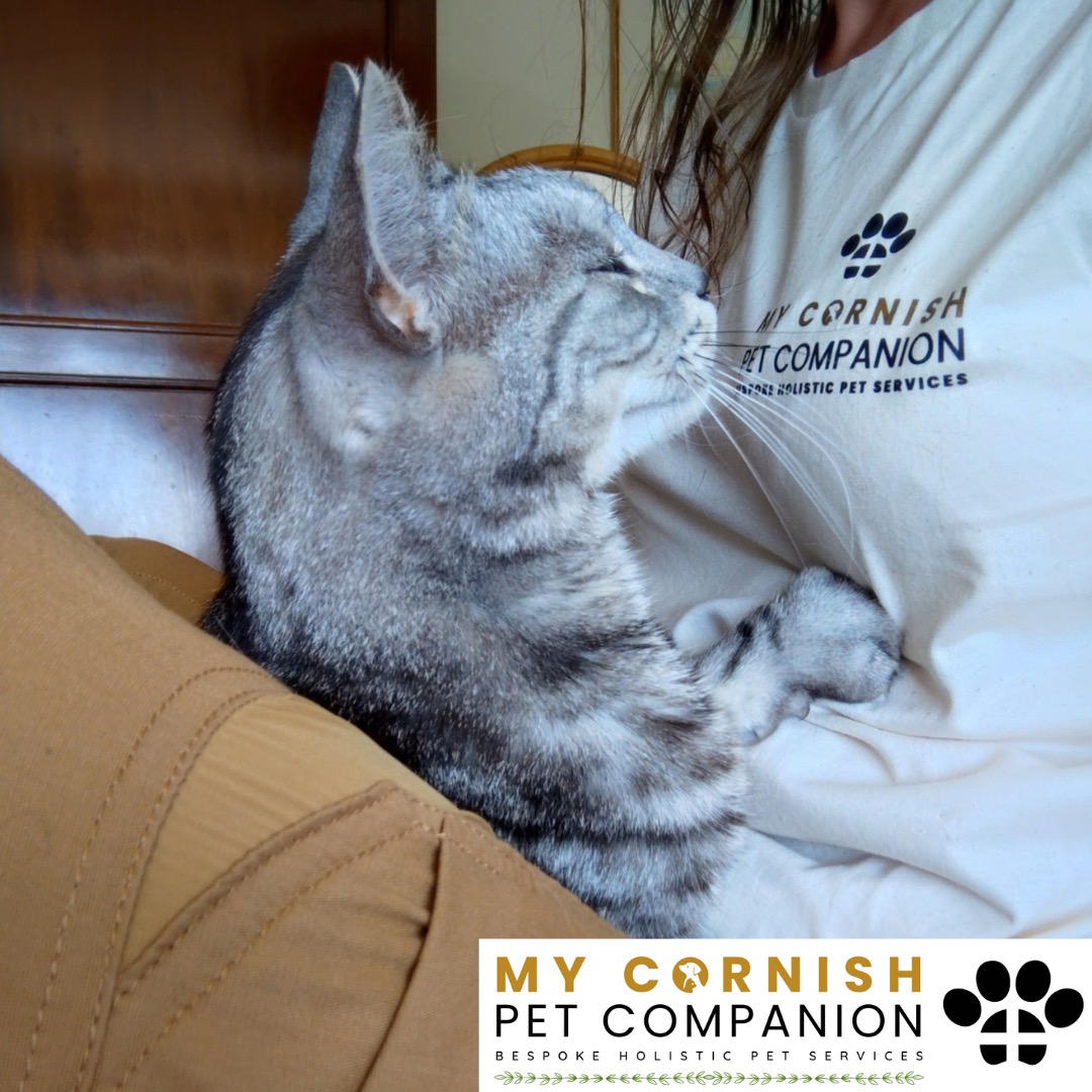 Trusted Pet Sitting Services in Saltash, Cornwall and Devon Looking for reliable, caring and professional pet sitting services in Saltash, Cornwall and Devon? Jess at My Cornish Pet Companion provides high-quality, personalised pet care designed to keep your furry friends happy, safe and comfortable in their own home while you're away. Jess offers flexible and dependable services tailored to your pet’s individual needs. Based in Saltash, Jess proudly serves pet owners across Cornwall and Devon, delivering peace of mind while you’re at work, away on holiday or managing a busy schedule. My experienced and compassionate approach ensures your pets receive all the attention, exercise and companionship they deserve, reducing stress and maintaining their normal routine. At My Cornish Pet Companion, I care for a wide range of animals, including dogs, cats, small pets, smallholding animals and more. From feeding and walking to administering medication and providing companionship, every stay with your pets is carried out with professionalism, trust and genuine love for animals. Choose My Cornish Pet Companion for dependable pet sitting in Saltash, Cornwall and Devon, where your pets are treated like family.