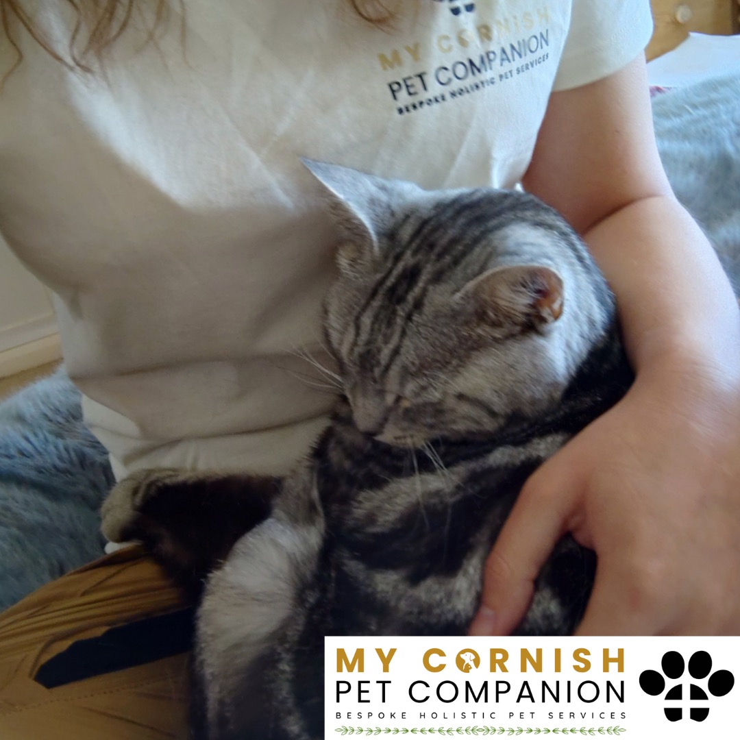 Trusted Pet Sitting Services in Saltash, Cornwall and Devon Looking for reliable, caring and professional pet sitting services in Saltash, Cornwall and Devon? Jess at My Cornish Pet Companion provides high-quality, personalised pet care designed to keep your furry friends happy, safe and comfortable in their own home while you're away. Jess offers flexible and dependable services tailored to your pet’s individual needs. Based in Saltash, Jess proudly serves pet owners across Cornwall and Devon, delivering peace of mind while you’re at work, away on holiday or managing a busy schedule. My experienced and compassionate approach ensures your pets receive all the attention, exercise and companionship they deserve, reducing stress and maintaining their normal routine. At My Cornish Pet Companion, I care for a wide range of animals, including dogs, cats, small pets, smallholding animals and more. From feeding and walking to administering medication and providing companionship, every stay with your pets is carried out with professionalism, trust and genuine love for animals. Choose My Cornish Pet Companion for dependable pet sitting in Saltash, Cornwall and Devon, where your pets are treated like family.