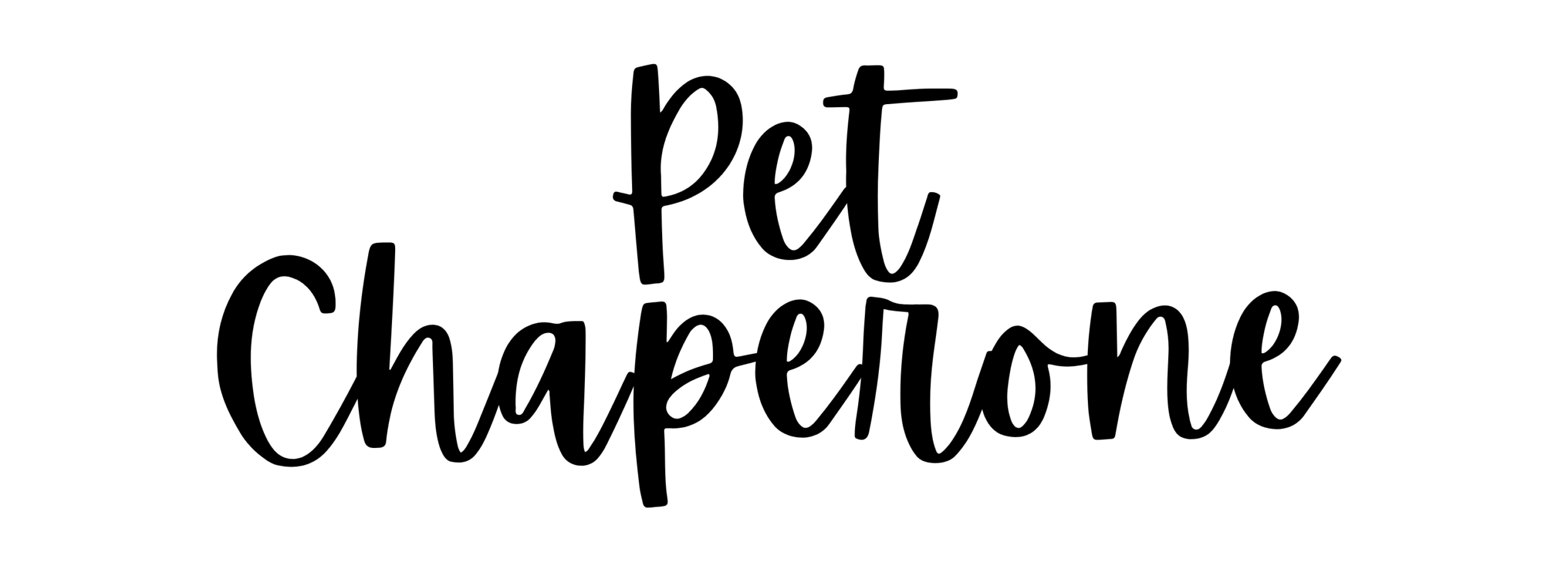 PET SITTING SERVICES IN CORNWALL. PET SITTING SERVICES IN SALTASH. PET SITTING SERVICES IN DEVON. PET SITTING SERVICES IN DEVON & CORNWALL. My Cornish Pet Companion offers trusted pet sitting services and personalised pet care services in Saltash, as well as expert pet sitting services and pet care services across Devon, and Devon and Cornwall. Whether you're looking for a reliable pet sitter in Saltash or need a dedicated pet sitter in Devon and Cornwall, we’ve got you covered. We also provide professional pet chaperone services, including wedding pet chaperone, special event pet chaperone, and life event pet chaperone services throughout Saltash and the whole Devon and Cornwall region — helping your pets be part of your most meaningful moments with love and care.