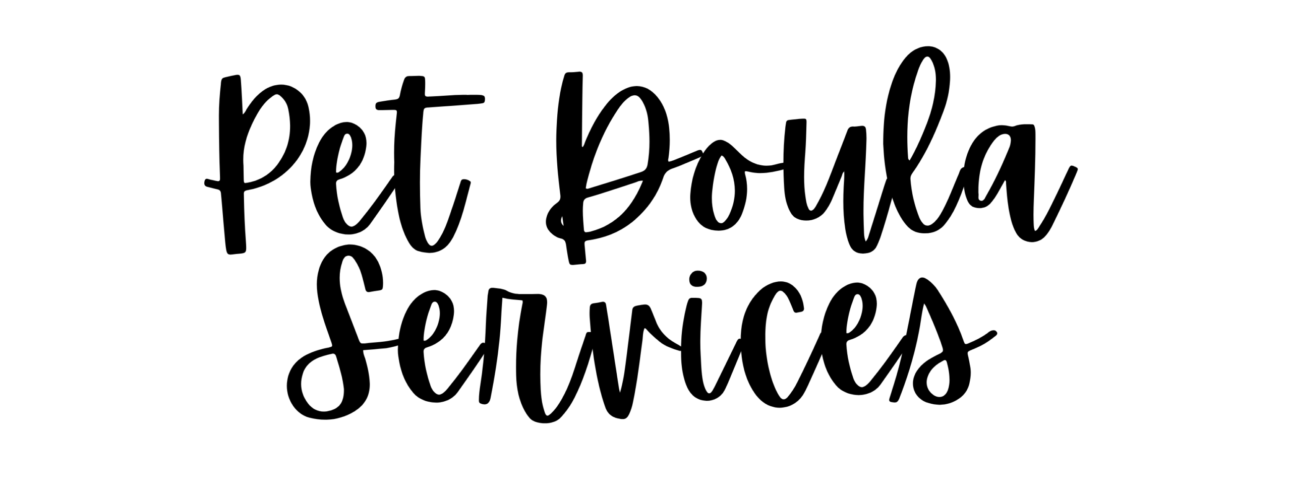 PET SITTING SERVICES IN CORNWALL. PET SITTING SERVICES IN SALTASH. PET SITTING SERVICES IN DEVON. PET SITTING SERVICES IN DEVON & CORNWALL. My Cornish Pet Companion offers trusted pet sitting services and personalised pet care services in Saltash, as well as expert pet sitting services and pet care services across Devon, and Devon and Cornwall. Whether you're looking for a reliable pet sitter in Saltash or need a dedicated pet sitter in Devon and Cornwall, we’ve got you covered. We also provide professional pet chaperone services, including wedding pet chaperone, special event pet chaperone, and life event pet chaperone services throughout Saltash and the whole Devon and Cornwall region — helping your pets be part of your most meaningful moments with love and care.