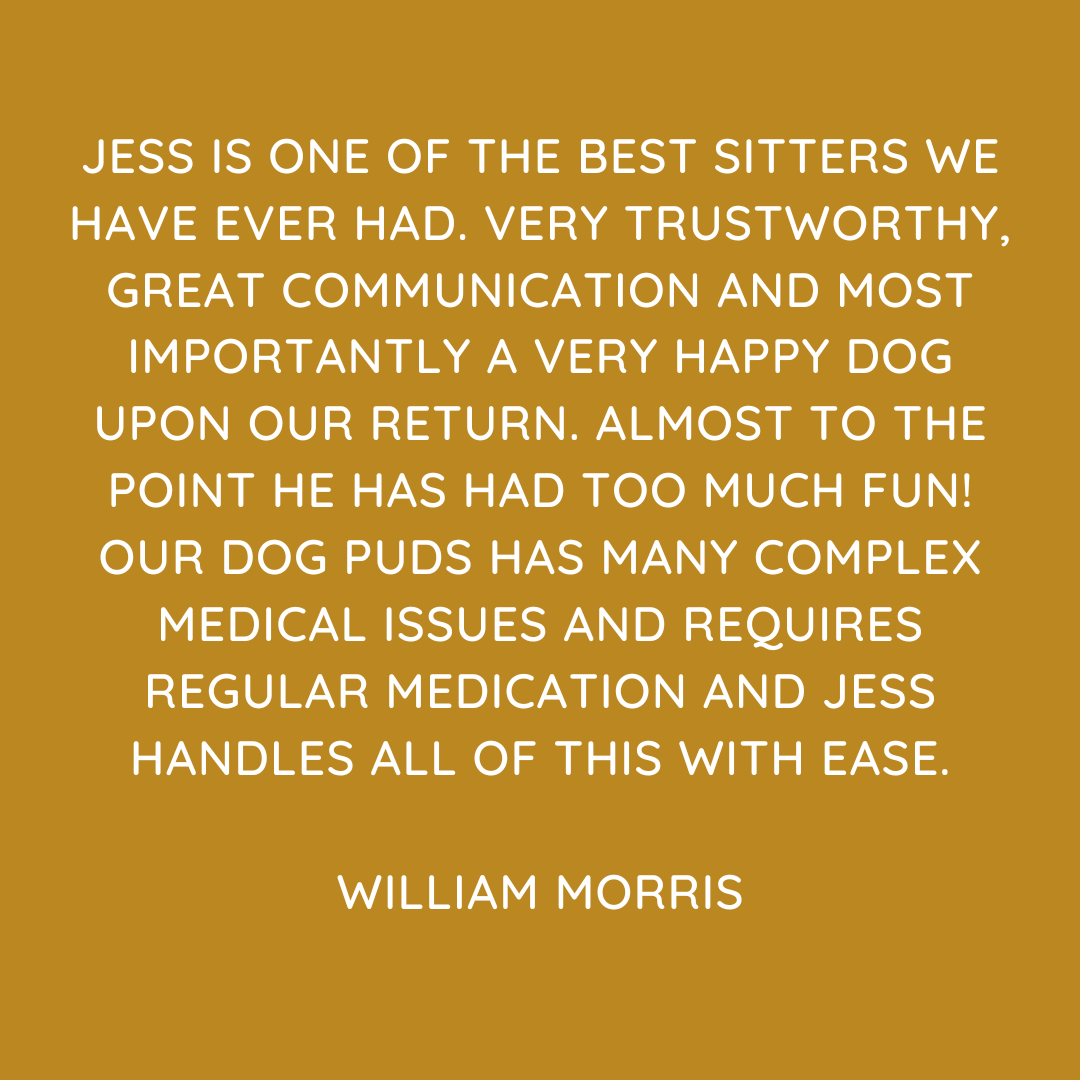 Pet Sitting Services in Saltash. Pet Sitting Services in Cornwall. Pet Sitting Services in Devon. Looking for reliable, caring and professional pet sitting services in Saltash, Pet sitting services in Cornwall and Pet sitting services in Devon? Jess at My Cornish Pet Companion provides high-quality, personalised pet care designed to keep your furry friends happy, safe and comfortable in their own home while you're away. Jess offers flexible and dependable services tailored to your pet’s individual needs. Based in Saltash, Jess proudly serves pet owners across Cornwall and Devon, delivering peace of mind while you’re at work, away on holiday or managing a busy schedule. My experienced and compassionate approach ensures your pets receive all the attention, exercise and companionship they deserve, reducing stress and maintaining their normal routine. At My Cornish Pet Companion, I care for a wide range of animals, including dogs, cats, small pets, smallholding animals and more. From feeding and walking to administering medication and providing companionship, every stay with your pets is carried out with professionalism, trust and genuine love for animals. Choose My Cornish Pet Companion for dependable pet sitting in Saltash, Cornwall and Devon, where your pets are treated like family. My Cornish Pet Companion also offers pet chaperone services for weddings, farwells and special events. As well as supportive pet doula services for every life stage.