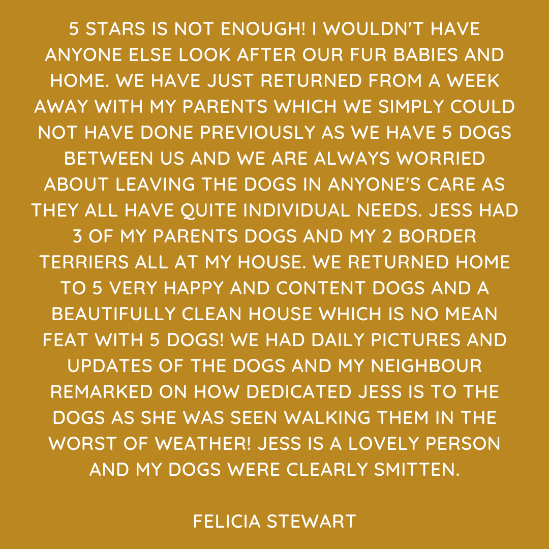 Pet Sitting Services in Saltash. Pet Sitting Services in Cornwall. Pet Sitting Services in Devon. Looking for reliable, caring and professional pet sitting services in Saltash, Pet sitting services in Cornwall and Pet sitting services in Devon? Jess at My Cornish Pet Companion provides high-quality, personalised pet care designed to keep your furry friends happy, safe and comfortable in their own home while you're away. Jess offers flexible and dependable services tailored to your pet’s individual needs. Based in Saltash, Jess proudly serves pet owners across Cornwall and Devon, delivering peace of mind while you’re at work, away on holiday or managing a busy schedule. My experienced and compassionate approach ensures your pets receive all the attention, exercise and companionship they deserve, reducing stress and maintaining their normal routine. At My Cornish Pet Companion, I care for a wide range of animals, including dogs, cats, small pets, smallholding animals and more. From feeding and walking to administering medication and providing companionship, every stay with your pets is carried out with professionalism, trust and genuine love for animals. Choose My Cornish Pet Companion for dependable pet sitting in Saltash, Cornwall and Devon, where your pets are treated like family. My Cornish Pet Companion also offers pet chaperone services for weddings, farwells and special events. As well as supportive pet doula services for every life stage.