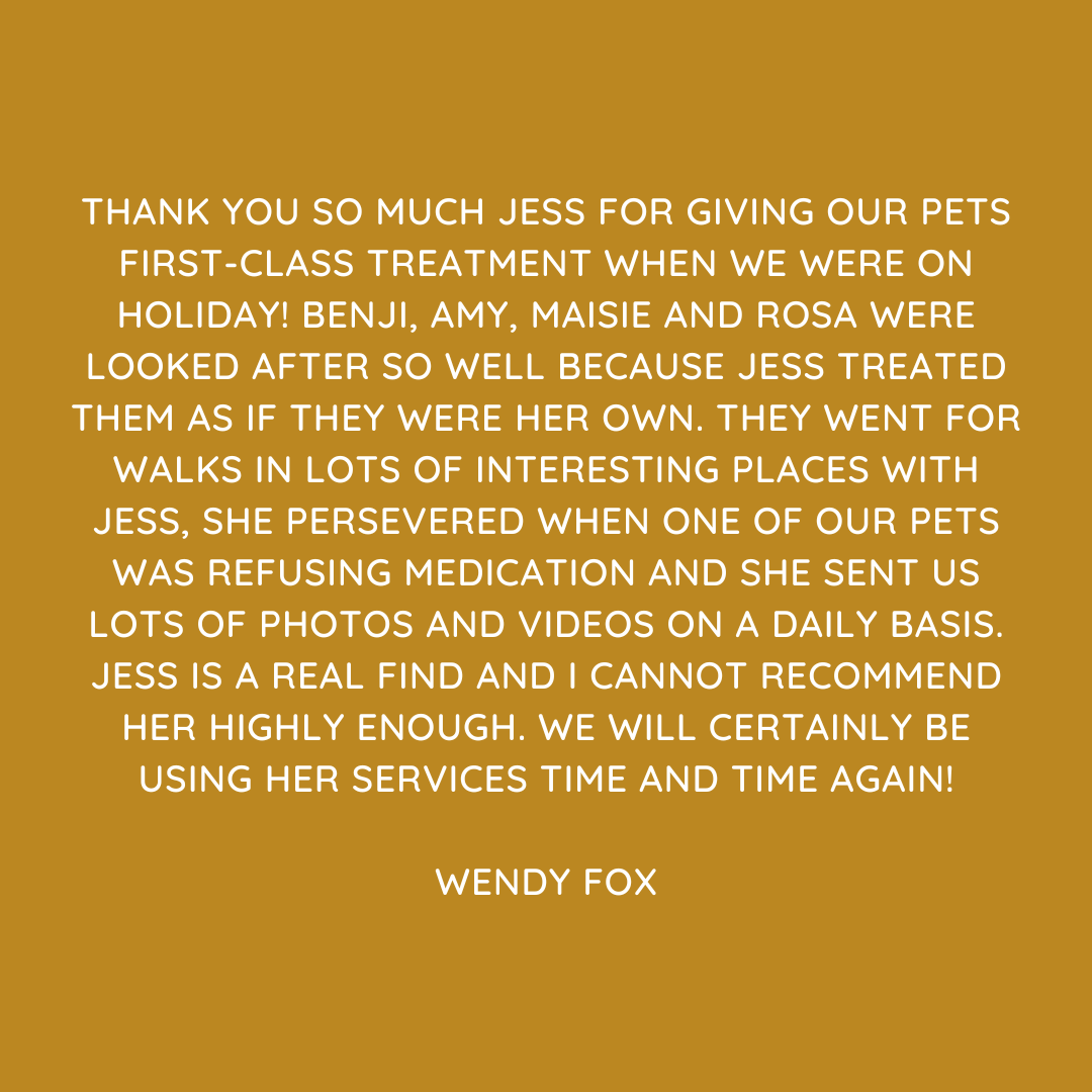 Pet Sitting Services in Saltash. Pet Sitting Services in Cornwall. Pet Sitting Services in Devon. Looking for reliable, caring and professional pet sitting services in Saltash, Pet sitting services in Cornwall and Pet sitting services in Devon? Jess at My Cornish Pet Companion provides high-quality, personalised pet care designed to keep your furry friends happy, safe and comfortable in their own home while you're away. Jess offers flexible and dependable services tailored to your pet’s individual needs. Based in Saltash, Jess proudly serves pet owners across Cornwall and Devon, delivering peace of mind while you’re at work, away on holiday or managing a busy schedule. My experienced and compassionate approach ensures your pets receive all the attention, exercise and companionship they deserve, reducing stress and maintaining their normal routine. At My Cornish Pet Companion, I care for a wide range of animals, including dogs, cats, small pets, smallholding animals and more. From feeding and walking to administering medication and providing companionship, every stay with your pets is carried out with professionalism, trust and genuine love for animals. Choose My Cornish Pet Companion for dependable pet sitting in Saltash, Cornwall and Devon, where your pets are treated like family. My Cornish Pet Companion also offers pet chaperone services for weddings, farwells and special events. As well as supportive pet doula services for every life stage.
