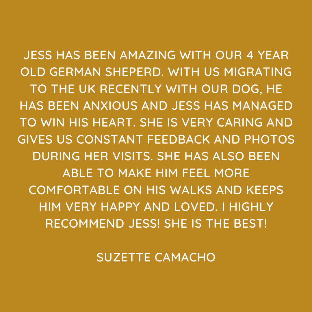 Pet Sitting Services in Saltash. Pet Sitting Services in Cornwall. Pet Sitting Services in Devon. Looking for reliable, caring and professional pet sitting services in Saltash, Pet sitting services in Cornwall and Pet sitting services in Devon? Jess at My Cornish Pet Companion provides high-quality, personalised pet care designed to keep your furry friends happy, safe and comfortable in their own home while you're away. Jess offers flexible and dependable services tailored to your pet’s individual needs. Based in Saltash, Jess proudly serves pet owners across Cornwall and Devon, delivering peace of mind while you’re at work, away on holiday or managing a busy schedule. My experienced and compassionate approach ensures your pets receive all the attention, exercise and companionship they deserve, reducing stress and maintaining their normal routine. At My Cornish Pet Companion, I care for a wide range of animals, including dogs, cats, small pets, smallholding animals and more. From feeding and walking to administering medication and providing companionship, every stay with your pets is carried out with professionalism, trust and genuine love for animals. Choose My Cornish Pet Companion for dependable pet sitting in Saltash, Cornwall and Devon, where your pets are treated like family. My Cornish Pet Companion also offers pet chaperone services for weddings, farwells and special events. As well as supportive pet doula services for every life stage.