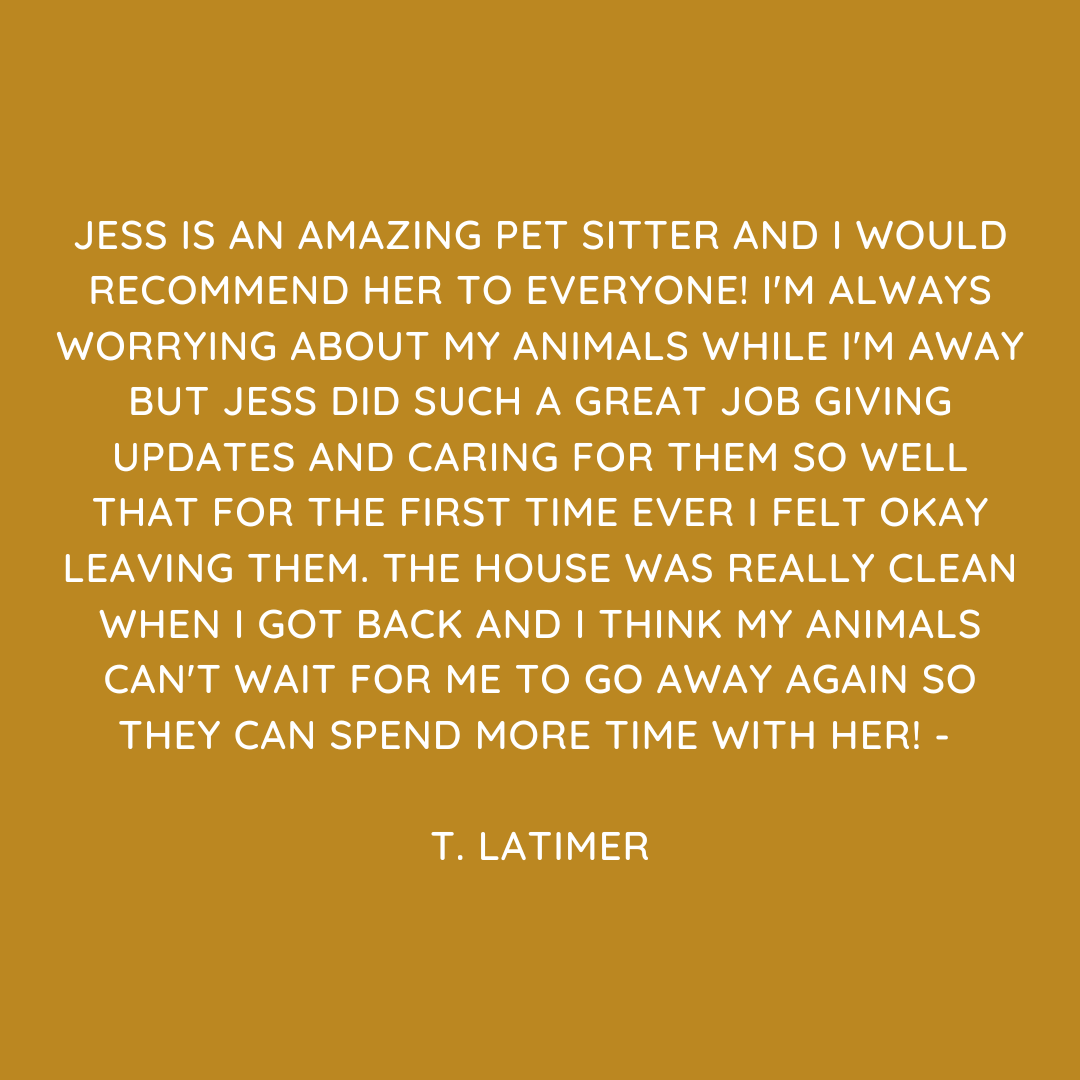 Pet Sitting Services in Saltash. Pet Sitting Services in Cornwall. Pet Sitting Services in Devon. Looking for reliable, caring and professional pet sitting services in Saltash, Pet sitting services in Cornwall and Pet sitting services in Devon? Jess at My Cornish Pet Companion provides high-quality, personalised pet care designed to keep your furry friends happy, safe and comfortable in their own home while you're away. Jess offers flexible and dependable services tailored to your pet’s individual needs. Based in Saltash, Jess proudly serves pet owners across Cornwall and Devon, delivering peace of mind while you’re at work, away on holiday or managing a busy schedule. My experienced and compassionate approach ensures your pets receive all the attention, exercise and companionship they deserve, reducing stress and maintaining their normal routine. At My Cornish Pet Companion, I care for a wide range of animals, including dogs, cats, small pets, smallholding animals and more. From feeding and walking to administering medication and providing companionship, every stay with your pets is carried out with professionalism, trust and genuine love for animals. Choose My Cornish Pet Companion for dependable pet sitting in Saltash, Cornwall and Devon, where your pets are treated like family. My Cornish Pet Companion also offers pet chaperone services for weddings, farwells and special events. As well as supportive pet doula services for every life stage.