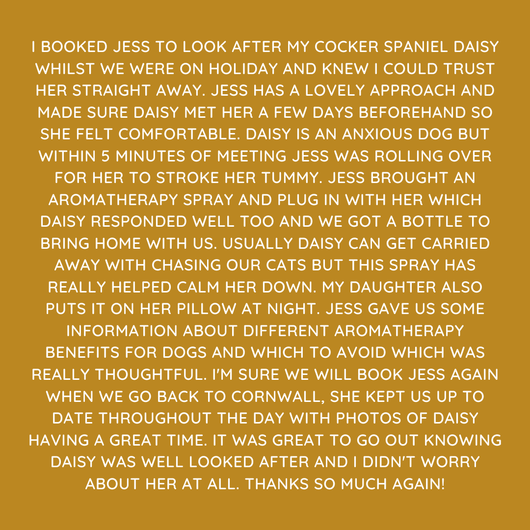 Pet Sitting Services in Saltash. Pet Sitting Services in Cornwall. Pet Sitting Services in Devon. Looking for reliable, caring and professional pet sitting services in Saltash, Pet sitting services in Cornwall and Pet sitting services in Devon? Jess at My Cornish Pet Companion provides high-quality, personalised pet care designed to keep your furry friends happy, safe and comfortable in their own home while you're away. Jess offers flexible and dependable services tailored to your pet’s individual needs. Based in Saltash, Jess proudly serves pet owners across Cornwall and Devon, delivering peace of mind while you’re at work, away on holiday or managing a busy schedule. My experienced and compassionate approach ensures your pets receive all the attention, exercise and companionship they deserve, reducing stress and maintaining their normal routine. At My Cornish Pet Companion, I care for a wide range of animals, including dogs, cats, small pets, smallholding animals and more. From feeding and walking to administering medication and providing companionship, every stay with your pets is carried out with professionalism, trust and genuine love for animals. Choose My Cornish Pet Companion for dependable pet sitting in Saltash, Cornwall and Devon, where your pets are treated like family. My Cornish Pet Companion also offers pet chaperone services for weddings, farwells and special events. As well as supportive pet doula services for every life stage.
