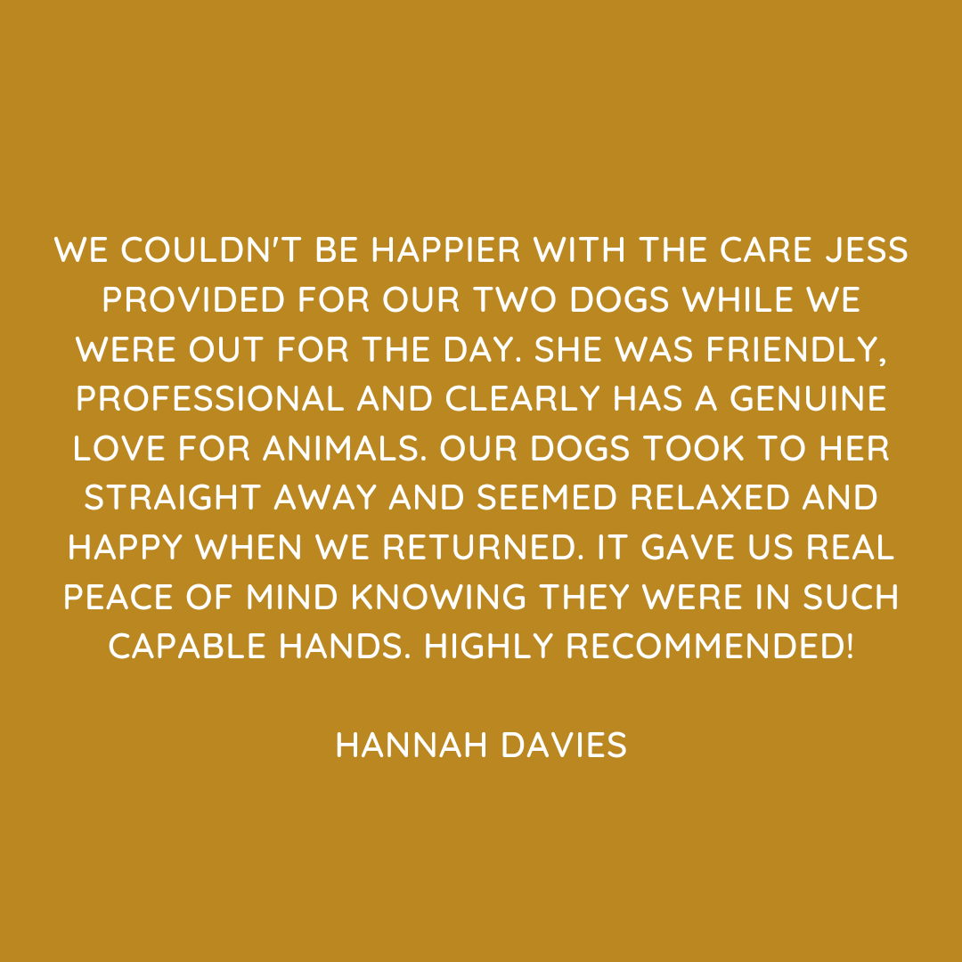 Pet Sitting Services in Saltash. Pet Sitting Services in Cornwall. Pet Sitting Services in Devon. Looking for reliable, caring and professional pet sitting services in Saltash, Pet sitting services in Cornwall and Pet sitting services in Devon? Jess at My Cornish Pet Companion provides high-quality, personalised pet care designed to keep your furry friends happy, safe and comfortable in their own home while you're away. Jess offers flexible and dependable services tailored to your pet’s individual needs. Based in Saltash, Jess proudly serves pet owners across Cornwall and Devon, delivering peace of mind while you’re at work, away on holiday or managing a busy schedule. My experienced and compassionate approach ensures your pets receive all the attention, exercise and companionship they deserve, reducing stress and maintaining their normal routine. At My Cornish Pet Companion, I care for a wide range of animals, including dogs, cats, small pets, smallholding animals and more. From feeding and walking to administering medication and providing companionship, every stay with your pets is carried out with professionalism, trust and genuine love for animals. Choose My Cornish Pet Companion for dependable pet sitting in Saltash, Cornwall and Devon, where your pets are treated like family. My Cornish Pet Companion also offers pet chaperone services for weddings, farwells and special events. As well as supportive pet doula services for every life stage.
