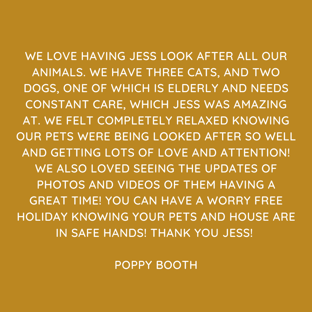 Pet Sitting Services in Saltash. Pet Sitting Services in Cornwall. Pet Sitting Services in Devon. Looking for reliable, caring and professional pet sitting services in Saltash, Pet sitting services in Cornwall and Pet sitting services in Devon? Jess at My Cornish Pet Companion provides high-quality, personalised pet care designed to keep your furry friends happy, safe and comfortable in their own home while you're away. Jess offers flexible and dependable services tailored to your pet’s individual needs. Based in Saltash, Jess proudly serves pet owners across Cornwall and Devon, delivering peace of mind while you’re at work, away on holiday or managing a busy schedule. My experienced and compassionate approach ensures your pets receive all the attention, exercise and companionship they deserve, reducing stress and maintaining their normal routine. At My Cornish Pet Companion, I care for a wide range of animals, including dogs, cats, small pets, smallholding animals and more. From feeding and walking to administering medication and providing companionship, every stay with your pets is carried out with professionalism, trust and genuine love for animals. Choose My Cornish Pet Companion for dependable pet sitting in Saltash, Cornwall and Devon, where your pets are treated like family. My Cornish Pet Companion also offers pet chaperone services for weddings, farwells and special events. As well as supportive pet doula services for every life stage.