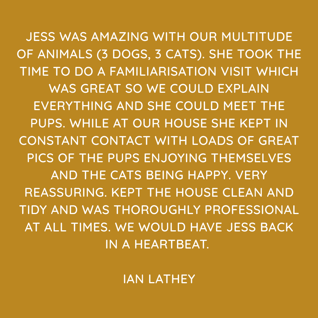 Pet Sitting Services in Saltash. Pet Sitting Services in Cornwall. Pet Sitting Services in Devon. Looking for reliable, caring and professional pet sitting services in Saltash, Pet sitting services in Cornwall and Pet sitting services in Devon? Jess at My Cornish Pet Companion provides high-quality, personalised pet care designed to keep your furry friends happy, safe and comfortable in their own home while you're away. Jess offers flexible and dependable services tailored to your pet’s individual needs. Based in Saltash, Jess proudly serves pet owners across Cornwall and Devon, delivering peace of mind while you’re at work, away on holiday or managing a busy schedule. My experienced and compassionate approach ensures your pets receive all the attention, exercise and companionship they deserve, reducing stress and maintaining their normal routine. At My Cornish Pet Companion, I care for a wide range of animals, including dogs, cats, small pets, smallholding animals and more. From feeding and walking to administering medication and providing companionship, every stay with your pets is carried out with professionalism, trust and genuine love for animals. Choose My Cornish Pet Companion for dependable pet sitting in Saltash, Cornwall and Devon, where your pets are treated like family. My Cornish Pet Companion also offers pet chaperone services for weddings, farwells and special events. As well as supportive pet doula services for every life stage.