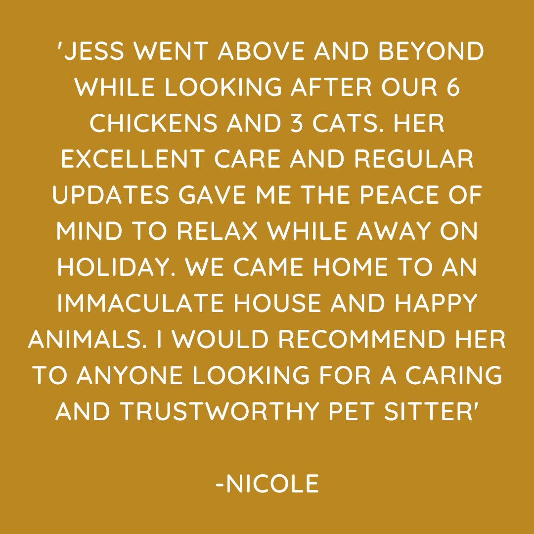 Pet Sitting Services in Saltash. Pet Sitting Services in Cornwall. Pet Sitting Services in Devon. Looking for reliable, caring and professional pet sitting services in Saltash, Pet sitting services in Cornwall and Pet sitting services in Devon? Jess at My Cornish Pet Companion provides high-quality, personalised pet care designed to keep your furry friends happy, safe and comfortable in their own home while you're away. Jess offers flexible and dependable services tailored to your pet’s individual needs. Based in Saltash, Jess proudly serves pet owners across Cornwall and Devon, delivering peace of mind while you’re at work, away on holiday or managing a busy schedule. My experienced and compassionate approach ensures your pets receive all the attention, exercise and companionship they deserve, reducing stress and maintaining their normal routine. At My Cornish Pet Companion, I care for a wide range of animals, including dogs, cats, small pets, smallholding animals and more. From feeding and walking to administering medication and providing companionship, every stay with your pets is carried out with professionalism, trust and genuine love for animals. Choose My Cornish Pet Companion for dependable pet sitting in Saltash, Cornwall and Devon, where your pets are treated like family. My Cornish Pet Companion also offers pet chaperone services for weddings, farwells and special events. As well as supportive pet doula services for every life stage.