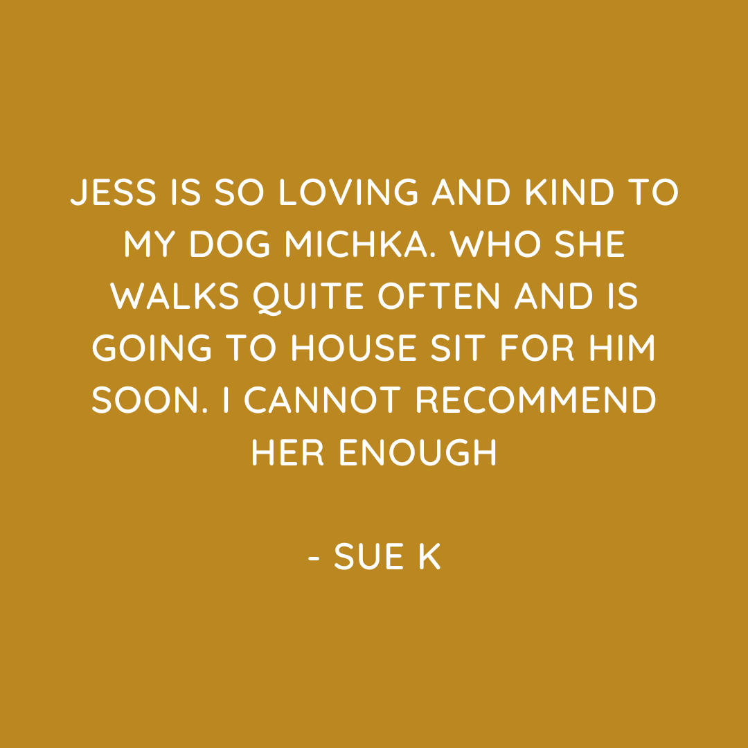 Pet Sitting Services in Saltash. Pet Sitting Services in Cornwall. Pet Sitting Services in Devon. Looking for reliable, caring and professional pet sitting services in Saltash, Pet sitting services in Cornwall and Pet sitting services in Devon? Jess at My Cornish Pet Companion provides high-quality, personalised pet care designed to keep your furry friends happy, safe and comfortable in their own home while you're away. Jess offers flexible and dependable services tailored to your pet’s individual needs. Based in Saltash, Jess proudly serves pet owners across Cornwall and Devon, delivering peace of mind while you’re at work, away on holiday or managing a busy schedule. My experienced and compassionate approach ensures your pets receive all the attention, exercise and companionship they deserve, reducing stress and maintaining their normal routine. At My Cornish Pet Companion, I care for a wide range of animals, including dogs, cats, small pets, smallholding animals and more. From feeding and walking to administering medication and providing companionship, every stay with your pets is carried out with professionalism, trust and genuine love for animals. Choose My Cornish Pet Companion for dependable pet sitting in Saltash, Cornwall and Devon, where your pets are treated like family. My Cornish Pet Companion also offers pet chaperone services for weddings, farwells and special events. As well as supportive pet doula services for every life stage.