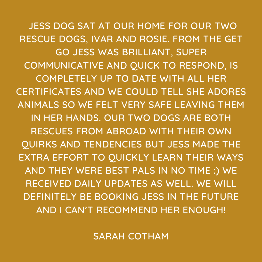 Pet Sitting Services in Saltash. Pet Sitting Services in Cornwall. Pet Sitting Services in Devon. Looking for reliable, caring and professional pet sitting services in Saltash, Pet sitting services in Cornwall and Pet sitting services in Devon? Jess at My Cornish Pet Companion provides high-quality, personalised pet care designed to keep your furry friends happy, safe and comfortable in their own home while you're away. Jess offers flexible and dependable services tailored to your pet’s individual needs. Based in Saltash, Jess proudly serves pet owners across Cornwall and Devon, delivering peace of mind while you’re at work, away on holiday or managing a busy schedule. My experienced and compassionate approach ensures your pets receive all the attention, exercise and companionship they deserve, reducing stress and maintaining their normal routine. At My Cornish Pet Companion, I care for a wide range of animals, including dogs, cats, small pets, smallholding animals and more. From feeding and walking to administering medication and providing companionship, every stay with your pets is carried out with professionalism, trust and genuine love for animals. Choose My Cornish Pet Companion for dependable pet sitting in Saltash, Cornwall and Devon, where your pets are treated like family. My Cornish Pet Companion also offers pet chaperone services for weddings, farwells and special events. As well as supportive pet doula services for every life stage.