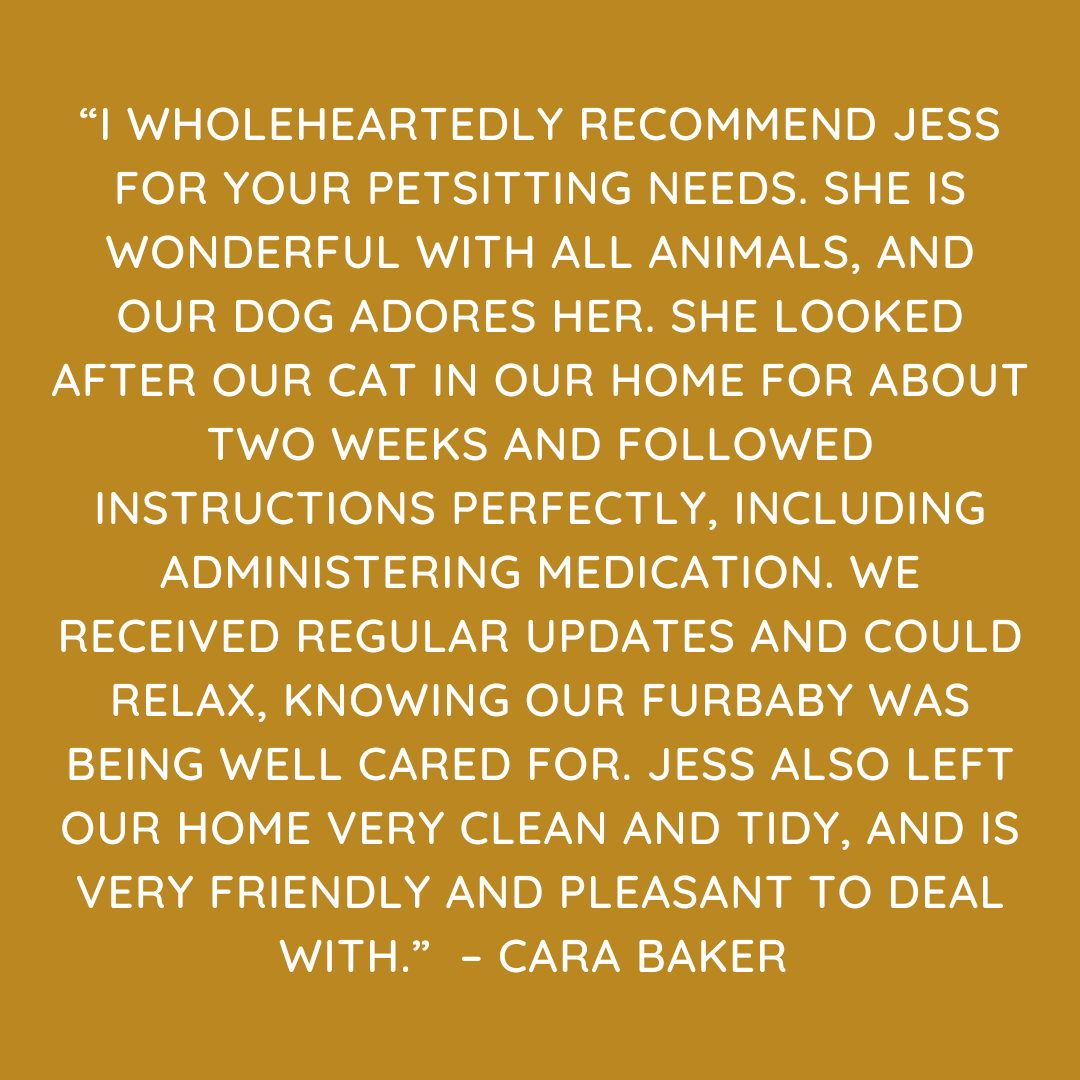 Pet Sitting Services in Saltash. Pet Sitting Services in Cornwall. Pet Sitting Services in Devon. Looking for reliable, caring and professional pet sitting services in Saltash, Pet sitting services in Cornwall and Pet sitting services in Devon? Jess at My Cornish Pet Companion provides high-quality, personalised pet care designed to keep your furry friends happy, safe and comfortable in their own home while you're away. Jess offers flexible and dependable services tailored to your pet’s individual needs. Based in Saltash, Jess proudly serves pet owners across Cornwall and Devon, delivering peace of mind while you’re at work, away on holiday or managing a busy schedule. My experienced and compassionate approach ensures your pets receive all the attention, exercise and companionship they deserve, reducing stress and maintaining their normal routine. At My Cornish Pet Companion, I care for a wide range of animals, including dogs, cats, small pets, smallholding animals and more. From feeding and walking to administering medication and providing companionship, every stay with your pets is carried out with professionalism, trust and genuine love for animals. Choose My Cornish Pet Companion for dependable pet sitting in Saltash, Cornwall and Devon, where your pets are treated like family. My Cornish Pet Companion also offers pet chaperone services for weddings, farwells and special events. As well as supportive pet doula services for every life stage.