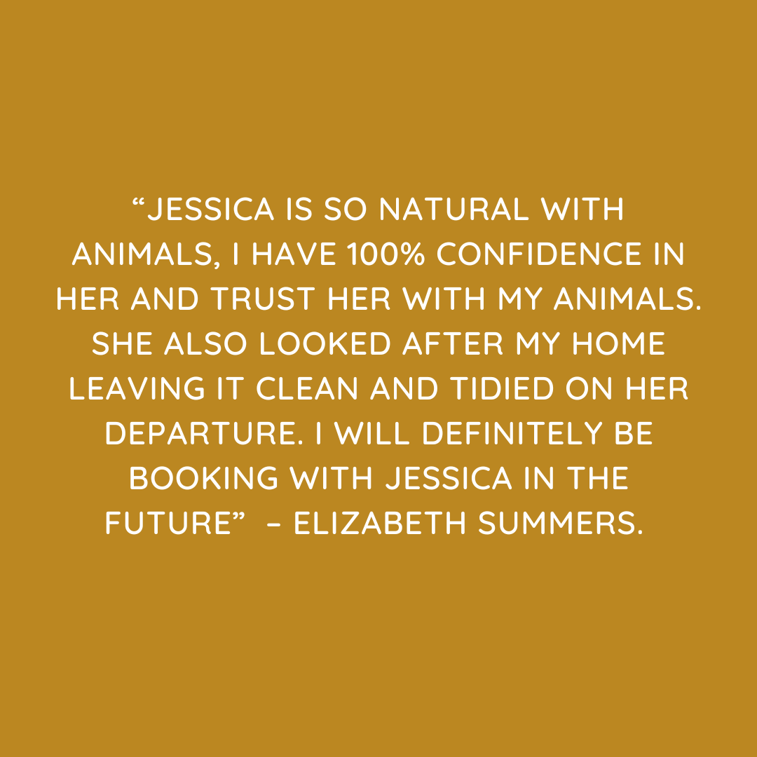 Pet Sitting Services in Saltash. Pet Sitting Services in Cornwall. Pet Sitting Services in Devon. Looking for reliable, caring and professional pet sitting services in Saltash, Pet sitting services in Cornwall and Pet sitting services in Devon? Jess at My Cornish Pet Companion provides high-quality, personalised pet care designed to keep your furry friends happy, safe and comfortable in their own home while you're away. Jess offers flexible and dependable services tailored to your pet’s individual needs. Based in Saltash, Jess proudly serves pet owners across Cornwall and Devon, delivering peace of mind while you’re at work, away on holiday or managing a busy schedule. My experienced and compassionate approach ensures your pets receive all the attention, exercise and companionship they deserve, reducing stress and maintaining their normal routine. At My Cornish Pet Companion, I care for a wide range of animals, including dogs, cats, small pets, smallholding animals and more. From feeding and walking to administering medication and providing companionship, every stay with your pets is carried out with professionalism, trust and genuine love for animals. Choose My Cornish Pet Companion for dependable pet sitting in Saltash, Cornwall and Devon, where your pets are treated like family. My Cornish Pet Companion also offers pet chaperone services for weddings, farwells and special events. As well as supportive pet doula services for every life stage.