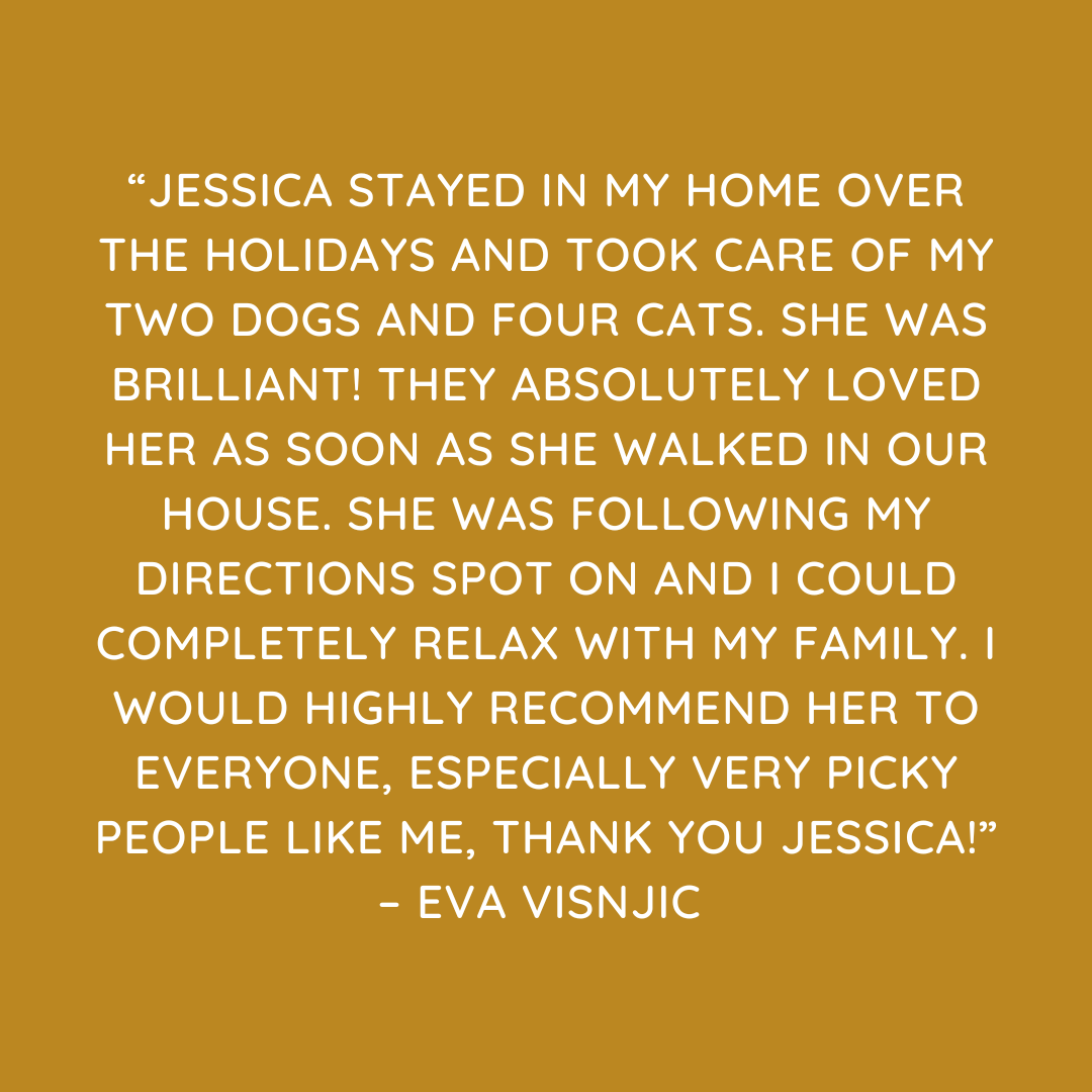 Pet Sitting Services in Saltash. Pet Sitting Services in Cornwall. Pet Sitting Services in Devon. Looking for reliable, caring and professional pet sitting services in Saltash, Pet sitting services in Cornwall and Pet sitting services in Devon? Jess at My Cornish Pet Companion provides high-quality, personalised pet care designed to keep your furry friends happy, safe and comfortable in their own home while you're away. Jess offers flexible and dependable services tailored to your pet’s individual needs. Based in Saltash, Jess proudly serves pet owners across Cornwall and Devon, delivering peace of mind while you’re at work, away on holiday or managing a busy schedule. My experienced and compassionate approach ensures your pets receive all the attention, exercise and companionship they deserve, reducing stress and maintaining their normal routine. At My Cornish Pet Companion, I care for a wide range of animals, including dogs, cats, small pets, smallholding animals and more. From feeding and walking to administering medication and providing companionship, every stay with your pets is carried out with professionalism, trust and genuine love for animals. Choose My Cornish Pet Companion for dependable pet sitting in Saltash, Cornwall and Devon, where your pets are treated like family. My Cornish Pet Companion also offers pet chaperone services for weddings, farwells and special events. As well as supportive pet doula services for every life stage.