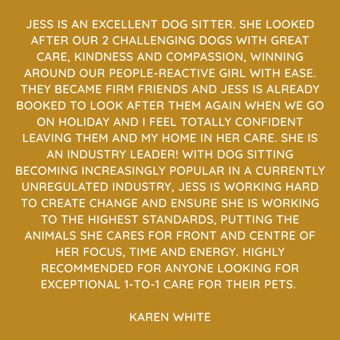 Pet Sitting Services in Saltash. Pet Sitting Services in Cornwall. Pet Sitting Services in Devon. Looking for reliable, caring and professional pet sitting services in Saltash, Pet sitting services in Cornwall and Pet sitting services in Devon? Jess at My Cornish Pet Companion provides high-quality, personalised pet care designed to keep your furry friends happy, safe and comfortable in their own home while you're away. Jess offers flexible and dependable services tailored to your pet’s individual needs. Based in Saltash, Jess proudly serves pet owners across Cornwall and Devon, delivering peace of mind while you’re at work, away on holiday or managing a busy schedule. My experienced and compassionate approach ensures your pets receive all the attention, exercise and companionship they deserve, reducing stress and maintaining their normal routine. At My Cornish Pet Companion, I care for a wide range of animals, including dogs, cats, small pets, smallholding animals and more. From feeding and walking to administering medication and providing companionship, every stay with your pets is carried out with professionalism, trust and genuine love for animals. Choose My Cornish Pet Companion for dependable pet sitting in Saltash, Cornwall and Devon, where your pets are treated like family. My Cornish Pet Companion also offers pet chaperone services for weddings, farwells and special events. As well as supportive pet doula services for every life stage.