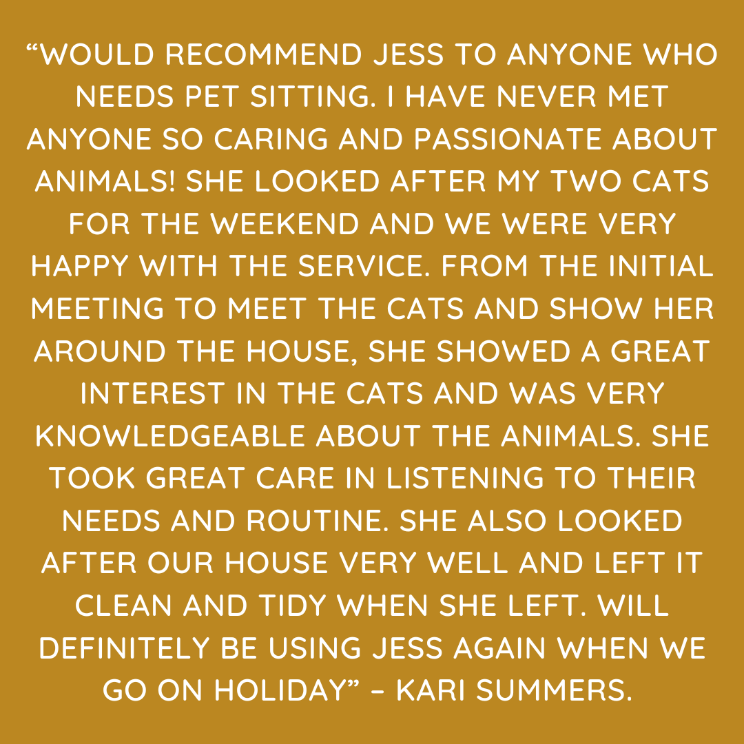 Pet Sitting Services in Saltash. Pet Sitting Services in Cornwall. Pet Sitting Services in Devon. Looking for reliable, caring and professional pet sitting services in Saltash, Pet sitting services in Cornwall and Pet sitting services in Devon? Jess at My Cornish Pet Companion provides high-quality, personalised pet care designed to keep your furry friends happy, safe and comfortable in their own home while you're away. Jess offers flexible and dependable services tailored to your pet’s individual needs. Based in Saltash, Jess proudly serves pet owners across Cornwall and Devon, delivering peace of mind while you’re at work, away on holiday or managing a busy schedule. My experienced and compassionate approach ensures your pets receive all the attention, exercise and companionship they deserve, reducing stress and maintaining their normal routine. At My Cornish Pet Companion, I care for a wide range of animals, including dogs, cats, small pets, smallholding animals and more. From feeding and walking to administering medication and providing companionship, every stay with your pets is carried out with professionalism, trust and genuine love for animals. Choose My Cornish Pet Companion for dependable pet sitting in Saltash, Cornwall and Devon, where your pets are treated like family. My Cornish Pet Companion also offers pet chaperone services for weddings, farwells and special events. As well as supportive pet doula services for every life stage.