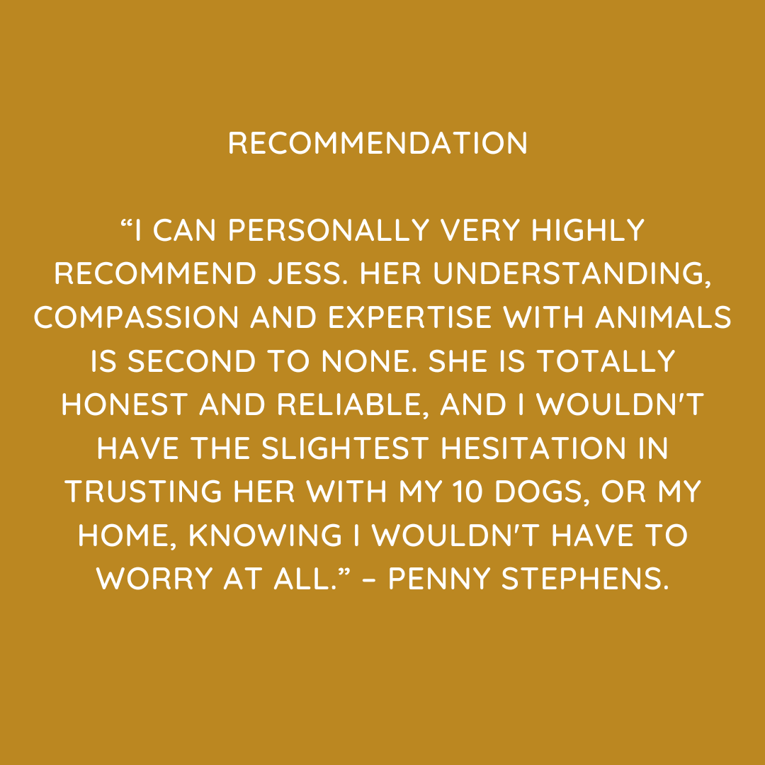 Pet Sitting Services in Saltash. Pet Sitting Services in Cornwall. Pet Sitting Services in Devon. Looking for reliable, caring and professional pet sitting services in Saltash, Pet sitting services in Cornwall and Pet sitting services in Devon? Jess at My Cornish Pet Companion provides high-quality, personalised pet care designed to keep your furry friends happy, safe and comfortable in their own home while you're away. Jess offers flexible and dependable services tailored to your pet’s individual needs. Based in Saltash, Jess proudly serves pet owners across Cornwall and Devon, delivering peace of mind while you’re at work, away on holiday or managing a busy schedule. My experienced and compassionate approach ensures your pets receive all the attention, exercise and companionship they deserve, reducing stress and maintaining their normal routine. At My Cornish Pet Companion, I care for a wide range of animals, including dogs, cats, small pets, smallholding animals and more. From feeding and walking to administering medication and providing companionship, every stay with your pets is carried out with professionalism, trust and genuine love for animals. Choose My Cornish Pet Companion for dependable pet sitting in Saltash, Cornwall and Devon, where your pets are treated like family. My Cornish Pet Companion also offers pet chaperone services for weddings, farwells and special events. As well as supportive pet doula services for every life stage.