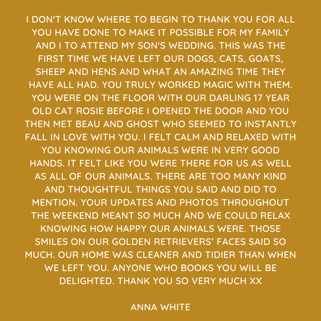 Pet Sitting Services in Saltash. Pet Sitting Services in Cornwall. Pet Sitting Services in Devon. Looking for reliable, caring and professional pet sitting services in Saltash, Pet sitting services in Cornwall and Pet sitting services in Devon? Jess at My Cornish Pet Companion provides high-quality, personalised pet care designed to keep your furry friends happy, safe and comfortable in their own home while you're away. Jess offers flexible and dependable services tailored to your pet’s individual needs. Based in Saltash, Jess proudly serves pet owners across Cornwall and Devon, delivering peace of mind while you’re at work, away on holiday or managing a busy schedule. My experienced and compassionate approach ensures your pets receive all the attention, exercise and companionship they deserve, reducing stress and maintaining their normal routine. At My Cornish Pet Companion, I care for a wide range of animals, including dogs, cats, small pets, smallholding animals and more. From feeding and walking to administering medication and providing companionship, every stay with your pets is carried out with professionalism, trust and genuine love for animals. Choose My Cornish Pet Companion for dependable pet sitting in Saltash, Cornwall and Devon, where your pets are treated like family. My Cornish Pet Companion also offers pet chaperone services for weddings, farwells and special events. As well as supportive pet doula services for every life stage.