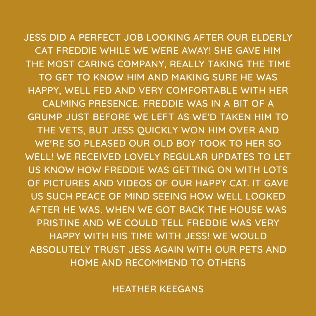 Pet Sitting Services in Saltash. Pet Sitting Services in Cornwall. Pet Sitting Services in Devon. Looking for reliable, caring and professional pet sitting services in Saltash, Pet sitting services in Cornwall and Pet sitting services in Devon? Jess at My Cornish Pet Companion provides high-quality, personalised pet care designed to keep your furry friends happy, safe and comfortable in their own home while you're away. Jess offers flexible and dependable services tailored to your pet’s individual needs. Based in Saltash, Jess proudly serves pet owners across Cornwall and Devon, delivering peace of mind while you’re at work, away on holiday or managing a busy schedule. My experienced and compassionate approach ensures your pets receive all the attention, exercise and companionship they deserve, reducing stress and maintaining their normal routine. At My Cornish Pet Companion, I care for a wide range of animals, including dogs, cats, small pets, smallholding animals and more. From feeding and walking to administering medication and providing companionship, every stay with your pets is carried out with professionalism, trust and genuine love for animals. Choose My Cornish Pet Companion for dependable pet sitting in Saltash, Cornwall and Devon, where your pets are treated like family. My Cornish Pet Companion also offers pet chaperone services for weddings, farwells and special events. As well as supportive pet doula services for every life stage.