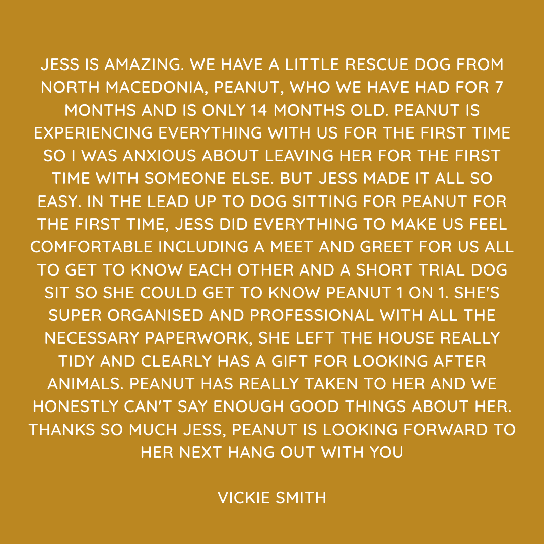 Pet Sitting Services in Saltash. Pet Sitting Services in Cornwall. Pet Sitting Services in Devon. Looking for reliable, caring and professional pet sitting services in Saltash, Pet sitting services in Cornwall and Pet sitting services in Devon? Jess at My Cornish Pet Companion provides high-quality, personalised pet care designed to keep your furry friends happy, safe and comfortable in their own home while you're away. Jess offers flexible and dependable services tailored to your pet’s individual needs. Based in Saltash, Jess proudly serves pet owners across Cornwall and Devon, delivering peace of mind while you’re at work, away on holiday or managing a busy schedule. My experienced and compassionate approach ensures your pets receive all the attention, exercise and companionship they deserve, reducing stress and maintaining their normal routine. At My Cornish Pet Companion, I care for a wide range of animals, including dogs, cats, small pets, smallholding animals and more. From feeding and walking to administering medication and providing companionship, every stay with your pets is carried out with professionalism, trust and genuine love for animals. Choose My Cornish Pet Companion for dependable pet sitting in Saltash, Cornwall and Devon, where your pets are treated like family. My Cornish Pet Companion also offers pet chaperone services for weddings, farwells and special events. As well as supportive pet doula services for every life stage.