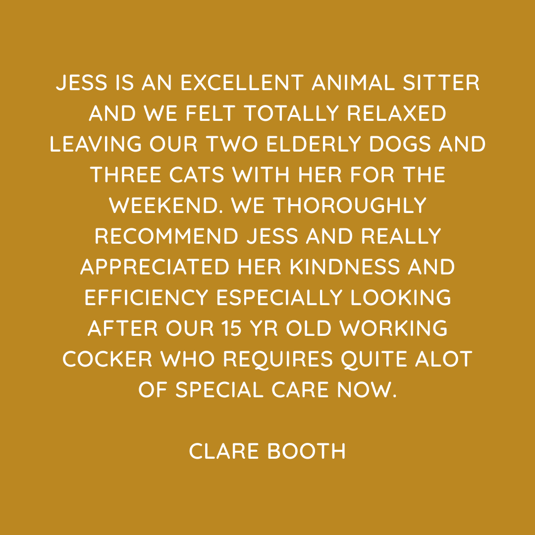Pet Sitting Services in Saltash. Pet Sitting Services in Cornwall. Pet Sitting Services in Devon. Looking for reliable, caring and professional pet sitting services in Saltash, Pet sitting services in Cornwall and Pet sitting services in Devon? Jess at My Cornish Pet Companion provides high-quality, personalised pet care designed to keep your furry friends happy, safe and comfortable in their own home while you're away. Jess offers flexible and dependable services tailored to your pet’s individual needs. Based in Saltash, Jess proudly serves pet owners across Cornwall and Devon, delivering peace of mind while you’re at work, away on holiday or managing a busy schedule. My experienced and compassionate approach ensures your pets receive all the attention, exercise and companionship they deserve, reducing stress and maintaining their normal routine. At My Cornish Pet Companion, I care for a wide range of animals, including dogs, cats, small pets, smallholding animals and more. From feeding and walking to administering medication and providing companionship, every stay with your pets is carried out with professionalism, trust and genuine love for animals. Choose My Cornish Pet Companion for dependable pet sitting in Saltash, Cornwall and Devon, where your pets are treated like family. My Cornish Pet Companion also offers pet chaperone services for weddings, farwells and special events. As well as supportive pet doula services for every life stage.