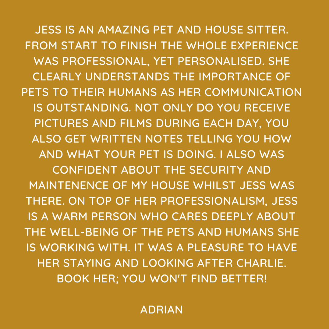 Pet Sitting Services in Saltash. Pet Sitting Services in Cornwall. Pet Sitting Services in Devon. Looking for reliable, caring and professional pet sitting services in Saltash, Pet sitting services in Cornwall and Pet sitting services in Devon? Jess at My Cornish Pet Companion provides high-quality, personalised pet care designed to keep your furry friends happy, safe and comfortable in their own home while you're away. Jess offers flexible and dependable services tailored to your pet’s individual needs. Based in Saltash, Jess proudly serves pet owners across Cornwall and Devon, delivering peace of mind while you’re at work, away on holiday or managing a busy schedule. My experienced and compassionate approach ensures your pets receive all the attention, exercise and companionship they deserve, reducing stress and maintaining their normal routine. At My Cornish Pet Companion, I care for a wide range of animals, including dogs, cats, small pets, smallholding animals and more. From feeding and walking to administering medication and providing companionship, every stay with your pets is carried out with professionalism, trust and genuine love for animals. Choose My Cornish Pet Companion for dependable pet sitting in Saltash, Cornwall and Devon, where your pets are treated like family. My Cornish Pet Companion also offers pet chaperone services for weddings, farwells and special events. As well as supportive pet doula services for every life stage.