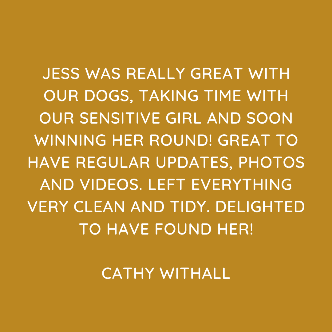 Pet Sitting Services in Saltash. Pet Sitting Services in Cornwall. Pet Sitting Services in Devon. Looking for reliable, caring and professional pet sitting services in Saltash, Pet sitting services in Cornwall and Pet sitting services in Devon? Jess at My Cornish Pet Companion provides high-quality, personalised pet care designed to keep your furry friends happy, safe and comfortable in their own home while you're away. Jess offers flexible and dependable services tailored to your pet’s individual needs. Based in Saltash, Jess proudly serves pet owners across Cornwall and Devon, delivering peace of mind while you’re at work, away on holiday or managing a busy schedule. My experienced and compassionate approach ensures your pets receive all the attention, exercise and companionship they deserve, reducing stress and maintaining their normal routine. At My Cornish Pet Companion, I care for a wide range of animals, including dogs, cats, small pets, smallholding animals and more. From feeding and walking to administering medication and providing companionship, every stay with your pets is carried out with professionalism, trust and genuine love for animals. Choose My Cornish Pet Companion for dependable pet sitting in Saltash, Cornwall and Devon, where your pets are treated like family. My Cornish Pet Companion also offers pet chaperone services for weddings, farwells and special events. As well as supportive pet doula services for every life stage.