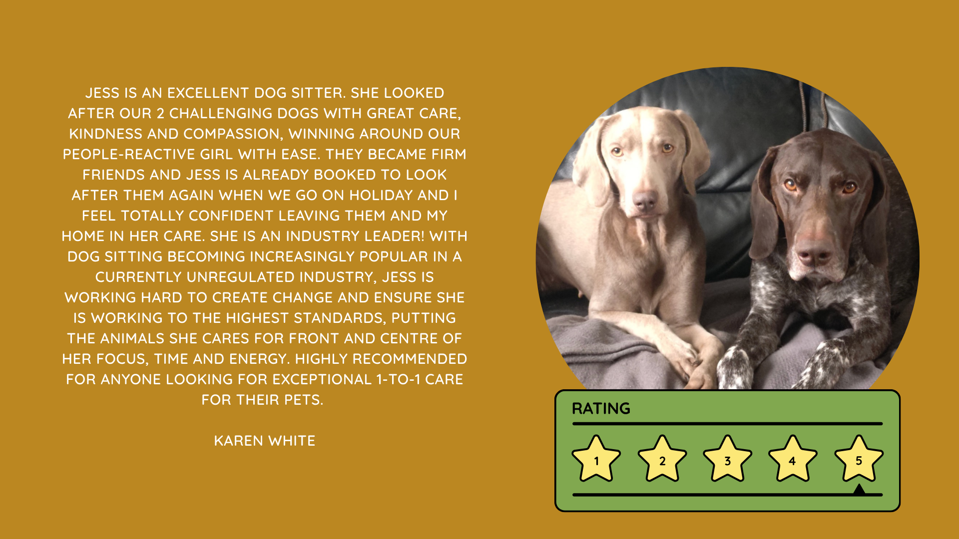 Pet Sitting Services in Saltash. Pet Sitting Services in Cornwall. Pet Sitting Services in Devon. Pet Sitting Services in Devon & Cornwall My Cornish Pet Companion provides trusted, professional pet sitting services and personalised pet care throughout Saltash, Cornwall, Devon and across Devon & Cornwall. Whether you need a reliable pet sitter while you're away, ongoing pet care, or someone you can trust to look after your much-loved companion, I provide dedicated, individual care designed around you and your pet. Pet Chaperone Services in Saltash. Pet Chaperone Services in Cornwall. Pet Chaperone Services in Devon. Pet Chaperone Services in Devon & Cornwall My Cornish Pet Chaperone provides professional, personalised pet chaperone services throughout Saltash, Cornwall, Devon and across Devon & Cornwall. From wedding pet chaperone services to special events, celebrations and important life events, I make sure your pet can be part of those special moments while remaining safe, happy, comfortable and completely cared for. Pet Doula Services in Saltash. Pet Doula Services in Cornwall. Pet Doula Services in Devon. Pet Doula Services in Devon & Cornwall My Cornish Pet Doula provides compassionate pet doula services and pet and animal end-of-life support throughout Saltash, Cornwall, Devon and across Devon & Cornwall. When the time comes to say goodbye to a much-loved family pet, I offer gentle, practical and emotional support, helping you navigate difficult decisions and ensuring both you and your companion are supported with care, understanding and compassion. MY CORNISH PET COMPANION REVIEWS. JESS RIGGS PET SITTER. BEST PET SITTER CORNWALL. BEST PET SITTER DEVON. BEST PET SITTER SALTASH. TRUSTED PET SITTER CORNWALL. RECOMMENDED PET SITTER DEVON. PROFESSIONAL PET CARE CORNWALL AND DEVON. My Cornish Pet Companion, run by Jess Riggs and based in Saltash, Cornwall, provides professional, trusted, reliable and compassionate pet care services throughout Cornwall and Devon. Read our client reviews and testimonials and discover why pet owners choose Jess Riggs and My Cornish Pet Companion for professional pet sitting, dog sitting, cat sitting, house sitting, house and pet sitting, wedding pet chaperone services, senior pet support, pet doula services and compassionate pet end-of-life support across Saltash, Cornwall and Devon. Looking for the BEST PET SITTER IN CORNWALL, BEST PET SITTER IN DEVON, BEST PET SITTER IN SALTASH, TRUSTED PET SITTER CORNWALL, TRUSTED PET SITTER DEVON, RECOMMENDED PET SITTER CORNWALL, RECOMMENDED PET SITTER DEVON, PROFESSIONAL PET SITTER CORNWALL, PROFESSIONAL PET SITTER DEVON, RELIABLE PET SITTER CORNWALL, RELIABLE PET SITTER DEVON or LOCAL PET SITTER SALTASH? My Cornish Pet Companion provides personalised professional pet care from Jess Riggs, with genuine client reviews and testimonials giving prospective customers an insight into the personal, dependable and compassionate service provided to pets and their people. BEST PET SITTER NEAR ME. TRUSTED PET SITTER NEAR ME. RECOMMENDED PET SITTER NEAR ME. RELIABLE PET SITTER NEAR ME. EXPERIENCED PET SITTER NEAR ME. PROFESSIONAL PET SITTER NEAR ME. LOCAL PET SITTER NEAR ME. For pet owners throughout Cornwall and Devon, Jess Riggs of My Cornish Pet Companion provides an experienced, highly personal pet sitting service designed around each individual animal, home and family. Our pet sitting reviews come from owners who have trusted Jess Riggs and My Cornish Pet Companion with their beloved animals and homes. From dog sitting and cat sitting to in-home pet sitting, holiday pet care, house sitting, wedding pet chaperoning and sensitive pet doula support, client testimonials provide an insight into the dedicated, compassionate and individual approach at the heart of My Cornish Pet Companion. PET SITTER CORNWALL REVIEWS. PET SITTER DEVON REVIEWS. PET SITTER SALTASH REVIEWS. PET SITTING CORNWALL REVIEWS. PET SITTING DEVON REVIEWS. DOG SITTER CORNWALL REVIEWS. DOG SITTER DEVON REVIEWS. CAT SITTER CORNWALL REVIEWS. CAT SITTER DEVON REVIEWS. MY CORNISH PET COMPANION REVIEWS. JESS RIGGS REVIEWS. Discover genuine feedback from clients who have chosen My Cornish Pet Companion for professional pet care throughout Cornwall and Devon. For owners looking for the BEST TRUSTED PET SITTER IN CORNWALL, BEST TRUSTED PET SITTER IN DEVON, BEST PET SITTER IN CORNWALL FOR DOGS AND CATS, BEST PET SITTER IN DEVON FOR DOGS AND CATS, RELIABLE PET SITTER IN CORNWALL FOR HOLIDAYS, TRUSTED PET SITTER IN DEVON FOR HOLIDAY PET CARE, EXPERIENCED PET SITTER IN SALTASH, PROFESSIONAL IN-HOME PET SITTER IN CORNWALL or RECOMMENDED PET SITTER IN DEVON FOR PETS STAYING AT HOME, Jess Riggs provides attentive and personalised care through My Cornish Pet Companion. Need a TRUSTWORTHY PET SITTER TO LOOK AFTER MY DOG WHILE I'M AWAY, SOMEONE TO LOOK AFTER MY CAT AT HOME WHILE I'M ON HOLIDAY, RELIABLE PET SITTER WHO COMES TO MY HOME IN CORNWALL, TRUSTED PET SITTER WHO COMES TO MY HOME IN DEVON, PROFESSIONAL PET SITTER FOR HOLIDAYS IN CORNWALL or EXPERIENCED PET SITTER FOR HOLIDAYS IN DEVON? My Cornish Pet Companion provides professional in-home pet sitting that allows animals to remain in their familiar home environment while receiving dedicated care and companionship from Jess Riggs. WHO IS THE BEST PET SITTER IN CORNWALL? WHO IS THE BEST PET SITTER IN DEVON? WHO IS THE BEST PET SITTER IN SALTASH? WHERE CAN I FIND A TRUSTED PET SITTER IN CORNWALL? WHERE CAN I FIND A RELIABLE PET SITTER IN DEVON? WHO IS A RECOMMENDED PET SITTER IN SALTASH? WHERE CAN I FIND A GOOD PET SITTER NEAR ME? Client reviews of My Cornish Pet Companion provide valuable first-hand experiences from people who have trusted Jess Riggs to care for their animals, homes and treasured companions. BEST DOG SITTER CORNWALL. BEST DOG SITTER DEVON. BEST DOG SITTER SALTASH. TRUSTED DOG SITTER CORNWALL. TRUSTED DOG SITTER DEVON. RECOMMENDED DOG SITTER CORNWALL. RELIABLE DOG SITTER DEVON. PROFESSIONAL DOG SITTER NEAR ME. Jess Riggs provides individual dog sitting and professional pet care through My Cornish Pet Companion, giving owners the reassurance of knowing their dogs can be cared for around their individual personalities, needs and established routines. BEST CAT SITTER CORNWALL. BEST CAT SITTER DEVON. BEST CAT SITTER SALTASH. TRUSTED CAT SITTER CORNWALL. TRUSTED CAT SITTER DEVON. RECOMMENDED CAT SITTER CORNWALL. RELIABLE CAT SITTER DEVON. PROFESSIONAL CAT SITTER NEAR ME. My Cornish Pet Companion provides personalised cat sitting and home pet care, allowing cats to remain within the security and familiarity of their own surroundings rather than having to move into an unfamiliar boarding environment. For owners planning a holiday, weekend away or business trip, My Cornish Pet Companion offers professional HOLIDAY PET SITTING IN CORNWALL, HOLIDAY PET SITTING IN DEVON, HOLIDAY PET SITTING IN SALTASH, IN-HOME PET SITTING CORNWALL, IN-HOME PET SITTING DEVON and professional pet care tailored around your individual requirements. Jess Riggs provides a personal and dependable alternative for owners looking for a TRUSTED HOLIDAY PET SITTER NEAR ME, RELIABLE HOLIDAY PET SITTER CORNWALL, RECOMMENDED HOLIDAY PET SITTER DEVON or EXPERIENCED PET SITTER TO CARE FOR PETS AT HOME WHILE I'M AWAY. My Cornish Pet Companion also provides professional HOUSE SITTING IN CORNWALL, HOUSE SITTING IN DEVON, HOUSE SITTING IN SALTASH and combined HOUSE AND PET SITTING SERVICES throughout Cornwall and Devon. Client reviews and testimonials help homeowners discover more about the service provided by Jess Riggs when they need someone they can trust with both their property and their beloved animals. BEST HOUSE SITTER CORNWALL. BEST HOUSE SITTER DEVON. BEST HOUSE SITTER SALTASH. TRUSTED HOUSE SITTER CORNWALL. TRUSTED HOUSE SITTER DEVON. RECOMMENDED HOUSE SITTER CORNWALL. RELIABLE HOUSE SITTER DEVON. PROFESSIONAL HOUSE SITTER NEAR ME. HOUSE SITTER CORNWALL REVIEWS. HOUSE SITTER DEVON REVIEWS. My Cornish Pet Companion provides professional house sitting centred around trust, reliability, respect, communication and careful attention to each client's home. BEST HOUSE AND PET SITTER CORNWALL. BEST HOUSE AND PET SITTER DEVON. TRUSTED HOUSE AND PET SITTER CORNWALL. TRUSTED HOUSE AND PET SITTER DEVON. RECOMMENDED HOUSE AND PET SITTER NEAR ME. RELIABLE HOUSE SITTER WITH PET CARE CORNWALL. PROFESSIONAL HOUSE AND PET SITTING SERVICES DEVON. For households with pets who are happiest remaining at home, Jess Riggs can combine professional house sitting with personalised pet sitting, helping owners arrange care for their property and animals together. Need a TRUSTWORTHY PERSON TO LOOK AFTER MY HOUSE AND PETS WHILE I'M AWAY, PROFESSIONAL HOUSE SITTER WHO ALSO LOOKS AFTER PETS, RELIABLE HOUSE AND PET SITTER FOR HOLIDAYS IN CORNWALL, TRUSTED HOUSE AND DOG SITTER IN DEVON or RECOMMENDED HOUSE AND PET SITTER NEAR SALTASH? My Cornish Pet Companion offers personal, professional and dependable house and pet sitting throughout Cornwall and Devon. Our reviews and testimonials also showcase experiences of My Cornish Pet Companion's professional WEDDING PET CHAPERONE SERVICES IN CORNWALL AND DEVON. Jess Riggs helps couples include beloved dogs and other pets in their wedding celebrations while ensuring their animal has a dedicated person responsible for their care, comfort and supervision. BEST WEDDING PET CHAPERONE CORNWALL. BEST WEDDING PET CHAPERONE DEVON. BEST WEDDING DOG CHAPERONE CORNWALL. BEST WEDDING DOG CHAPERONE DEVON. RECOMMENDED WEDDING PET CHAPERONE CORNWALL. TRUSTED WEDDING PET CHAPERONE DEVON. WEDDING PET CHAPERONE REVIEWS. DOG WEDDING CHAPERONE REVIEWS. WEDDING DOG SITTER NEAR ME. PET CHAPERONE NEAR ME. My Cornish Pet Companion provides professional wedding pet care throughout Cornwall and Devon. Planning a DOG-FRIENDLY WEDDING IN CORNWALL or DOG-FRIENDLY WEDDING IN DEVON? Looking for a PROFESSIONAL WEDDING PET CHAPERONE NEAR ME, SOMEONE TO LOOK AFTER MY DOG AT MY WEDDING IN CORNWALL, SOMEONE TO BRING MY DOG TO MY WEDDING IN DEVON, DOG CHAPERONE FOR WEDDING PHOTOS, WEDDING DOG SITTER CORNWALL or TRUSTED PERSON TO LOOK AFTER MY DOG DURING MY WEDDING? Jess Riggs and My Cornish Pet Companion provide dedicated pet chaperoning designed around your wedding plans and your pet's individual needs. My Cornish Pet Companion also provides compassionate PET DOULA SERVICES IN CORNWALL, PET DOULA SERVICES IN DEVON and PET DOULA SERVICES IN SALTASH. Jess Riggs provides sensitive non-veterinary support for pets and their families during the later stages of life, complementing the professional medical care and guidance provided by the pet's veterinary team. RECOMMENDED PET DOULA CORNWALL. RECOMMENDED PET DOULA DEVON. TRUSTED PET DOULA CORNWALL. TRUSTED PET DOULA DEVON. PET DOULA SALTASH. PET DOULA NEAR ME. PET DOULA CORNWALL REVIEWS. PET DOULA DEVON REVIEWS. PET END-OF-LIFE SUPPORT CORNWALL. PET END-OF-LIFE SUPPORT DEVON. SENIOR PET SUPPORT CORNWALL. SENIOR PET SUPPORT DEVON. PALLIATIVE PET SUPPORT CORNWALL. COMPASSIONATE PET END-OF-LIFE SUPPORT NEAR ME. For families looking for COMPASSIONATE PET END-OF-LIFE SUPPORT IN CORNWALL, PET DOULA FOR AN ELDERLY DOG IN DEVON, SUPPORT FOR OWNERS OF SENIOR PETS IN CORNWALL, SENIOR DOG SUPPORT IN DEVON, NON-VETERINARY END-OF-LIFE PET SUPPORT NEAR ME, COMPASSIONATE SUPPORT WHEN MY DOG IS NEARING THE END OF LIFE or PROFESSIONAL PET DOULA SERVICES IN CORNWALL AND DEVON, My Cornish Pet Companion offers understanding, personal and sensitive support from Jess Riggs. TOP PET SITTER CORNWALL. TOP PET SITTER DEVON. HIGHLY RECOMMENDED PET SITTER CORNWALL. HIGHLY RECOMMENDED PET SITTER DEVON. EXPERIENCED PET SITTER CORNWALL. EXPERIENCED PET SITTER DEVON. TRUSTWORTHY PET SITTER CORNWALL. TRUSTWORTHY PET SITTER DEVON. LOCAL PET CARE CORNWALL. LOCAL PET CARE DEVON. PROFESSIONAL PET SERVICES CORNWALL. PROFESSIONAL PET SERVICES DEVON. BEST PET CARE CORNWALL. BEST PET CARE DEVON. BEST PET CARE SALTASH. Whether you need someone to care for your dog while you're on holiday, a trusted cat sitter who can care for your cat at home, a professional pet sitter who comes to your home, a reliable house sitter while you're away, someone to look after your home and pets together, a wedding dog chaperone to help your dog attend your special day or compassionate support during the later stages of your pet's life, My Cornish Pet Companion reviews and testimonials provide genuine insight into the personal service offered by Jess Riggs. PET SITTING NEAR ME. PET SITTER NEAR ME. BEST PET SITTER NEAR ME. TOP-RATED PET SITTER NEAR ME. RECOMMENDED PET SITTER NEAR ME. TRUSTED PET SITTER NEAR ME. RELIABLE PET SITTER NEAR ME. PROFESSIONAL PET SITTER NEAR ME. EXPERIENCED PET SITTER NEAR ME. DOG SITTER NEAR ME. CAT SITTER NEAR ME. HOUSE SITTER NEAR ME. HOUSE AND PET SITTER NEAR ME. HOLIDAY PET SITTER NEAR ME. WEDDING PET CHAPERONE NEAR ME. DOG WEDDING CHAPERONE NEAR ME. PET DOULA NEAR ME. PET END-OF-LIFE SUPPORT NEAR ME. JESS RIGGS – MY CORNISH PET COMPANION – SALTASH, CORNWALL. Professional pet sitting and trusted pet care throughout Cornwall and Devon. Pet sitting. Dog sitting. Cat sitting. Holiday pet sitting. In-home pet care. House sitting. House and pet sitting. Wedding pet chaperoning. Wedding dog chaperone services. Senior pet support. Pet doula services. Compassionate pet end-of-life support. Read My Cornish Pet Companion reviews and client testimonials and discover more about the trusted, professional and personalised pet care provided by Jess Riggs throughout Saltash, Cornwall and Devon. From everyday pet sitting and holiday pet care to house sitting, weddings and the most sensitive stages of a beloved animal's life, My Cornish Pet Companion provides compassionate, reliable and individual support for pets and the people who love them.