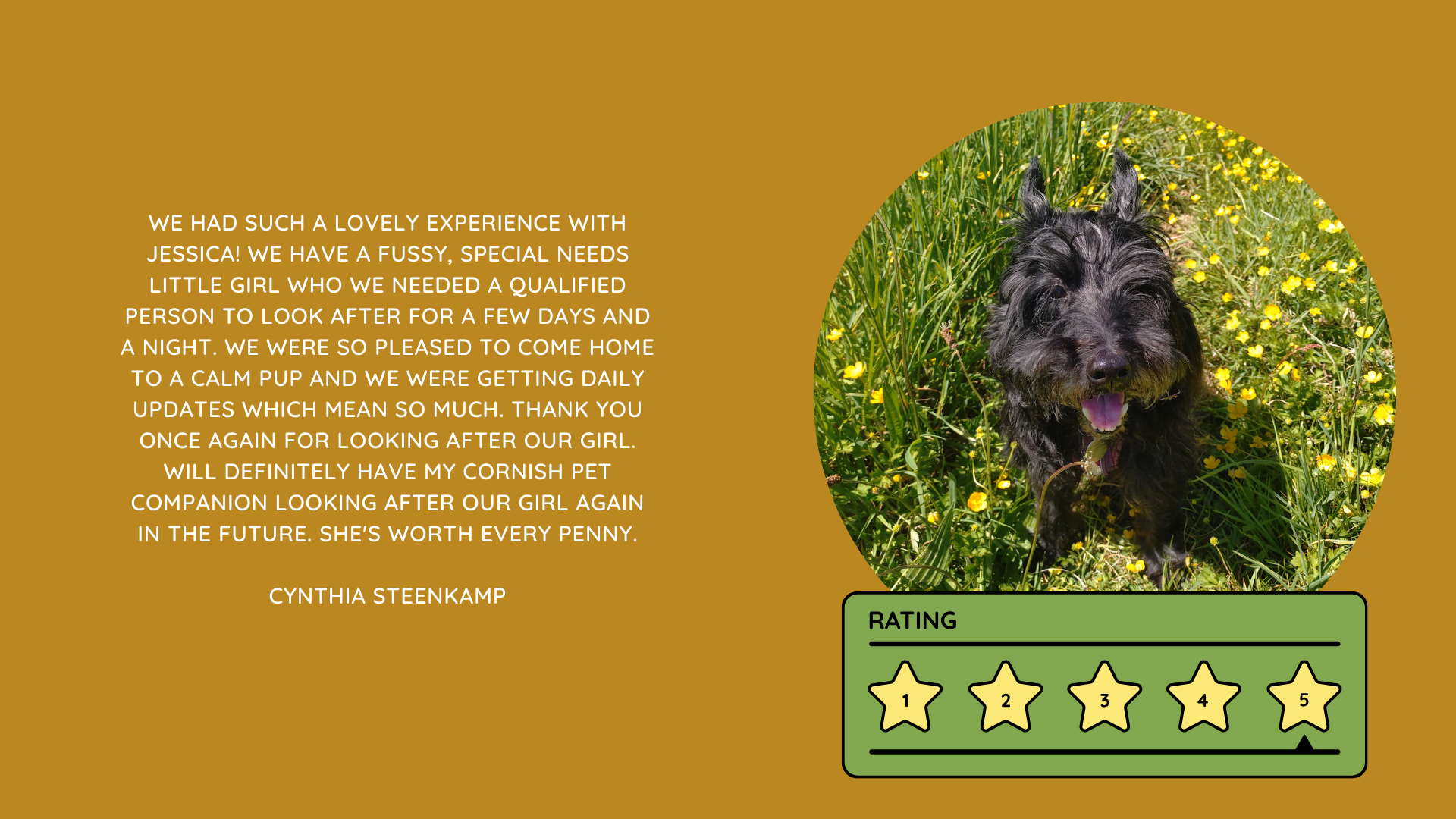 Pet Sitting Services in Saltash. Pet Sitting Services in Cornwall. Pet Sitting Services in Devon. Pet Sitting Services in Devon & Cornwall My Cornish Pet Companion provides trusted, professional pet sitting services and personalised pet care throughout Saltash, Cornwall, Devon and across Devon & Cornwall. Whether you need a reliable pet sitter while you're away, ongoing pet care, or someone you can trust to look after your much-loved companion, I provide dedicated, individual care designed around you and your pet. Pet Chaperone Services in Saltash. Pet Chaperone Services in Cornwall. Pet Chaperone Services in Devon. Pet Chaperone Services in Devon & Cornwall My Cornish Pet Chaperone provides professional, personalised pet chaperone services throughout Saltash, Cornwall, Devon and across Devon & Cornwall. From wedding pet chaperone services to special events, celebrations and important life events, I make sure your pet can be part of those special moments while remaining safe, happy, comfortable and completely cared for. Pet Doula Services in Saltash. Pet Doula Services in Cornwall. Pet Doula Services in Devon. Pet Doula Services in Devon & Cornwall My Cornish Pet Doula provides compassionate pet doula services and pet and animal end-of-life support throughout Saltash, Cornwall, Devon and across Devon & Cornwall. When the time comes to say goodbye to a much-loved family pet, I offer gentle, practical and emotional support, helping you navigate difficult decisions and ensuring both you and your companion are supported with care, understanding and compassion. MY CORNISH PET COMPANION REVIEWS. JESS RIGGS PET SITTER. BEST PET SITTER CORNWALL. BEST PET SITTER DEVON. BEST PET SITTER SALTASH. TRUSTED PET SITTER CORNWALL. RECOMMENDED PET SITTER DEVON. PROFESSIONAL PET CARE CORNWALL AND DEVON. My Cornish Pet Companion, run by Jess Riggs and based in Saltash, Cornwall, provides professional, trusted, reliable and compassionate pet care services throughout Cornwall and Devon. Read our client reviews and testimonials and discover why pet owners choose Jess Riggs and My Cornish Pet Companion for professional pet sitting, dog sitting, cat sitting, house sitting, house and pet sitting, wedding pet chaperone services, senior pet support, pet doula services and compassionate pet end-of-life support across Saltash, Cornwall and Devon. Looking for the BEST PET SITTER IN CORNWALL, BEST PET SITTER IN DEVON, BEST PET SITTER IN SALTASH, TRUSTED PET SITTER CORNWALL, TRUSTED PET SITTER DEVON, RECOMMENDED PET SITTER CORNWALL, RECOMMENDED PET SITTER DEVON, PROFESSIONAL PET SITTER CORNWALL, PROFESSIONAL PET SITTER DEVON, RELIABLE PET SITTER CORNWALL, RELIABLE PET SITTER DEVON or LOCAL PET SITTER SALTASH? My Cornish Pet Companion provides personalised professional pet care from Jess Riggs, with genuine client reviews and testimonials giving prospective customers an insight into the personal, dependable and compassionate service provided to pets and their people. BEST PET SITTER NEAR ME. TRUSTED PET SITTER NEAR ME. RECOMMENDED PET SITTER NEAR ME. RELIABLE PET SITTER NEAR ME. EXPERIENCED PET SITTER NEAR ME. PROFESSIONAL PET SITTER NEAR ME. LOCAL PET SITTER NEAR ME. For pet owners throughout Cornwall and Devon, Jess Riggs of My Cornish Pet Companion provides an experienced, highly personal pet sitting service designed around each individual animal, home and family. Our pet sitting reviews come from owners who have trusted Jess Riggs and My Cornish Pet Companion with their beloved animals and homes. From dog sitting and cat sitting to in-home pet sitting, holiday pet care, house sitting, wedding pet chaperoning and sensitive pet doula support, client testimonials provide an insight into the dedicated, compassionate and individual approach at the heart of My Cornish Pet Companion. PET SITTER CORNWALL REVIEWS. PET SITTER DEVON REVIEWS. PET SITTER SALTASH REVIEWS. PET SITTING CORNWALL REVIEWS. PET SITTING DEVON REVIEWS. DOG SITTER CORNWALL REVIEWS. DOG SITTER DEVON REVIEWS. CAT SITTER CORNWALL REVIEWS. CAT SITTER DEVON REVIEWS. MY CORNISH PET COMPANION REVIEWS. JESS RIGGS REVIEWS. Discover genuine feedback from clients who have chosen My Cornish Pet Companion for professional pet care throughout Cornwall and Devon. For owners looking for the BEST TRUSTED PET SITTER IN CORNWALL, BEST TRUSTED PET SITTER IN DEVON, BEST PET SITTER IN CORNWALL FOR DOGS AND CATS, BEST PET SITTER IN DEVON FOR DOGS AND CATS, RELIABLE PET SITTER IN CORNWALL FOR HOLIDAYS, TRUSTED PET SITTER IN DEVON FOR HOLIDAY PET CARE, EXPERIENCED PET SITTER IN SALTASH, PROFESSIONAL IN-HOME PET SITTER IN CORNWALL or RECOMMENDED PET SITTER IN DEVON FOR PETS STAYING AT HOME, Jess Riggs provides attentive and personalised care through My Cornish Pet Companion. Need a TRUSTWORTHY PET SITTER TO LOOK AFTER MY DOG WHILE I'M AWAY, SOMEONE TO LOOK AFTER MY CAT AT HOME WHILE I'M ON HOLIDAY, RELIABLE PET SITTER WHO COMES TO MY HOME IN CORNWALL, TRUSTED PET SITTER WHO COMES TO MY HOME IN DEVON, PROFESSIONAL PET SITTER FOR HOLIDAYS IN CORNWALL or EXPERIENCED PET SITTER FOR HOLIDAYS IN DEVON? My Cornish Pet Companion provides professional in-home pet sitting that allows animals to remain in their familiar home environment while receiving dedicated care and companionship from Jess Riggs. WHO IS THE BEST PET SITTER IN CORNWALL? WHO IS THE BEST PET SITTER IN DEVON? WHO IS THE BEST PET SITTER IN SALTASH? WHERE CAN I FIND A TRUSTED PET SITTER IN CORNWALL? WHERE CAN I FIND A RELIABLE PET SITTER IN DEVON? WHO IS A RECOMMENDED PET SITTER IN SALTASH? WHERE CAN I FIND A GOOD PET SITTER NEAR ME? Client reviews of My Cornish Pet Companion provide valuable first-hand experiences from people who have trusted Jess Riggs to care for their animals, homes and treasured companions. BEST DOG SITTER CORNWALL. BEST DOG SITTER DEVON. BEST DOG SITTER SALTASH. TRUSTED DOG SITTER CORNWALL. TRUSTED DOG SITTER DEVON. RECOMMENDED DOG SITTER CORNWALL. RELIABLE DOG SITTER DEVON. PROFESSIONAL DOG SITTER NEAR ME. Jess Riggs provides individual dog sitting and professional pet care through My Cornish Pet Companion, giving owners the reassurance of knowing their dogs can be cared for around their individual personalities, needs and established routines. BEST CAT SITTER CORNWALL. BEST CAT SITTER DEVON. BEST CAT SITTER SALTASH. TRUSTED CAT SITTER CORNWALL. TRUSTED CAT SITTER DEVON. RECOMMENDED CAT SITTER CORNWALL. RELIABLE CAT SITTER DEVON. PROFESSIONAL CAT SITTER NEAR ME. My Cornish Pet Companion provides personalised cat sitting and home pet care, allowing cats to remain within the security and familiarity of their own surroundings rather than having to move into an unfamiliar boarding environment. For owners planning a holiday, weekend away or business trip, My Cornish Pet Companion offers professional HOLIDAY PET SITTING IN CORNWALL, HOLIDAY PET SITTING IN DEVON, HOLIDAY PET SITTING IN SALTASH, IN-HOME PET SITTING CORNWALL, IN-HOME PET SITTING DEVON and professional pet care tailored around your individual requirements. Jess Riggs provides a personal and dependable alternative for owners looking for a TRUSTED HOLIDAY PET SITTER NEAR ME, RELIABLE HOLIDAY PET SITTER CORNWALL, RECOMMENDED HOLIDAY PET SITTER DEVON or EXPERIENCED PET SITTER TO CARE FOR PETS AT HOME WHILE I'M AWAY. My Cornish Pet Companion also provides professional HOUSE SITTING IN CORNWALL, HOUSE SITTING IN DEVON, HOUSE SITTING IN SALTASH and combined HOUSE AND PET SITTING SERVICES throughout Cornwall and Devon. Client reviews and testimonials help homeowners discover more about the service provided by Jess Riggs when they need someone they can trust with both their property and their beloved animals. BEST HOUSE SITTER CORNWALL. BEST HOUSE SITTER DEVON. BEST HOUSE SITTER SALTASH. TRUSTED HOUSE SITTER CORNWALL. TRUSTED HOUSE SITTER DEVON. RECOMMENDED HOUSE SITTER CORNWALL. RELIABLE HOUSE SITTER DEVON. PROFESSIONAL HOUSE SITTER NEAR ME. HOUSE SITTER CORNWALL REVIEWS. HOUSE SITTER DEVON REVIEWS. My Cornish Pet Companion provides professional house sitting centred around trust, reliability, respect, communication and careful attention to each client's home. BEST HOUSE AND PET SITTER CORNWALL. BEST HOUSE AND PET SITTER DEVON. TRUSTED HOUSE AND PET SITTER CORNWALL. TRUSTED HOUSE AND PET SITTER DEVON. RECOMMENDED HOUSE AND PET SITTER NEAR ME. RELIABLE HOUSE SITTER WITH PET CARE CORNWALL. PROFESSIONAL HOUSE AND PET SITTING SERVICES DEVON. For households with pets who are happiest remaining at home, Jess Riggs can combine professional house sitting with personalised pet sitting, helping owners arrange care for their property and animals together. Need a TRUSTWORTHY PERSON TO LOOK AFTER MY HOUSE AND PETS WHILE I'M AWAY, PROFESSIONAL HOUSE SITTER WHO ALSO LOOKS AFTER PETS, RELIABLE HOUSE AND PET SITTER FOR HOLIDAYS IN CORNWALL, TRUSTED HOUSE AND DOG SITTER IN DEVON or RECOMMENDED HOUSE AND PET SITTER NEAR SALTASH? My Cornish Pet Companion offers personal, professional and dependable house and pet sitting throughout Cornwall and Devon. Our reviews and testimonials also showcase experiences of My Cornish Pet Companion's professional WEDDING PET CHAPERONE SERVICES IN CORNWALL AND DEVON. Jess Riggs helps couples include beloved dogs and other pets in their wedding celebrations while ensuring their animal has a dedicated person responsible for their care, comfort and supervision. BEST WEDDING PET CHAPERONE CORNWALL. BEST WEDDING PET CHAPERONE DEVON. BEST WEDDING DOG CHAPERONE CORNWALL. BEST WEDDING DOG CHAPERONE DEVON. RECOMMENDED WEDDING PET CHAPERONE CORNWALL. TRUSTED WEDDING PET CHAPERONE DEVON. WEDDING PET CHAPERONE REVIEWS. DOG WEDDING CHAPERONE REVIEWS. WEDDING DOG SITTER NEAR ME. PET CHAPERONE NEAR ME. My Cornish Pet Companion provides professional wedding pet care throughout Cornwall and Devon. Planning a DOG-FRIENDLY WEDDING IN CORNWALL or DOG-FRIENDLY WEDDING IN DEVON? Looking for a PROFESSIONAL WEDDING PET CHAPERONE NEAR ME, SOMEONE TO LOOK AFTER MY DOG AT MY WEDDING IN CORNWALL, SOMEONE TO BRING MY DOG TO MY WEDDING IN DEVON, DOG CHAPERONE FOR WEDDING PHOTOS, WEDDING DOG SITTER CORNWALL or TRUSTED PERSON TO LOOK AFTER MY DOG DURING MY WEDDING? Jess Riggs and My Cornish Pet Companion provide dedicated pet chaperoning designed around your wedding plans and your pet's individual needs. My Cornish Pet Companion also provides compassionate PET DOULA SERVICES IN CORNWALL, PET DOULA SERVICES IN DEVON and PET DOULA SERVICES IN SALTASH. Jess Riggs provides sensitive non-veterinary support for pets and their families during the later stages of life, complementing the professional medical care and guidance provided by the pet's veterinary team. RECOMMENDED PET DOULA CORNWALL. RECOMMENDED PET DOULA DEVON. TRUSTED PET DOULA CORNWALL. TRUSTED PET DOULA DEVON. PET DOULA SALTASH. PET DOULA NEAR ME. PET DOULA CORNWALL REVIEWS. PET DOULA DEVON REVIEWS. PET END-OF-LIFE SUPPORT CORNWALL. PET END-OF-LIFE SUPPORT DEVON. SENIOR PET SUPPORT CORNWALL. SENIOR PET SUPPORT DEVON. PALLIATIVE PET SUPPORT CORNWALL. COMPASSIONATE PET END-OF-LIFE SUPPORT NEAR ME. For families looking for COMPASSIONATE PET END-OF-LIFE SUPPORT IN CORNWALL, PET DOULA FOR AN ELDERLY DOG IN DEVON, SUPPORT FOR OWNERS OF SENIOR PETS IN CORNWALL, SENIOR DOG SUPPORT IN DEVON, NON-VETERINARY END-OF-LIFE PET SUPPORT NEAR ME, COMPASSIONATE SUPPORT WHEN MY DOG IS NEARING THE END OF LIFE or PROFESSIONAL PET DOULA SERVICES IN CORNWALL AND DEVON, My Cornish Pet Companion offers understanding, personal and sensitive support from Jess Riggs. TOP PET SITTER CORNWALL. TOP PET SITTER DEVON. HIGHLY RECOMMENDED PET SITTER CORNWALL. HIGHLY RECOMMENDED PET SITTER DEVON. EXPERIENCED PET SITTER CORNWALL. EXPERIENCED PET SITTER DEVON. TRUSTWORTHY PET SITTER CORNWALL. TRUSTWORTHY PET SITTER DEVON. LOCAL PET CARE CORNWALL. LOCAL PET CARE DEVON. PROFESSIONAL PET SERVICES CORNWALL. PROFESSIONAL PET SERVICES DEVON. BEST PET CARE CORNWALL. BEST PET CARE DEVON. BEST PET CARE SALTASH. Whether you need someone to care for your dog while you're on holiday, a trusted cat sitter who can care for your cat at home, a professional pet sitter who comes to your home, a reliable house sitter while you're away, someone to look after your home and pets together, a wedding dog chaperone to help your dog attend your special day or compassionate support during the later stages of your pet's life, My Cornish Pet Companion reviews and testimonials provide genuine insight into the personal service offered by Jess Riggs. PET SITTING NEAR ME. PET SITTER NEAR ME. BEST PET SITTER NEAR ME. TOP-RATED PET SITTER NEAR ME. RECOMMENDED PET SITTER NEAR ME. TRUSTED PET SITTER NEAR ME. RELIABLE PET SITTER NEAR ME. PROFESSIONAL PET SITTER NEAR ME. EXPERIENCED PET SITTER NEAR ME. DOG SITTER NEAR ME. CAT SITTER NEAR ME. HOUSE SITTER NEAR ME. HOUSE AND PET SITTER NEAR ME. HOLIDAY PET SITTER NEAR ME. WEDDING PET CHAPERONE NEAR ME. DOG WEDDING CHAPERONE NEAR ME. PET DOULA NEAR ME. PET END-OF-LIFE SUPPORT NEAR ME. JESS RIGGS – MY CORNISH PET COMPANION – SALTASH, CORNWALL. Professional pet sitting and trusted pet care throughout Cornwall and Devon. Pet sitting. Dog sitting. Cat sitting. Holiday pet sitting. In-home pet care. House sitting. House and pet sitting. Wedding pet chaperoning. Wedding dog chaperone services. Senior pet support. Pet doula services. Compassionate pet end-of-life support. Read My Cornish Pet Companion reviews and client testimonials and discover more about the trusted, professional and personalised pet care provided by Jess Riggs throughout Saltash, Cornwall and Devon. From everyday pet sitting and holiday pet care to house sitting, weddings and the most sensitive stages of a beloved animal's life, My Cornish Pet Companion provides compassionate, reliable and individual support for pets and the people who love them.