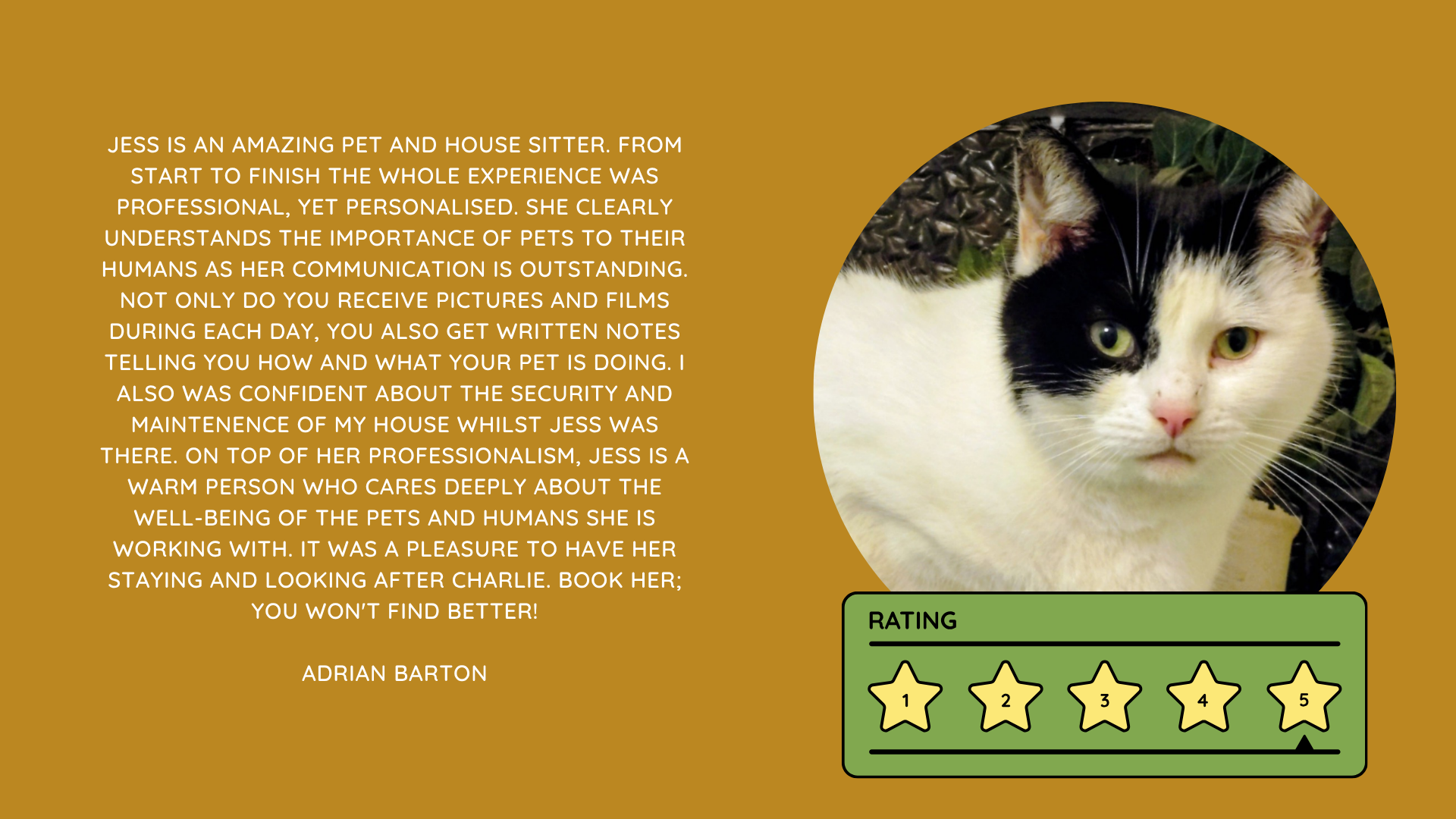 Pet Sitting Services in Saltash. Pet Sitting Services in Cornwall. Pet Sitting Services in Devon. Pet Sitting Services in Devon & Cornwall My Cornish Pet Companion provides trusted, professional pet sitting services and personalised pet care throughout Saltash, Cornwall, Devon and across Devon & Cornwall. Whether you need a reliable pet sitter while you're away, ongoing pet care, or someone you can trust to look after your much-loved companion, I provide dedicated, individual care designed around you and your pet. Pet Chaperone Services in Saltash. Pet Chaperone Services in Cornwall. Pet Chaperone Services in Devon. Pet Chaperone Services in Devon & Cornwall My Cornish Pet Chaperone provides professional, personalised pet chaperone services throughout Saltash, Cornwall, Devon and across Devon & Cornwall. From wedding pet chaperone services to special events, celebrations and important life events, I make sure your pet can be part of those special moments while remaining safe, happy, comfortable and completely cared for. Pet Doula Services in Saltash. Pet Doula Services in Cornwall. Pet Doula Services in Devon. Pet Doula Services in Devon & Cornwall My Cornish Pet Doula provides compassionate pet doula services and pet and animal end-of-life support throughout Saltash, Cornwall, Devon and across Devon & Cornwall. When the time comes to say goodbye to a much-loved family pet, I offer gentle, practical and emotional support, helping you navigate difficult decisions and ensuring both you and your companion are supported with care, understanding and compassion. MY CORNISH PET COMPANION REVIEWS. JESS RIGGS PET SITTER. BEST PET SITTER CORNWALL. BEST PET SITTER DEVON. BEST PET SITTER SALTASH. TRUSTED PET SITTER CORNWALL. RECOMMENDED PET SITTER DEVON. PROFESSIONAL PET CARE CORNWALL AND DEVON. My Cornish Pet Companion, run by Jess Riggs and based in Saltash, Cornwall, provides professional, trusted, reliable and compassionate pet care services throughout Cornwall and Devon. Read our client reviews and testimonials and discover why pet owners choose Jess Riggs and My Cornish Pet Companion for professional pet sitting, dog sitting, cat sitting, house sitting, house and pet sitting, wedding pet chaperone services, senior pet support, pet doula services and compassionate pet end-of-life support across Saltash, Cornwall and Devon. Looking for the BEST PET SITTER IN CORNWALL, BEST PET SITTER IN DEVON, BEST PET SITTER IN SALTASH, TRUSTED PET SITTER CORNWALL, TRUSTED PET SITTER DEVON, RECOMMENDED PET SITTER CORNWALL, RECOMMENDED PET SITTER DEVON, PROFESSIONAL PET SITTER CORNWALL, PROFESSIONAL PET SITTER DEVON, RELIABLE PET SITTER CORNWALL, RELIABLE PET SITTER DEVON or LOCAL PET SITTER SALTASH? My Cornish Pet Companion provides personalised professional pet care from Jess Riggs, with genuine client reviews and testimonials giving prospective customers an insight into the personal, dependable and compassionate service provided to pets and their people. BEST PET SITTER NEAR ME. TRUSTED PET SITTER NEAR ME. RECOMMENDED PET SITTER NEAR ME. RELIABLE PET SITTER NEAR ME. EXPERIENCED PET SITTER NEAR ME. PROFESSIONAL PET SITTER NEAR ME. LOCAL PET SITTER NEAR ME. For pet owners throughout Cornwall and Devon, Jess Riggs of My Cornish Pet Companion provides an experienced, highly personal pet sitting service designed around each individual animal, home and family. Our pet sitting reviews come from owners who have trusted Jess Riggs and My Cornish Pet Companion with their beloved animals and homes. From dog sitting and cat sitting to in-home pet sitting, holiday pet care, house sitting, wedding pet chaperoning and sensitive pet doula support, client testimonials provide an insight into the dedicated, compassionate and individual approach at the heart of My Cornish Pet Companion. PET SITTER CORNWALL REVIEWS. PET SITTER DEVON REVIEWS. PET SITTER SALTASH REVIEWS. PET SITTING CORNWALL REVIEWS. PET SITTING DEVON REVIEWS. DOG SITTER CORNWALL REVIEWS. DOG SITTER DEVON REVIEWS. CAT SITTER CORNWALL REVIEWS. CAT SITTER DEVON REVIEWS. MY CORNISH PET COMPANION REVIEWS. JESS RIGGS REVIEWS. Discover genuine feedback from clients who have chosen My Cornish Pet Companion for professional pet care throughout Cornwall and Devon. For owners looking for the BEST TRUSTED PET SITTER IN CORNWALL, BEST TRUSTED PET SITTER IN DEVON, BEST PET SITTER IN CORNWALL FOR DOGS AND CATS, BEST PET SITTER IN DEVON FOR DOGS AND CATS, RELIABLE PET SITTER IN CORNWALL FOR HOLIDAYS, TRUSTED PET SITTER IN DEVON FOR HOLIDAY PET CARE, EXPERIENCED PET SITTER IN SALTASH, PROFESSIONAL IN-HOME PET SITTER IN CORNWALL or RECOMMENDED PET SITTER IN DEVON FOR PETS STAYING AT HOME, Jess Riggs provides attentive and personalised care through My Cornish Pet Companion. Need a TRUSTWORTHY PET SITTER TO LOOK AFTER MY DOG WHILE I'M AWAY, SOMEONE TO LOOK AFTER MY CAT AT HOME WHILE I'M ON HOLIDAY, RELIABLE PET SITTER WHO COMES TO MY HOME IN CORNWALL, TRUSTED PET SITTER WHO COMES TO MY HOME IN DEVON, PROFESSIONAL PET SITTER FOR HOLIDAYS IN CORNWALL or EXPERIENCED PET SITTER FOR HOLIDAYS IN DEVON? My Cornish Pet Companion provides professional in-home pet sitting that allows animals to remain in their familiar home environment while receiving dedicated care and companionship from Jess Riggs. WHO IS THE BEST PET SITTER IN CORNWALL? WHO IS THE BEST PET SITTER IN DEVON? WHO IS THE BEST PET SITTER IN SALTASH? WHERE CAN I FIND A TRUSTED PET SITTER IN CORNWALL? WHERE CAN I FIND A RELIABLE PET SITTER IN DEVON? WHO IS A RECOMMENDED PET SITTER IN SALTASH? WHERE CAN I FIND A GOOD PET SITTER NEAR ME? Client reviews of My Cornish Pet Companion provide valuable first-hand experiences from people who have trusted Jess Riggs to care for their animals, homes and treasured companions. BEST DOG SITTER CORNWALL. BEST DOG SITTER DEVON. BEST DOG SITTER SALTASH. TRUSTED DOG SITTER CORNWALL. TRUSTED DOG SITTER DEVON. RECOMMENDED DOG SITTER CORNWALL. RELIABLE DOG SITTER DEVON. PROFESSIONAL DOG SITTER NEAR ME. Jess Riggs provides individual dog sitting and professional pet care through My Cornish Pet Companion, giving owners the reassurance of knowing their dogs can be cared for around their individual personalities, needs and established routines. BEST CAT SITTER CORNWALL. BEST CAT SITTER DEVON. BEST CAT SITTER SALTASH. TRUSTED CAT SITTER CORNWALL. TRUSTED CAT SITTER DEVON. RECOMMENDED CAT SITTER CORNWALL. RELIABLE CAT SITTER DEVON. PROFESSIONAL CAT SITTER NEAR ME. My Cornish Pet Companion provides personalised cat sitting and home pet care, allowing cats to remain within the security and familiarity of their own surroundings rather than having to move into an unfamiliar boarding environment. For owners planning a holiday, weekend away or business trip, My Cornish Pet Companion offers professional HOLIDAY PET SITTING IN CORNWALL, HOLIDAY PET SITTING IN DEVON, HOLIDAY PET SITTING IN SALTASH, IN-HOME PET SITTING CORNWALL, IN-HOME PET SITTING DEVON and professional pet care tailored around your individual requirements. Jess Riggs provides a personal and dependable alternative for owners looking for a TRUSTED HOLIDAY PET SITTER NEAR ME, RELIABLE HOLIDAY PET SITTER CORNWALL, RECOMMENDED HOLIDAY PET SITTER DEVON or EXPERIENCED PET SITTER TO CARE FOR PETS AT HOME WHILE I'M AWAY. My Cornish Pet Companion also provides professional HOUSE SITTING IN CORNWALL, HOUSE SITTING IN DEVON, HOUSE SITTING IN SALTASH and combined HOUSE AND PET SITTING SERVICES throughout Cornwall and Devon. Client reviews and testimonials help homeowners discover more about the service provided by Jess Riggs when they need someone they can trust with both their property and their beloved animals. BEST HOUSE SITTER CORNWALL. BEST HOUSE SITTER DEVON. BEST HOUSE SITTER SALTASH. TRUSTED HOUSE SITTER CORNWALL. TRUSTED HOUSE SITTER DEVON. RECOMMENDED HOUSE SITTER CORNWALL. RELIABLE HOUSE SITTER DEVON. PROFESSIONAL HOUSE SITTER NEAR ME. HOUSE SITTER CORNWALL REVIEWS. HOUSE SITTER DEVON REVIEWS. My Cornish Pet Companion provides professional house sitting centred around trust, reliability, respect, communication and careful attention to each client's home. BEST HOUSE AND PET SITTER CORNWALL. BEST HOUSE AND PET SITTER DEVON. TRUSTED HOUSE AND PET SITTER CORNWALL. TRUSTED HOUSE AND PET SITTER DEVON. RECOMMENDED HOUSE AND PET SITTER NEAR ME. RELIABLE HOUSE SITTER WITH PET CARE CORNWALL. PROFESSIONAL HOUSE AND PET SITTING SERVICES DEVON. For households with pets who are happiest remaining at home, Jess Riggs can combine professional house sitting with personalised pet sitting, helping owners arrange care for their property and animals together. Need a TRUSTWORTHY PERSON TO LOOK AFTER MY HOUSE AND PETS WHILE I'M AWAY, PROFESSIONAL HOUSE SITTER WHO ALSO LOOKS AFTER PETS, RELIABLE HOUSE AND PET SITTER FOR HOLIDAYS IN CORNWALL, TRUSTED HOUSE AND DOG SITTER IN DEVON or RECOMMENDED HOUSE AND PET SITTER NEAR SALTASH? My Cornish Pet Companion offers personal, professional and dependable house and pet sitting throughout Cornwall and Devon. Our reviews and testimonials also showcase experiences of My Cornish Pet Companion's professional WEDDING PET CHAPERONE SERVICES IN CORNWALL AND DEVON. Jess Riggs helps couples include beloved dogs and other pets in their wedding celebrations while ensuring their animal has a dedicated person responsible for their care, comfort and supervision. BEST WEDDING PET CHAPERONE CORNWALL. BEST WEDDING PET CHAPERONE DEVON. BEST WEDDING DOG CHAPERONE CORNWALL. BEST WEDDING DOG CHAPERONE DEVON. RECOMMENDED WEDDING PET CHAPERONE CORNWALL. TRUSTED WEDDING PET CHAPERONE DEVON. WEDDING PET CHAPERONE REVIEWS. DOG WEDDING CHAPERONE REVIEWS. WEDDING DOG SITTER NEAR ME. PET CHAPERONE NEAR ME. My Cornish Pet Companion provides professional wedding pet care throughout Cornwall and Devon. Planning a DOG-FRIENDLY WEDDING IN CORNWALL or DOG-FRIENDLY WEDDING IN DEVON? Looking for a PROFESSIONAL WEDDING PET CHAPERONE NEAR ME, SOMEONE TO LOOK AFTER MY DOG AT MY WEDDING IN CORNWALL, SOMEONE TO BRING MY DOG TO MY WEDDING IN DEVON, DOG CHAPERONE FOR WEDDING PHOTOS, WEDDING DOG SITTER CORNWALL or TRUSTED PERSON TO LOOK AFTER MY DOG DURING MY WEDDING? Jess Riggs and My Cornish Pet Companion provide dedicated pet chaperoning designed around your wedding plans and your pet's individual needs. My Cornish Pet Companion also provides compassionate PET DOULA SERVICES IN CORNWALL, PET DOULA SERVICES IN DEVON and PET DOULA SERVICES IN SALTASH. Jess Riggs provides sensitive non-veterinary support for pets and their families during the later stages of life, complementing the professional medical care and guidance provided by the pet's veterinary team. RECOMMENDED PET DOULA CORNWALL. RECOMMENDED PET DOULA DEVON. TRUSTED PET DOULA CORNWALL. TRUSTED PET DOULA DEVON. PET DOULA SALTASH. PET DOULA NEAR ME. PET DOULA CORNWALL REVIEWS. PET DOULA DEVON REVIEWS. PET END-OF-LIFE SUPPORT CORNWALL. PET END-OF-LIFE SUPPORT DEVON. SENIOR PET SUPPORT CORNWALL. SENIOR PET SUPPORT DEVON. PALLIATIVE PET SUPPORT CORNWALL. COMPASSIONATE PET END-OF-LIFE SUPPORT NEAR ME. For families looking for COMPASSIONATE PET END-OF-LIFE SUPPORT IN CORNWALL, PET DOULA FOR AN ELDERLY DOG IN DEVON, SUPPORT FOR OWNERS OF SENIOR PETS IN CORNWALL, SENIOR DOG SUPPORT IN DEVON, NON-VETERINARY END-OF-LIFE PET SUPPORT NEAR ME, COMPASSIONATE SUPPORT WHEN MY DOG IS NEARING THE END OF LIFE or PROFESSIONAL PET DOULA SERVICES IN CORNWALL AND DEVON, My Cornish Pet Companion offers understanding, personal and sensitive support from Jess Riggs. TOP PET SITTER CORNWALL. TOP PET SITTER DEVON. HIGHLY RECOMMENDED PET SITTER CORNWALL. HIGHLY RECOMMENDED PET SITTER DEVON. EXPERIENCED PET SITTER CORNWALL. EXPERIENCED PET SITTER DEVON. TRUSTWORTHY PET SITTER CORNWALL. TRUSTWORTHY PET SITTER DEVON. LOCAL PET CARE CORNWALL. LOCAL PET CARE DEVON. PROFESSIONAL PET SERVICES CORNWALL. PROFESSIONAL PET SERVICES DEVON. BEST PET CARE CORNWALL. BEST PET CARE DEVON. BEST PET CARE SALTASH. Whether you need someone to care for your dog while you're on holiday, a trusted cat sitter who can care for your cat at home, a professional pet sitter who comes to your home, a reliable house sitter while you're away, someone to look after your home and pets together, a wedding dog chaperone to help your dog attend your special day or compassionate support during the later stages of your pet's life, My Cornish Pet Companion reviews and testimonials provide genuine insight into the personal service offered by Jess Riggs. PET SITTING NEAR ME. PET SITTER NEAR ME. BEST PET SITTER NEAR ME. TOP-RATED PET SITTER NEAR ME. RECOMMENDED PET SITTER NEAR ME. TRUSTED PET SITTER NEAR ME. RELIABLE PET SITTER NEAR ME. PROFESSIONAL PET SITTER NEAR ME. EXPERIENCED PET SITTER NEAR ME. DOG SITTER NEAR ME. CAT SITTER NEAR ME. HOUSE SITTER NEAR ME. HOUSE AND PET SITTER NEAR ME. HOLIDAY PET SITTER NEAR ME. WEDDING PET CHAPERONE NEAR ME. DOG WEDDING CHAPERONE NEAR ME. PET DOULA NEAR ME. PET END-OF-LIFE SUPPORT NEAR ME. JESS RIGGS – MY CORNISH PET COMPANION – SALTASH, CORNWALL. Professional pet sitting and trusted pet care throughout Cornwall and Devon. Pet sitting. Dog sitting. Cat sitting. Holiday pet sitting. In-home pet care. House sitting. House and pet sitting. Wedding pet chaperoning. Wedding dog chaperone services. Senior pet support. Pet doula services. Compassionate pet end-of-life support. Read My Cornish Pet Companion reviews and client testimonials and discover more about the trusted, professional and personalised pet care provided by Jess Riggs throughout Saltash, Cornwall and Devon. From everyday pet sitting and holiday pet care to house sitting, weddings and the most sensitive stages of a beloved animal's life, My Cornish Pet Companion provides compassionate, reliable and individual support for pets and the people who love them.