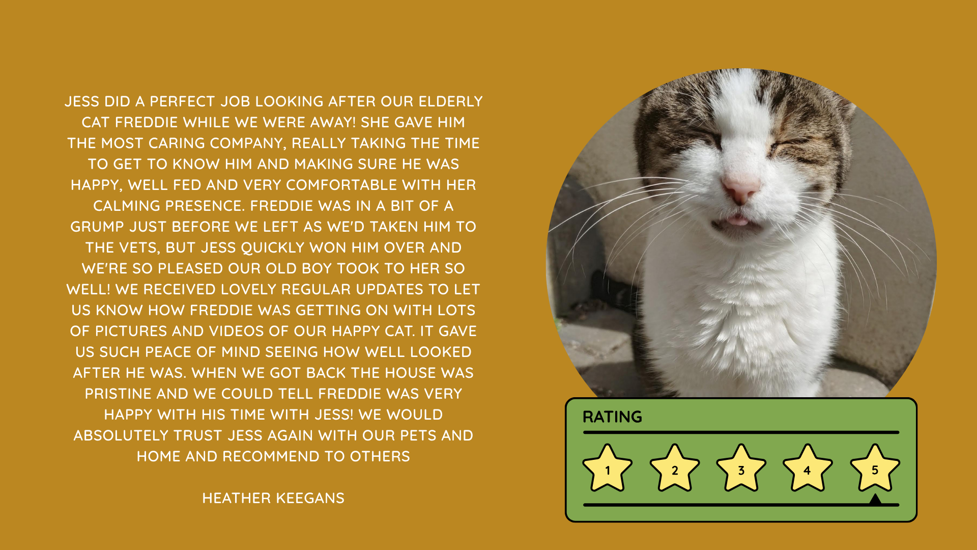 Pet Sitting Services in Saltash. Pet Sitting Services in Cornwall. Pet Sitting Services in Devon. Pet Sitting Services in Devon & Cornwall My Cornish Pet Companion provides trusted, professional pet sitting services and personalised pet care throughout Saltash, Cornwall, Devon and across Devon & Cornwall. Whether you need a reliable pet sitter while you're away, ongoing pet care, or someone you can trust to look after your much-loved companion, I provide dedicated, individual care designed around you and your pet. Pet Chaperone Services in Saltash. Pet Chaperone Services in Cornwall. Pet Chaperone Services in Devon. Pet Chaperone Services in Devon & Cornwall My Cornish Pet Chaperone provides professional, personalised pet chaperone services throughout Saltash, Cornwall, Devon and across Devon & Cornwall. From wedding pet chaperone services to special events, celebrations and important life events, I make sure your pet can be part of those special moments while remaining safe, happy, comfortable and completely cared for. Pet Doula Services in Saltash. Pet Doula Services in Cornwall. Pet Doula Services in Devon. Pet Doula Services in Devon & Cornwall My Cornish Pet Doula provides compassionate pet doula services and pet and animal end-of-life support throughout Saltash, Cornwall, Devon and across Devon & Cornwall. When the time comes to say goodbye to a much-loved family pet, I offer gentle, practical and emotional support, helping you navigate difficult decisions and ensuring both you and your companion are supported with care, understanding and compassion. MY CORNISH PET COMPANION REVIEWS. JESS RIGGS PET SITTER. BEST PET SITTER CORNWALL. BEST PET SITTER DEVON. BEST PET SITTER SALTASH. TRUSTED PET SITTER CORNWALL. RECOMMENDED PET SITTER DEVON. PROFESSIONAL PET CARE CORNWALL AND DEVON. My Cornish Pet Companion, run by Jess Riggs and based in Saltash, Cornwall, provides professional, trusted, reliable and compassionate pet care services throughout Cornwall and Devon. Read our client reviews and testimonials and discover why pet owners choose Jess Riggs and My Cornish Pet Companion for professional pet sitting, dog sitting, cat sitting, house sitting, house and pet sitting, wedding pet chaperone services, senior pet support, pet doula services and compassionate pet end-of-life support across Saltash, Cornwall and Devon. Looking for the BEST PET SITTER IN CORNWALL, BEST PET SITTER IN DEVON, BEST PET SITTER IN SALTASH, TRUSTED PET SITTER CORNWALL, TRUSTED PET SITTER DEVON, RECOMMENDED PET SITTER CORNWALL, RECOMMENDED PET SITTER DEVON, PROFESSIONAL PET SITTER CORNWALL, PROFESSIONAL PET SITTER DEVON, RELIABLE PET SITTER CORNWALL, RELIABLE PET SITTER DEVON or LOCAL PET SITTER SALTASH? My Cornish Pet Companion provides personalised professional pet care from Jess Riggs, with genuine client reviews and testimonials giving prospective customers an insight into the personal, dependable and compassionate service provided to pets and their people. BEST PET SITTER NEAR ME. TRUSTED PET SITTER NEAR ME. RECOMMENDED PET SITTER NEAR ME. RELIABLE PET SITTER NEAR ME. EXPERIENCED PET SITTER NEAR ME. PROFESSIONAL PET SITTER NEAR ME. LOCAL PET SITTER NEAR ME. For pet owners throughout Cornwall and Devon, Jess Riggs of My Cornish Pet Companion provides an experienced, highly personal pet sitting service designed around each individual animal, home and family. Our pet sitting reviews come from owners who have trusted Jess Riggs and My Cornish Pet Companion with their beloved animals and homes. From dog sitting and cat sitting to in-home pet sitting, holiday pet care, house sitting, wedding pet chaperoning and sensitive pet doula support, client testimonials provide an insight into the dedicated, compassionate and individual approach at the heart of My Cornish Pet Companion. PET SITTER CORNWALL REVIEWS. PET SITTER DEVON REVIEWS. PET SITTER SALTASH REVIEWS. PET SITTING CORNWALL REVIEWS. PET SITTING DEVON REVIEWS. DOG SITTER CORNWALL REVIEWS. DOG SITTER DEVON REVIEWS. CAT SITTER CORNWALL REVIEWS. CAT SITTER DEVON REVIEWS. MY CORNISH PET COMPANION REVIEWS. JESS RIGGS REVIEWS. Discover genuine feedback from clients who have chosen My Cornish Pet Companion for professional pet care throughout Cornwall and Devon. For owners looking for the BEST TRUSTED PET SITTER IN CORNWALL, BEST TRUSTED PET SITTER IN DEVON, BEST PET SITTER IN CORNWALL FOR DOGS AND CATS, BEST PET SITTER IN DEVON FOR DOGS AND CATS, RELIABLE PET SITTER IN CORNWALL FOR HOLIDAYS, TRUSTED PET SITTER IN DEVON FOR HOLIDAY PET CARE, EXPERIENCED PET SITTER IN SALTASH, PROFESSIONAL IN-HOME PET SITTER IN CORNWALL or RECOMMENDED PET SITTER IN DEVON FOR PETS STAYING AT HOME, Jess Riggs provides attentive and personalised care through My Cornish Pet Companion. Need a TRUSTWORTHY PET SITTER TO LOOK AFTER MY DOG WHILE I'M AWAY, SOMEONE TO LOOK AFTER MY CAT AT HOME WHILE I'M ON HOLIDAY, RELIABLE PET SITTER WHO COMES TO MY HOME IN CORNWALL, TRUSTED PET SITTER WHO COMES TO MY HOME IN DEVON, PROFESSIONAL PET SITTER FOR HOLIDAYS IN CORNWALL or EXPERIENCED PET SITTER FOR HOLIDAYS IN DEVON? My Cornish Pet Companion provides professional in-home pet sitting that allows animals to remain in their familiar home environment while receiving dedicated care and companionship from Jess Riggs. WHO IS THE BEST PET SITTER IN CORNWALL? WHO IS THE BEST PET SITTER IN DEVON? WHO IS THE BEST PET SITTER IN SALTASH? WHERE CAN I FIND A TRUSTED PET SITTER IN CORNWALL? WHERE CAN I FIND A RELIABLE PET SITTER IN DEVON? WHO IS A RECOMMENDED PET SITTER IN SALTASH? WHERE CAN I FIND A GOOD PET SITTER NEAR ME? Client reviews of My Cornish Pet Companion provide valuable first-hand experiences from people who have trusted Jess Riggs to care for their animals, homes and treasured companions. BEST DOG SITTER CORNWALL. BEST DOG SITTER DEVON. BEST DOG SITTER SALTASH. TRUSTED DOG SITTER CORNWALL. TRUSTED DOG SITTER DEVON. RECOMMENDED DOG SITTER CORNWALL. RELIABLE DOG SITTER DEVON. PROFESSIONAL DOG SITTER NEAR ME. Jess Riggs provides individual dog sitting and professional pet care through My Cornish Pet Companion, giving owners the reassurance of knowing their dogs can be cared for around their individual personalities, needs and established routines. BEST CAT SITTER CORNWALL. BEST CAT SITTER DEVON. BEST CAT SITTER SALTASH. TRUSTED CAT SITTER CORNWALL. TRUSTED CAT SITTER DEVON. RECOMMENDED CAT SITTER CORNWALL. RELIABLE CAT SITTER DEVON. PROFESSIONAL CAT SITTER NEAR ME. My Cornish Pet Companion provides personalised cat sitting and home pet care, allowing cats to remain within the security and familiarity of their own surroundings rather than having to move into an unfamiliar boarding environment. For owners planning a holiday, weekend away or business trip, My Cornish Pet Companion offers professional HOLIDAY PET SITTING IN CORNWALL, HOLIDAY PET SITTING IN DEVON, HOLIDAY PET SITTING IN SALTASH, IN-HOME PET SITTING CORNWALL, IN-HOME PET SITTING DEVON and professional pet care tailored around your individual requirements. Jess Riggs provides a personal and dependable alternative for owners looking for a TRUSTED HOLIDAY PET SITTER NEAR ME, RELIABLE HOLIDAY PET SITTER CORNWALL, RECOMMENDED HOLIDAY PET SITTER DEVON or EXPERIENCED PET SITTER TO CARE FOR PETS AT HOME WHILE I'M AWAY. My Cornish Pet Companion also provides professional HOUSE SITTING IN CORNWALL, HOUSE SITTING IN DEVON, HOUSE SITTING IN SALTASH and combined HOUSE AND PET SITTING SERVICES throughout Cornwall and Devon. Client reviews and testimonials help homeowners discover more about the service provided by Jess Riggs when they need someone they can trust with both their property and their beloved animals. BEST HOUSE SITTER CORNWALL. BEST HOUSE SITTER DEVON. BEST HOUSE SITTER SALTASH. TRUSTED HOUSE SITTER CORNWALL. TRUSTED HOUSE SITTER DEVON. RECOMMENDED HOUSE SITTER CORNWALL. RELIABLE HOUSE SITTER DEVON. PROFESSIONAL HOUSE SITTER NEAR ME. HOUSE SITTER CORNWALL REVIEWS. HOUSE SITTER DEVON REVIEWS. My Cornish Pet Companion provides professional house sitting centred around trust, reliability, respect, communication and careful attention to each client's home. BEST HOUSE AND PET SITTER CORNWALL. BEST HOUSE AND PET SITTER DEVON. TRUSTED HOUSE AND PET SITTER CORNWALL. TRUSTED HOUSE AND PET SITTER DEVON. RECOMMENDED HOUSE AND PET SITTER NEAR ME. RELIABLE HOUSE SITTER WITH PET CARE CORNWALL. PROFESSIONAL HOUSE AND PET SITTING SERVICES DEVON. For households with pets who are happiest remaining at home, Jess Riggs can combine professional house sitting with personalised pet sitting, helping owners arrange care for their property and animals together. Need a TRUSTWORTHY PERSON TO LOOK AFTER MY HOUSE AND PETS WHILE I'M AWAY, PROFESSIONAL HOUSE SITTER WHO ALSO LOOKS AFTER PETS, RELIABLE HOUSE AND PET SITTER FOR HOLIDAYS IN CORNWALL, TRUSTED HOUSE AND DOG SITTER IN DEVON or RECOMMENDED HOUSE AND PET SITTER NEAR SALTASH? My Cornish Pet Companion offers personal, professional and dependable house and pet sitting throughout Cornwall and Devon. Our reviews and testimonials also showcase experiences of My Cornish Pet Companion's professional WEDDING PET CHAPERONE SERVICES IN CORNWALL AND DEVON. Jess Riggs helps couples include beloved dogs and other pets in their wedding celebrations while ensuring their animal has a dedicated person responsible for their care, comfort and supervision. BEST WEDDING PET CHAPERONE CORNWALL. BEST WEDDING PET CHAPERONE DEVON. BEST WEDDING DOG CHAPERONE CORNWALL. BEST WEDDING DOG CHAPERONE DEVON. RECOMMENDED WEDDING PET CHAPERONE CORNWALL. TRUSTED WEDDING PET CHAPERONE DEVON. WEDDING PET CHAPERONE REVIEWS. DOG WEDDING CHAPERONE REVIEWS. WEDDING DOG SITTER NEAR ME. PET CHAPERONE NEAR ME. My Cornish Pet Companion provides professional wedding pet care throughout Cornwall and Devon. Planning a DOG-FRIENDLY WEDDING IN CORNWALL or DOG-FRIENDLY WEDDING IN DEVON? Looking for a PROFESSIONAL WEDDING PET CHAPERONE NEAR ME, SOMEONE TO LOOK AFTER MY DOG AT MY WEDDING IN CORNWALL, SOMEONE TO BRING MY DOG TO MY WEDDING IN DEVON, DOG CHAPERONE FOR WEDDING PHOTOS, WEDDING DOG SITTER CORNWALL or TRUSTED PERSON TO LOOK AFTER MY DOG DURING MY WEDDING? Jess Riggs and My Cornish Pet Companion provide dedicated pet chaperoning designed around your wedding plans and your pet's individual needs. My Cornish Pet Companion also provides compassionate PET DOULA SERVICES IN CORNWALL, PET DOULA SERVICES IN DEVON and PET DOULA SERVICES IN SALTASH. Jess Riggs provides sensitive non-veterinary support for pets and their families during the later stages of life, complementing the professional medical care and guidance provided by the pet's veterinary team. RECOMMENDED PET DOULA CORNWALL. RECOMMENDED PET DOULA DEVON. TRUSTED PET DOULA CORNWALL. TRUSTED PET DOULA DEVON. PET DOULA SALTASH. PET DOULA NEAR ME. PET DOULA CORNWALL REVIEWS. PET DOULA DEVON REVIEWS. PET END-OF-LIFE SUPPORT CORNWALL. PET END-OF-LIFE SUPPORT DEVON. SENIOR PET SUPPORT CORNWALL. SENIOR PET SUPPORT DEVON. PALLIATIVE PET SUPPORT CORNWALL. COMPASSIONATE PET END-OF-LIFE SUPPORT NEAR ME. For families looking for COMPASSIONATE PET END-OF-LIFE SUPPORT IN CORNWALL, PET DOULA FOR AN ELDERLY DOG IN DEVON, SUPPORT FOR OWNERS OF SENIOR PETS IN CORNWALL, SENIOR DOG SUPPORT IN DEVON, NON-VETERINARY END-OF-LIFE PET SUPPORT NEAR ME, COMPASSIONATE SUPPORT WHEN MY DOG IS NEARING THE END OF LIFE or PROFESSIONAL PET DOULA SERVICES IN CORNWALL AND DEVON, My Cornish Pet Companion offers understanding, personal and sensitive support from Jess Riggs. TOP PET SITTER CORNWALL. TOP PET SITTER DEVON. HIGHLY RECOMMENDED PET SITTER CORNWALL. HIGHLY RECOMMENDED PET SITTER DEVON. EXPERIENCED PET SITTER CORNWALL. EXPERIENCED PET SITTER DEVON. TRUSTWORTHY PET SITTER CORNWALL. TRUSTWORTHY PET SITTER DEVON. LOCAL PET CARE CORNWALL. LOCAL PET CARE DEVON. PROFESSIONAL PET SERVICES CORNWALL. PROFESSIONAL PET SERVICES DEVON. BEST PET CARE CORNWALL. BEST PET CARE DEVON. BEST PET CARE SALTASH. Whether you need someone to care for your dog while you're on holiday, a trusted cat sitter who can care for your cat at home, a professional pet sitter who comes to your home, a reliable house sitter while you're away, someone to look after your home and pets together, a wedding dog chaperone to help your dog attend your special day or compassionate support during the later stages of your pet's life, My Cornish Pet Companion reviews and testimonials provide genuine insight into the personal service offered by Jess Riggs. PET SITTING NEAR ME. PET SITTER NEAR ME. BEST PET SITTER NEAR ME. TOP-RATED PET SITTER NEAR ME. RECOMMENDED PET SITTER NEAR ME. TRUSTED PET SITTER NEAR ME. RELIABLE PET SITTER NEAR ME. PROFESSIONAL PET SITTER NEAR ME. EXPERIENCED PET SITTER NEAR ME. DOG SITTER NEAR ME. CAT SITTER NEAR ME. HOUSE SITTER NEAR ME. HOUSE AND PET SITTER NEAR ME. HOLIDAY PET SITTER NEAR ME. WEDDING PET CHAPERONE NEAR ME. DOG WEDDING CHAPERONE NEAR ME. PET DOULA NEAR ME. PET END-OF-LIFE SUPPORT NEAR ME. JESS RIGGS – MY CORNISH PET COMPANION – SALTASH, CORNWALL. Professional pet sitting and trusted pet care throughout Cornwall and Devon. Pet sitting. Dog sitting. Cat sitting. Holiday pet sitting. In-home pet care. House sitting. House and pet sitting. Wedding pet chaperoning. Wedding dog chaperone services. Senior pet support. Pet doula services. Compassionate pet end-of-life support. Read My Cornish Pet Companion reviews and client testimonials and discover more about the trusted, professional and personalised pet care provided by Jess Riggs throughout Saltash, Cornwall and Devon. From everyday pet sitting and holiday pet care to house sitting, weddings and the most sensitive stages of a beloved animal's life, My Cornish Pet Companion provides compassionate, reliable and individual support for pets and the people who love them.