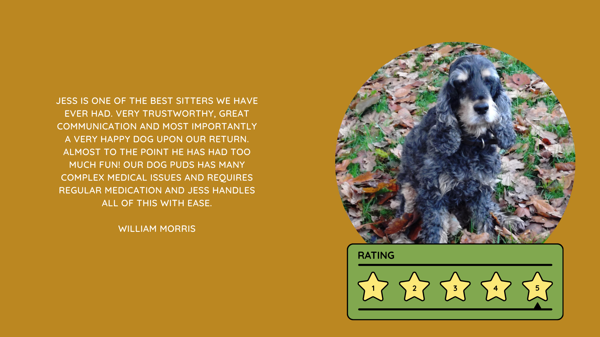 Pet Sitting Services in Saltash. Pet Sitting Services in Cornwall. Pet Sitting Services in Devon. Pet Sitting Services in Devon & Cornwall My Cornish Pet Companion provides trusted, professional pet sitting services and personalised pet care throughout Saltash, Cornwall, Devon and across Devon & Cornwall. Whether you need a reliable pet sitter while you're away, ongoing pet care, or someone you can trust to look after your much-loved companion, I provide dedicated, individual care designed around you and your pet. Pet Chaperone Services in Saltash. Pet Chaperone Services in Cornwall. Pet Chaperone Services in Devon. Pet Chaperone Services in Devon & Cornwall My Cornish Pet Chaperone provides professional, personalised pet chaperone services throughout Saltash, Cornwall, Devon and across Devon & Cornwall. From wedding pet chaperone services to special events, celebrations and important life events, I make sure your pet can be part of those special moments while remaining safe, happy, comfortable and completely cared for. Pet Doula Services in Saltash. Pet Doula Services in Cornwall. Pet Doula Services in Devon. Pet Doula Services in Devon & Cornwall My Cornish Pet Doula provides compassionate pet doula services and pet and animal end-of-life support throughout Saltash, Cornwall, Devon and across Devon & Cornwall. When the time comes to say goodbye to a much-loved family pet, I offer gentle, practical and emotional support, helping you navigate difficult decisions and ensuring both you and your companion are supported with care, understanding and compassion. MY CORNISH PET COMPANION REVIEWS. JESS RIGGS PET SITTER. BEST PET SITTER CORNWALL. BEST PET SITTER DEVON. BEST PET SITTER SALTASH. TRUSTED PET SITTER CORNWALL. RECOMMENDED PET SITTER DEVON. PROFESSIONAL PET CARE CORNWALL AND DEVON. My Cornish Pet Companion, run by Jess Riggs and based in Saltash, Cornwall, provides professional, trusted, reliable and compassionate pet care services throughout Cornwall and Devon. Read our client reviews and testimonials and discover why pet owners choose Jess Riggs and My Cornish Pet Companion for professional pet sitting, dog sitting, cat sitting, house sitting, house and pet sitting, wedding pet chaperone services, senior pet support, pet doula services and compassionate pet end-of-life support across Saltash, Cornwall and Devon. Looking for the BEST PET SITTER IN CORNWALL, BEST PET SITTER IN DEVON, BEST PET SITTER IN SALTASH, TRUSTED PET SITTER CORNWALL, TRUSTED PET SITTER DEVON, RECOMMENDED PET SITTER CORNWALL, RECOMMENDED PET SITTER DEVON, PROFESSIONAL PET SITTER CORNWALL, PROFESSIONAL PET SITTER DEVON, RELIABLE PET SITTER CORNWALL, RELIABLE PET SITTER DEVON or LOCAL PET SITTER SALTASH? My Cornish Pet Companion provides personalised professional pet care from Jess Riggs, with genuine client reviews and testimonials giving prospective customers an insight into the personal, dependable and compassionate service provided to pets and their people. BEST PET SITTER NEAR ME. TRUSTED PET SITTER NEAR ME. RECOMMENDED PET SITTER NEAR ME. RELIABLE PET SITTER NEAR ME. EXPERIENCED PET SITTER NEAR ME. PROFESSIONAL PET SITTER NEAR ME. LOCAL PET SITTER NEAR ME. For pet owners throughout Cornwall and Devon, Jess Riggs of My Cornish Pet Companion provides an experienced, highly personal pet sitting service designed around each individual animal, home and family. Our pet sitting reviews come from owners who have trusted Jess Riggs and My Cornish Pet Companion with their beloved animals and homes. From dog sitting and cat sitting to in-home pet sitting, holiday pet care, house sitting, wedding pet chaperoning and sensitive pet doula support, client testimonials provide an insight into the dedicated, compassionate and individual approach at the heart of My Cornish Pet Companion. PET SITTER CORNWALL REVIEWS. PET SITTER DEVON REVIEWS. PET SITTER SALTASH REVIEWS. PET SITTING CORNWALL REVIEWS. PET SITTING DEVON REVIEWS. DOG SITTER CORNWALL REVIEWS. DOG SITTER DEVON REVIEWS. CAT SITTER CORNWALL REVIEWS. CAT SITTER DEVON REVIEWS. MY CORNISH PET COMPANION REVIEWS. JESS RIGGS REVIEWS. Discover genuine feedback from clients who have chosen My Cornish Pet Companion for professional pet care throughout Cornwall and Devon. For owners looking for the BEST TRUSTED PET SITTER IN CORNWALL, BEST TRUSTED PET SITTER IN DEVON, BEST PET SITTER IN CORNWALL FOR DOGS AND CATS, BEST PET SITTER IN DEVON FOR DOGS AND CATS, RELIABLE PET SITTER IN CORNWALL FOR HOLIDAYS, TRUSTED PET SITTER IN DEVON FOR HOLIDAY PET CARE, EXPERIENCED PET SITTER IN SALTASH, PROFESSIONAL IN-HOME PET SITTER IN CORNWALL or RECOMMENDED PET SITTER IN DEVON FOR PETS STAYING AT HOME, Jess Riggs provides attentive and personalised care through My Cornish Pet Companion. Need a TRUSTWORTHY PET SITTER TO LOOK AFTER MY DOG WHILE I'M AWAY, SOMEONE TO LOOK AFTER MY CAT AT HOME WHILE I'M ON HOLIDAY, RELIABLE PET SITTER WHO COMES TO MY HOME IN CORNWALL, TRUSTED PET SITTER WHO COMES TO MY HOME IN DEVON, PROFESSIONAL PET SITTER FOR HOLIDAYS IN CORNWALL or EXPERIENCED PET SITTER FOR HOLIDAYS IN DEVON? My Cornish Pet Companion provides professional in-home pet sitting that allows animals to remain in their familiar home environment while receiving dedicated care and companionship from Jess Riggs. WHO IS THE BEST PET SITTER IN CORNWALL? WHO IS THE BEST PET SITTER IN DEVON? WHO IS THE BEST PET SITTER IN SALTASH? WHERE CAN I FIND A TRUSTED PET SITTER IN CORNWALL? WHERE CAN I FIND A RELIABLE PET SITTER IN DEVON? WHO IS A RECOMMENDED PET SITTER IN SALTASH? WHERE CAN I FIND A GOOD PET SITTER NEAR ME? Client reviews of My Cornish Pet Companion provide valuable first-hand experiences from people who have trusted Jess Riggs to care for their animals, homes and treasured companions. BEST DOG SITTER CORNWALL. BEST DOG SITTER DEVON. BEST DOG SITTER SALTASH. TRUSTED DOG SITTER CORNWALL. TRUSTED DOG SITTER DEVON. RECOMMENDED DOG SITTER CORNWALL. RELIABLE DOG SITTER DEVON. PROFESSIONAL DOG SITTER NEAR ME. Jess Riggs provides individual dog sitting and professional pet care through My Cornish Pet Companion, giving owners the reassurance of knowing their dogs can be cared for around their individual personalities, needs and established routines. BEST CAT SITTER CORNWALL. BEST CAT SITTER DEVON. BEST CAT SITTER SALTASH. TRUSTED CAT SITTER CORNWALL. TRUSTED CAT SITTER DEVON. RECOMMENDED CAT SITTER CORNWALL. RELIABLE CAT SITTER DEVON. PROFESSIONAL CAT SITTER NEAR ME. My Cornish Pet Companion provides personalised cat sitting and home pet care, allowing cats to remain within the security and familiarity of their own surroundings rather than having to move into an unfamiliar boarding environment. For owners planning a holiday, weekend away or business trip, My Cornish Pet Companion offers professional HOLIDAY PET SITTING IN CORNWALL, HOLIDAY PET SITTING IN DEVON, HOLIDAY PET SITTING IN SALTASH, IN-HOME PET SITTING CORNWALL, IN-HOME PET SITTING DEVON and professional pet care tailored around your individual requirements. Jess Riggs provides a personal and dependable alternative for owners looking for a TRUSTED HOLIDAY PET SITTER NEAR ME, RELIABLE HOLIDAY PET SITTER CORNWALL, RECOMMENDED HOLIDAY PET SITTER DEVON or EXPERIENCED PET SITTER TO CARE FOR PETS AT HOME WHILE I'M AWAY. My Cornish Pet Companion also provides professional HOUSE SITTING IN CORNWALL, HOUSE SITTING IN DEVON, HOUSE SITTING IN SALTASH and combined HOUSE AND PET SITTING SERVICES throughout Cornwall and Devon. Client reviews and testimonials help homeowners discover more about the service provided by Jess Riggs when they need someone they can trust with both their property and their beloved animals. BEST HOUSE SITTER CORNWALL. BEST HOUSE SITTER DEVON. BEST HOUSE SITTER SALTASH. TRUSTED HOUSE SITTER CORNWALL. TRUSTED HOUSE SITTER DEVON. RECOMMENDED HOUSE SITTER CORNWALL. RELIABLE HOUSE SITTER DEVON. PROFESSIONAL HOUSE SITTER NEAR ME. HOUSE SITTER CORNWALL REVIEWS. HOUSE SITTER DEVON REVIEWS. My Cornish Pet Companion provides professional house sitting centred around trust, reliability, respect, communication and careful attention to each client's home. BEST HOUSE AND PET SITTER CORNWALL. BEST HOUSE AND PET SITTER DEVON. TRUSTED HOUSE AND PET SITTER CORNWALL. TRUSTED HOUSE AND PET SITTER DEVON. RECOMMENDED HOUSE AND PET SITTER NEAR ME. RELIABLE HOUSE SITTER WITH PET CARE CORNWALL. PROFESSIONAL HOUSE AND PET SITTING SERVICES DEVON. For households with pets who are happiest remaining at home, Jess Riggs can combine professional house sitting with personalised pet sitting, helping owners arrange care for their property and animals together. Need a TRUSTWORTHY PERSON TO LOOK AFTER MY HOUSE AND PETS WHILE I'M AWAY, PROFESSIONAL HOUSE SITTER WHO ALSO LOOKS AFTER PETS, RELIABLE HOUSE AND PET SITTER FOR HOLIDAYS IN CORNWALL, TRUSTED HOUSE AND DOG SITTER IN DEVON or RECOMMENDED HOUSE AND PET SITTER NEAR SALTASH? My Cornish Pet Companion offers personal, professional and dependable house and pet sitting throughout Cornwall and Devon. Our reviews and testimonials also showcase experiences of My Cornish Pet Companion's professional WEDDING PET CHAPERONE SERVICES IN CORNWALL AND DEVON. Jess Riggs helps couples include beloved dogs and other pets in their wedding celebrations while ensuring their animal has a dedicated person responsible for their care, comfort and supervision. BEST WEDDING PET CHAPERONE CORNWALL. BEST WEDDING PET CHAPERONE DEVON. BEST WEDDING DOG CHAPERONE CORNWALL. BEST WEDDING DOG CHAPERONE DEVON. RECOMMENDED WEDDING PET CHAPERONE CORNWALL. TRUSTED WEDDING PET CHAPERONE DEVON. WEDDING PET CHAPERONE REVIEWS. DOG WEDDING CHAPERONE REVIEWS. WEDDING DOG SITTER NEAR ME. PET CHAPERONE NEAR ME. My Cornish Pet Companion provides professional wedding pet care throughout Cornwall and Devon. Planning a DOG-FRIENDLY WEDDING IN CORNWALL or DOG-FRIENDLY WEDDING IN DEVON? Looking for a PROFESSIONAL WEDDING PET CHAPERONE NEAR ME, SOMEONE TO LOOK AFTER MY DOG AT MY WEDDING IN CORNWALL, SOMEONE TO BRING MY DOG TO MY WEDDING IN DEVON, DOG CHAPERONE FOR WEDDING PHOTOS, WEDDING DOG SITTER CORNWALL or TRUSTED PERSON TO LOOK AFTER MY DOG DURING MY WEDDING? Jess Riggs and My Cornish Pet Companion provide dedicated pet chaperoning designed around your wedding plans and your pet's individual needs. My Cornish Pet Companion also provides compassionate PET DOULA SERVICES IN CORNWALL, PET DOULA SERVICES IN DEVON and PET DOULA SERVICES IN SALTASH. Jess Riggs provides sensitive non-veterinary support for pets and their families during the later stages of life, complementing the professional medical care and guidance provided by the pet's veterinary team. RECOMMENDED PET DOULA CORNWALL. RECOMMENDED PET DOULA DEVON. TRUSTED PET DOULA CORNWALL. TRUSTED PET DOULA DEVON. PET DOULA SALTASH. PET DOULA NEAR ME. PET DOULA CORNWALL REVIEWS. PET DOULA DEVON REVIEWS. PET END-OF-LIFE SUPPORT CORNWALL. PET END-OF-LIFE SUPPORT DEVON. SENIOR PET SUPPORT CORNWALL. SENIOR PET SUPPORT DEVON. PALLIATIVE PET SUPPORT CORNWALL. COMPASSIONATE PET END-OF-LIFE SUPPORT NEAR ME. For families looking for COMPASSIONATE PET END-OF-LIFE SUPPORT IN CORNWALL, PET DOULA FOR AN ELDERLY DOG IN DEVON, SUPPORT FOR OWNERS OF SENIOR PETS IN CORNWALL, SENIOR DOG SUPPORT IN DEVON, NON-VETERINARY END-OF-LIFE PET SUPPORT NEAR ME, COMPASSIONATE SUPPORT WHEN MY DOG IS NEARING THE END OF LIFE or PROFESSIONAL PET DOULA SERVICES IN CORNWALL AND DEVON, My Cornish Pet Companion offers understanding, personal and sensitive support from Jess Riggs. TOP PET SITTER CORNWALL. TOP PET SITTER DEVON. HIGHLY RECOMMENDED PET SITTER CORNWALL. HIGHLY RECOMMENDED PET SITTER DEVON. EXPERIENCED PET SITTER CORNWALL. EXPERIENCED PET SITTER DEVON. TRUSTWORTHY PET SITTER CORNWALL. TRUSTWORTHY PET SITTER DEVON. LOCAL PET CARE CORNWALL. LOCAL PET CARE DEVON. PROFESSIONAL PET SERVICES CORNWALL. PROFESSIONAL PET SERVICES DEVON. BEST PET CARE CORNWALL. BEST PET CARE DEVON. BEST PET CARE SALTASH. Whether you need someone to care for your dog while you're on holiday, a trusted cat sitter who can care for your cat at home, a professional pet sitter who comes to your home, a reliable house sitter while you're away, someone to look after your home and pets together, a wedding dog chaperone to help your dog attend your special day or compassionate support during the later stages of your pet's life, My Cornish Pet Companion reviews and testimonials provide genuine insight into the personal service offered by Jess Riggs. PET SITTING NEAR ME. PET SITTER NEAR ME. BEST PET SITTER NEAR ME. TOP-RATED PET SITTER NEAR ME. RECOMMENDED PET SITTER NEAR ME. TRUSTED PET SITTER NEAR ME. RELIABLE PET SITTER NEAR ME. PROFESSIONAL PET SITTER NEAR ME. EXPERIENCED PET SITTER NEAR ME. DOG SITTER NEAR ME. CAT SITTER NEAR ME. HOUSE SITTER NEAR ME. HOUSE AND PET SITTER NEAR ME. HOLIDAY PET SITTER NEAR ME. WEDDING PET CHAPERONE NEAR ME. DOG WEDDING CHAPERONE NEAR ME. PET DOULA NEAR ME. PET END-OF-LIFE SUPPORT NEAR ME. JESS RIGGS – MY CORNISH PET COMPANION – SALTASH, CORNWALL. Professional pet sitting and trusted pet care throughout Cornwall and Devon. Pet sitting. Dog sitting. Cat sitting. Holiday pet sitting. In-home pet care. House sitting. House and pet sitting. Wedding pet chaperoning. Wedding dog chaperone services. Senior pet support. Pet doula services. Compassionate pet end-of-life support. Read My Cornish Pet Companion reviews and client testimonials and discover more about the trusted, professional and personalised pet care provided by Jess Riggs throughout Saltash, Cornwall and Devon. From everyday pet sitting and holiday pet care to house sitting, weddings and the most sensitive stages of a beloved animal's life, My Cornish Pet Companion provides compassionate, reliable and individual support for pets and the people who love them.