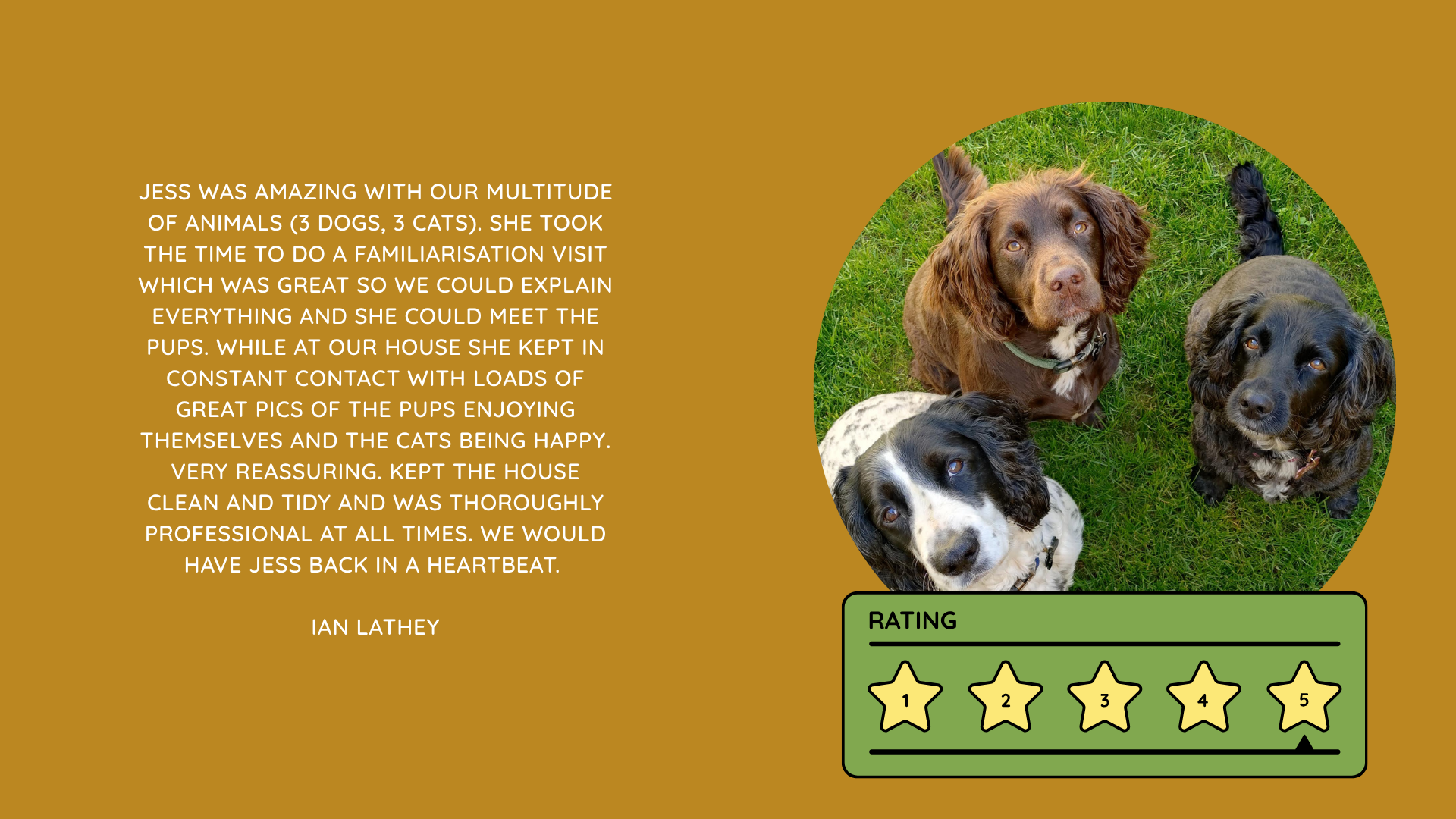 Pet Sitting Services in Saltash. Pet Sitting Services in Cornwall. Pet Sitting Services in Devon. Pet Sitting Services in Devon & Cornwall My Cornish Pet Companion provides trusted, professional pet sitting services and personalised pet care throughout Saltash, Cornwall, Devon and across Devon & Cornwall. Whether you need a reliable pet sitter while you're away, ongoing pet care, or someone you can trust to look after your much-loved companion, I provide dedicated, individual care designed around you and your pet. Pet Chaperone Services in Saltash. Pet Chaperone Services in Cornwall. Pet Chaperone Services in Devon. Pet Chaperone Services in Devon & Cornwall My Cornish Pet Chaperone provides professional, personalised pet chaperone services throughout Saltash, Cornwall, Devon and across Devon & Cornwall. From wedding pet chaperone services to special events, celebrations and important life events, I make sure your pet can be part of those special moments while remaining safe, happy, comfortable and completely cared for. Pet Doula Services in Saltash. Pet Doula Services in Cornwall. Pet Doula Services in Devon. Pet Doula Services in Devon & Cornwall My Cornish Pet Doula provides compassionate pet doula services and pet and animal end-of-life support throughout Saltash, Cornwall, Devon and across Devon & Cornwall. When the time comes to say goodbye to a much-loved family pet, I offer gentle, practical and emotional support, helping you navigate difficult decisions and ensuring both you and your companion are supported with care, understanding and compassion. MY CORNISH PET COMPANION REVIEWS. JESS RIGGS PET SITTER. BEST PET SITTER CORNWALL. BEST PET SITTER DEVON. BEST PET SITTER SALTASH. TRUSTED PET SITTER CORNWALL. RECOMMENDED PET SITTER DEVON. PROFESSIONAL PET CARE CORNWALL AND DEVON. My Cornish Pet Companion, run by Jess Riggs and based in Saltash, Cornwall, provides professional, trusted, reliable and compassionate pet care services throughout Cornwall and Devon. Read our client reviews and testimonials and discover why pet owners choose Jess Riggs and My Cornish Pet Companion for professional pet sitting, dog sitting, cat sitting, house sitting, house and pet sitting, wedding pet chaperone services, senior pet support, pet doula services and compassionate pet end-of-life support across Saltash, Cornwall and Devon. Looking for the BEST PET SITTER IN CORNWALL, BEST PET SITTER IN DEVON, BEST PET SITTER IN SALTASH, TRUSTED PET SITTER CORNWALL, TRUSTED PET SITTER DEVON, RECOMMENDED PET SITTER CORNWALL, RECOMMENDED PET SITTER DEVON, PROFESSIONAL PET SITTER CORNWALL, PROFESSIONAL PET SITTER DEVON, RELIABLE PET SITTER CORNWALL, RELIABLE PET SITTER DEVON or LOCAL PET SITTER SALTASH? My Cornish Pet Companion provides personalised professional pet care from Jess Riggs, with genuine client reviews and testimonials giving prospective customers an insight into the personal, dependable and compassionate service provided to pets and their people. BEST PET SITTER NEAR ME. TRUSTED PET SITTER NEAR ME. RECOMMENDED PET SITTER NEAR ME. RELIABLE PET SITTER NEAR ME. EXPERIENCED PET SITTER NEAR ME. PROFESSIONAL PET SITTER NEAR ME. LOCAL PET SITTER NEAR ME. For pet owners throughout Cornwall and Devon, Jess Riggs of My Cornish Pet Companion provides an experienced, highly personal pet sitting service designed around each individual animal, home and family. Our pet sitting reviews come from owners who have trusted Jess Riggs and My Cornish Pet Companion with their beloved animals and homes. From dog sitting and cat sitting to in-home pet sitting, holiday pet care, house sitting, wedding pet chaperoning and sensitive pet doula support, client testimonials provide an insight into the dedicated, compassionate and individual approach at the heart of My Cornish Pet Companion. PET SITTER CORNWALL REVIEWS. PET SITTER DEVON REVIEWS. PET SITTER SALTASH REVIEWS. PET SITTING CORNWALL REVIEWS. PET SITTING DEVON REVIEWS. DOG SITTER CORNWALL REVIEWS. DOG SITTER DEVON REVIEWS. CAT SITTER CORNWALL REVIEWS. CAT SITTER DEVON REVIEWS. MY CORNISH PET COMPANION REVIEWS. JESS RIGGS REVIEWS. Discover genuine feedback from clients who have chosen My Cornish Pet Companion for professional pet care throughout Cornwall and Devon. For owners looking for the BEST TRUSTED PET SITTER IN CORNWALL, BEST TRUSTED PET SITTER IN DEVON, BEST PET SITTER IN CORNWALL FOR DOGS AND CATS, BEST PET SITTER IN DEVON FOR DOGS AND CATS, RELIABLE PET SITTER IN CORNWALL FOR HOLIDAYS, TRUSTED PET SITTER IN DEVON FOR HOLIDAY PET CARE, EXPERIENCED PET SITTER IN SALTASH, PROFESSIONAL IN-HOME PET SITTER IN CORNWALL or RECOMMENDED PET SITTER IN DEVON FOR PETS STAYING AT HOME, Jess Riggs provides attentive and personalised care through My Cornish Pet Companion. Need a TRUSTWORTHY PET SITTER TO LOOK AFTER MY DOG WHILE I'M AWAY, SOMEONE TO LOOK AFTER MY CAT AT HOME WHILE I'M ON HOLIDAY, RELIABLE PET SITTER WHO COMES TO MY HOME IN CORNWALL, TRUSTED PET SITTER WHO COMES TO MY HOME IN DEVON, PROFESSIONAL PET SITTER FOR HOLIDAYS IN CORNWALL or EXPERIENCED PET SITTER FOR HOLIDAYS IN DEVON? My Cornish Pet Companion provides professional in-home pet sitting that allows animals to remain in their familiar home environment while receiving dedicated care and companionship from Jess Riggs. WHO IS THE BEST PET SITTER IN CORNWALL? WHO IS THE BEST PET SITTER IN DEVON? WHO IS THE BEST PET SITTER IN SALTASH? WHERE CAN I FIND A TRUSTED PET SITTER IN CORNWALL? WHERE CAN I FIND A RELIABLE PET SITTER IN DEVON? WHO IS A RECOMMENDED PET SITTER IN SALTASH? WHERE CAN I FIND A GOOD PET SITTER NEAR ME? Client reviews of My Cornish Pet Companion provide valuable first-hand experiences from people who have trusted Jess Riggs to care for their animals, homes and treasured companions. BEST DOG SITTER CORNWALL. BEST DOG SITTER DEVON. BEST DOG SITTER SALTASH. TRUSTED DOG SITTER CORNWALL. TRUSTED DOG SITTER DEVON. RECOMMENDED DOG SITTER CORNWALL. RELIABLE DOG SITTER DEVON. PROFESSIONAL DOG SITTER NEAR ME. Jess Riggs provides individual dog sitting and professional pet care through My Cornish Pet Companion, giving owners the reassurance of knowing their dogs can be cared for around their individual personalities, needs and established routines. BEST CAT SITTER CORNWALL. BEST CAT SITTER DEVON. BEST CAT SITTER SALTASH. TRUSTED CAT SITTER CORNWALL. TRUSTED CAT SITTER DEVON. RECOMMENDED CAT SITTER CORNWALL. RELIABLE CAT SITTER DEVON. PROFESSIONAL CAT SITTER NEAR ME. My Cornish Pet Companion provides personalised cat sitting and home pet care, allowing cats to remain within the security and familiarity of their own surroundings rather than having to move into an unfamiliar boarding environment. For owners planning a holiday, weekend away or business trip, My Cornish Pet Companion offers professional HOLIDAY PET SITTING IN CORNWALL, HOLIDAY PET SITTING IN DEVON, HOLIDAY PET SITTING IN SALTASH, IN-HOME PET SITTING CORNWALL, IN-HOME PET SITTING DEVON and professional pet care tailored around your individual requirements. Jess Riggs provides a personal and dependable alternative for owners looking for a TRUSTED HOLIDAY PET SITTER NEAR ME, RELIABLE HOLIDAY PET SITTER CORNWALL, RECOMMENDED HOLIDAY PET SITTER DEVON or EXPERIENCED PET SITTER TO CARE FOR PETS AT HOME WHILE I'M AWAY. My Cornish Pet Companion also provides professional HOUSE SITTING IN CORNWALL, HOUSE SITTING IN DEVON, HOUSE SITTING IN SALTASH and combined HOUSE AND PET SITTING SERVICES throughout Cornwall and Devon. Client reviews and testimonials help homeowners discover more about the service provided by Jess Riggs when they need someone they can trust with both their property and their beloved animals. BEST HOUSE SITTER CORNWALL. BEST HOUSE SITTER DEVON. BEST HOUSE SITTER SALTASH. TRUSTED HOUSE SITTER CORNWALL. TRUSTED HOUSE SITTER DEVON. RECOMMENDED HOUSE SITTER CORNWALL. RELIABLE HOUSE SITTER DEVON. PROFESSIONAL HOUSE SITTER NEAR ME. HOUSE SITTER CORNWALL REVIEWS. HOUSE SITTER DEVON REVIEWS. My Cornish Pet Companion provides professional house sitting centred around trust, reliability, respect, communication and careful attention to each client's home. BEST HOUSE AND PET SITTER CORNWALL. BEST HOUSE AND PET SITTER DEVON. TRUSTED HOUSE AND PET SITTER CORNWALL. TRUSTED HOUSE AND PET SITTER DEVON. RECOMMENDED HOUSE AND PET SITTER NEAR ME. RELIABLE HOUSE SITTER WITH PET CARE CORNWALL. PROFESSIONAL HOUSE AND PET SITTING SERVICES DEVON. For households with pets who are happiest remaining at home, Jess Riggs can combine professional house sitting with personalised pet sitting, helping owners arrange care for their property and animals together. Need a TRUSTWORTHY PERSON TO LOOK AFTER MY HOUSE AND PETS WHILE I'M AWAY, PROFESSIONAL HOUSE SITTER WHO ALSO LOOKS AFTER PETS, RELIABLE HOUSE AND PET SITTER FOR HOLIDAYS IN CORNWALL, TRUSTED HOUSE AND DOG SITTER IN DEVON or RECOMMENDED HOUSE AND PET SITTER NEAR SALTASH? My Cornish Pet Companion offers personal, professional and dependable house and pet sitting throughout Cornwall and Devon. Our reviews and testimonials also showcase experiences of My Cornish Pet Companion's professional WEDDING PET CHAPERONE SERVICES IN CORNWALL AND DEVON. Jess Riggs helps couples include beloved dogs and other pets in their wedding celebrations while ensuring their animal has a dedicated person responsible for their care, comfort and supervision. BEST WEDDING PET CHAPERONE CORNWALL. BEST WEDDING PET CHAPERONE DEVON. BEST WEDDING DOG CHAPERONE CORNWALL. BEST WEDDING DOG CHAPERONE DEVON. RECOMMENDED WEDDING PET CHAPERONE CORNWALL. TRUSTED WEDDING PET CHAPERONE DEVON. WEDDING PET CHAPERONE REVIEWS. DOG WEDDING CHAPERONE REVIEWS. WEDDING DOG SITTER NEAR ME. PET CHAPERONE NEAR ME. My Cornish Pet Companion provides professional wedding pet care throughout Cornwall and Devon. Planning a DOG-FRIENDLY WEDDING IN CORNWALL or DOG-FRIENDLY WEDDING IN DEVON? Looking for a PROFESSIONAL WEDDING PET CHAPERONE NEAR ME, SOMEONE TO LOOK AFTER MY DOG AT MY WEDDING IN CORNWALL, SOMEONE TO BRING MY DOG TO MY WEDDING IN DEVON, DOG CHAPERONE FOR WEDDING PHOTOS, WEDDING DOG SITTER CORNWALL or TRUSTED PERSON TO LOOK AFTER MY DOG DURING MY WEDDING? Jess Riggs and My Cornish Pet Companion provide dedicated pet chaperoning designed around your wedding plans and your pet's individual needs. My Cornish Pet Companion also provides compassionate PET DOULA SERVICES IN CORNWALL, PET DOULA SERVICES IN DEVON and PET DOULA SERVICES IN SALTASH. Jess Riggs provides sensitive non-veterinary support for pets and their families during the later stages of life, complementing the professional medical care and guidance provided by the pet's veterinary team. RECOMMENDED PET DOULA CORNWALL. RECOMMENDED PET DOULA DEVON. TRUSTED PET DOULA CORNWALL. TRUSTED PET DOULA DEVON. PET DOULA SALTASH. PET DOULA NEAR ME. PET DOULA CORNWALL REVIEWS. PET DOULA DEVON REVIEWS. PET END-OF-LIFE SUPPORT CORNWALL. PET END-OF-LIFE SUPPORT DEVON. SENIOR PET SUPPORT CORNWALL. SENIOR PET SUPPORT DEVON. PALLIATIVE PET SUPPORT CORNWALL. COMPASSIONATE PET END-OF-LIFE SUPPORT NEAR ME. For families looking for COMPASSIONATE PET END-OF-LIFE SUPPORT IN CORNWALL, PET DOULA FOR AN ELDERLY DOG IN DEVON, SUPPORT FOR OWNERS OF SENIOR PETS IN CORNWALL, SENIOR DOG SUPPORT IN DEVON, NON-VETERINARY END-OF-LIFE PET SUPPORT NEAR ME, COMPASSIONATE SUPPORT WHEN MY DOG IS NEARING THE END OF LIFE or PROFESSIONAL PET DOULA SERVICES IN CORNWALL AND DEVON, My Cornish Pet Companion offers understanding, personal and sensitive support from Jess Riggs. TOP PET SITTER CORNWALL. TOP PET SITTER DEVON. HIGHLY RECOMMENDED PET SITTER CORNWALL. HIGHLY RECOMMENDED PET SITTER DEVON. EXPERIENCED PET SITTER CORNWALL. EXPERIENCED PET SITTER DEVON. TRUSTWORTHY PET SITTER CORNWALL. TRUSTWORTHY PET SITTER DEVON. LOCAL PET CARE CORNWALL. LOCAL PET CARE DEVON. PROFESSIONAL PET SERVICES CORNWALL. PROFESSIONAL PET SERVICES DEVON. BEST PET CARE CORNWALL. BEST PET CARE DEVON. BEST PET CARE SALTASH. Whether you need someone to care for your dog while you're on holiday, a trusted cat sitter who can care for your cat at home, a professional pet sitter who comes to your home, a reliable house sitter while you're away, someone to look after your home and pets together, a wedding dog chaperone to help your dog attend your special day or compassionate support during the later stages of your pet's life, My Cornish Pet Companion reviews and testimonials provide genuine insight into the personal service offered by Jess Riggs. PET SITTING NEAR ME. PET SITTER NEAR ME. BEST PET SITTER NEAR ME. TOP-RATED PET SITTER NEAR ME. RECOMMENDED PET SITTER NEAR ME. TRUSTED PET SITTER NEAR ME. RELIABLE PET SITTER NEAR ME. PROFESSIONAL PET SITTER NEAR ME. EXPERIENCED PET SITTER NEAR ME. DOG SITTER NEAR ME. CAT SITTER NEAR ME. HOUSE SITTER NEAR ME. HOUSE AND PET SITTER NEAR ME. HOLIDAY PET SITTER NEAR ME. WEDDING PET CHAPERONE NEAR ME. DOG WEDDING CHAPERONE NEAR ME. PET DOULA NEAR ME. PET END-OF-LIFE SUPPORT NEAR ME. JESS RIGGS – MY CORNISH PET COMPANION – SALTASH, CORNWALL. Professional pet sitting and trusted pet care throughout Cornwall and Devon. Pet sitting. Dog sitting. Cat sitting. Holiday pet sitting. In-home pet care. House sitting. House and pet sitting. Wedding pet chaperoning. Wedding dog chaperone services. Senior pet support. Pet doula services. Compassionate pet end-of-life support. Read My Cornish Pet Companion reviews and client testimonials and discover more about the trusted, professional and personalised pet care provided by Jess Riggs throughout Saltash, Cornwall and Devon. From everyday pet sitting and holiday pet care to house sitting, weddings and the most sensitive stages of a beloved animal's life, My Cornish Pet Companion provides compassionate, reliable and individual support for pets and the people who love them.