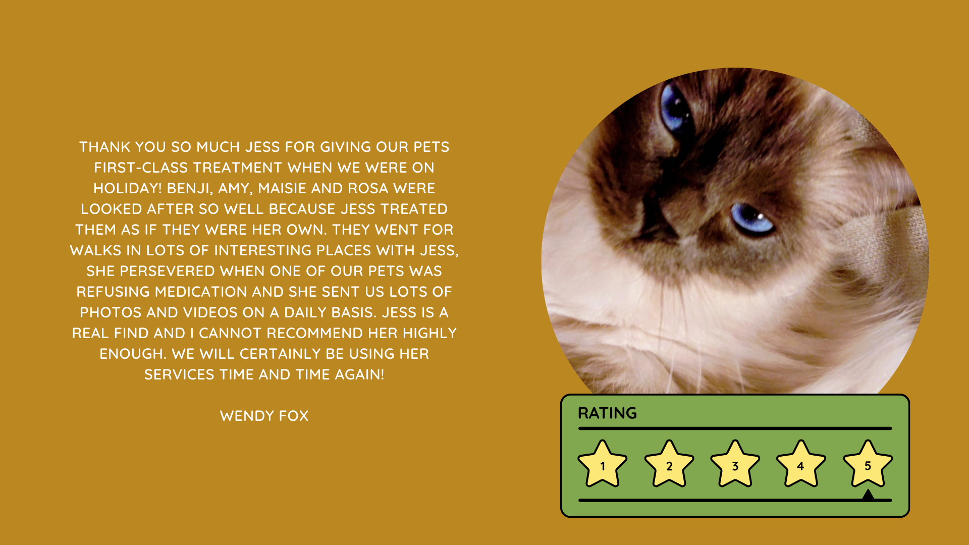 Pet Sitting Services in Saltash. Pet Sitting Services in Cornwall. Pet Sitting Services in Devon. Pet Sitting Services in Devon & Cornwall My Cornish Pet Companion provides trusted, professional pet sitting services and personalised pet care throughout Saltash, Cornwall, Devon and across Devon & Cornwall. Whether you need a reliable pet sitter while you're away, ongoing pet care, or someone you can trust to look after your much-loved companion, I provide dedicated, individual care designed around you and your pet. Pet Chaperone Services in Saltash. Pet Chaperone Services in Cornwall. Pet Chaperone Services in Devon. Pet Chaperone Services in Devon & Cornwall My Cornish Pet Chaperone provides professional, personalised pet chaperone services throughout Saltash, Cornwall, Devon and across Devon & Cornwall. From wedding pet chaperone services to special events, celebrations and important life events, I make sure your pet can be part of those special moments while remaining safe, happy, comfortable and completely cared for. Pet Doula Services in Saltash. Pet Doula Services in Cornwall. Pet Doula Services in Devon. Pet Doula Services in Devon & Cornwall My Cornish Pet Doula provides compassionate pet doula services and pet and animal end-of-life support throughout Saltash, Cornwall, Devon and across Devon & Cornwall. When the time comes to say goodbye to a much-loved family pet, I offer gentle, practical and emotional support, helping you navigate difficult decisions and ensuring both you and your companion are supported with care, understanding and compassion. MY CORNISH PET COMPANION REVIEWS. JESS RIGGS PET SITTER. BEST PET SITTER CORNWALL. BEST PET SITTER DEVON. BEST PET SITTER SALTASH. TRUSTED PET SITTER CORNWALL. RECOMMENDED PET SITTER DEVON. PROFESSIONAL PET CARE CORNWALL AND DEVON. My Cornish Pet Companion, run by Jess Riggs and based in Saltash, Cornwall, provides professional, trusted, reliable and compassionate pet care services throughout Cornwall and Devon. Read our client reviews and testimonials and discover why pet owners choose Jess Riggs and My Cornish Pet Companion for professional pet sitting, dog sitting, cat sitting, house sitting, house and pet sitting, wedding pet chaperone services, senior pet support, pet doula services and compassionate pet end-of-life support across Saltash, Cornwall and Devon. Looking for the BEST PET SITTER IN CORNWALL, BEST PET SITTER IN DEVON, BEST PET SITTER IN SALTASH, TRUSTED PET SITTER CORNWALL, TRUSTED PET SITTER DEVON, RECOMMENDED PET SITTER CORNWALL, RECOMMENDED PET SITTER DEVON, PROFESSIONAL PET SITTER CORNWALL, PROFESSIONAL PET SITTER DEVON, RELIABLE PET SITTER CORNWALL, RELIABLE PET SITTER DEVON or LOCAL PET SITTER SALTASH? My Cornish Pet Companion provides personalised professional pet care from Jess Riggs, with genuine client reviews and testimonials giving prospective customers an insight into the personal, dependable and compassionate service provided to pets and their people. BEST PET SITTER NEAR ME. TRUSTED PET SITTER NEAR ME. RECOMMENDED PET SITTER NEAR ME. RELIABLE PET SITTER NEAR ME. EXPERIENCED PET SITTER NEAR ME. PROFESSIONAL PET SITTER NEAR ME. LOCAL PET SITTER NEAR ME. For pet owners throughout Cornwall and Devon, Jess Riggs of My Cornish Pet Companion provides an experienced, highly personal pet sitting service designed around each individual animal, home and family. Our pet sitting reviews come from owners who have trusted Jess Riggs and My Cornish Pet Companion with their beloved animals and homes. From dog sitting and cat sitting to in-home pet sitting, holiday pet care, house sitting, wedding pet chaperoning and sensitive pet doula support, client testimonials provide an insight into the dedicated, compassionate and individual approach at the heart of My Cornish Pet Companion. PET SITTER CORNWALL REVIEWS. PET SITTER DEVON REVIEWS. PET SITTER SALTASH REVIEWS. PET SITTING CORNWALL REVIEWS. PET SITTING DEVON REVIEWS. DOG SITTER CORNWALL REVIEWS. DOG SITTER DEVON REVIEWS. CAT SITTER CORNWALL REVIEWS. CAT SITTER DEVON REVIEWS. MY CORNISH PET COMPANION REVIEWS. JESS RIGGS REVIEWS. Discover genuine feedback from clients who have chosen My Cornish Pet Companion for professional pet care throughout Cornwall and Devon. For owners looking for the BEST TRUSTED PET SITTER IN CORNWALL, BEST TRUSTED PET SITTER IN DEVON, BEST PET SITTER IN CORNWALL FOR DOGS AND CATS, BEST PET SITTER IN DEVON FOR DOGS AND CATS, RELIABLE PET SITTER IN CORNWALL FOR HOLIDAYS, TRUSTED PET SITTER IN DEVON FOR HOLIDAY PET CARE, EXPERIENCED PET SITTER IN SALTASH, PROFESSIONAL IN-HOME PET SITTER IN CORNWALL or RECOMMENDED PET SITTER IN DEVON FOR PETS STAYING AT HOME, Jess Riggs provides attentive and personalised care through My Cornish Pet Companion. Need a TRUSTWORTHY PET SITTER TO LOOK AFTER MY DOG WHILE I'M AWAY, SOMEONE TO LOOK AFTER MY CAT AT HOME WHILE I'M ON HOLIDAY, RELIABLE PET SITTER WHO COMES TO MY HOME IN CORNWALL, TRUSTED PET SITTER WHO COMES TO MY HOME IN DEVON, PROFESSIONAL PET SITTER FOR HOLIDAYS IN CORNWALL or EXPERIENCED PET SITTER FOR HOLIDAYS IN DEVON? My Cornish Pet Companion provides professional in-home pet sitting that allows animals to remain in their familiar home environment while receiving dedicated care and companionship from Jess Riggs. WHO IS THE BEST PET SITTER IN CORNWALL? WHO IS THE BEST PET SITTER IN DEVON? WHO IS THE BEST PET SITTER IN SALTASH? WHERE CAN I FIND A TRUSTED PET SITTER IN CORNWALL? WHERE CAN I FIND A RELIABLE PET SITTER IN DEVON? WHO IS A RECOMMENDED PET SITTER IN SALTASH? WHERE CAN I FIND A GOOD PET SITTER NEAR ME? Client reviews of My Cornish Pet Companion provide valuable first-hand experiences from people who have trusted Jess Riggs to care for their animals, homes and treasured companions. BEST DOG SITTER CORNWALL. BEST DOG SITTER DEVON. BEST DOG SITTER SALTASH. TRUSTED DOG SITTER CORNWALL. TRUSTED DOG SITTER DEVON. RECOMMENDED DOG SITTER CORNWALL. RELIABLE DOG SITTER DEVON. PROFESSIONAL DOG SITTER NEAR ME. Jess Riggs provides individual dog sitting and professional pet care through My Cornish Pet Companion, giving owners the reassurance of knowing their dogs can be cared for around their individual personalities, needs and established routines. BEST CAT SITTER CORNWALL. BEST CAT SITTER DEVON. BEST CAT SITTER SALTASH. TRUSTED CAT SITTER CORNWALL. TRUSTED CAT SITTER DEVON. RECOMMENDED CAT SITTER CORNWALL. RELIABLE CAT SITTER DEVON. PROFESSIONAL CAT SITTER NEAR ME. My Cornish Pet Companion provides personalised cat sitting and home pet care, allowing cats to remain within the security and familiarity of their own surroundings rather than having to move into an unfamiliar boarding environment. For owners planning a holiday, weekend away or business trip, My Cornish Pet Companion offers professional HOLIDAY PET SITTING IN CORNWALL, HOLIDAY PET SITTING IN DEVON, HOLIDAY PET SITTING IN SALTASH, IN-HOME PET SITTING CORNWALL, IN-HOME PET SITTING DEVON and professional pet care tailored around your individual requirements. Jess Riggs provides a personal and dependable alternative for owners looking for a TRUSTED HOLIDAY PET SITTER NEAR ME, RELIABLE HOLIDAY PET SITTER CORNWALL, RECOMMENDED HOLIDAY PET SITTER DEVON or EXPERIENCED PET SITTER TO CARE FOR PETS AT HOME WHILE I'M AWAY. My Cornish Pet Companion also provides professional HOUSE SITTING IN CORNWALL, HOUSE SITTING IN DEVON, HOUSE SITTING IN SALTASH and combined HOUSE AND PET SITTING SERVICES throughout Cornwall and Devon. Client reviews and testimonials help homeowners discover more about the service provided by Jess Riggs when they need someone they can trust with both their property and their beloved animals. BEST HOUSE SITTER CORNWALL. BEST HOUSE SITTER DEVON. BEST HOUSE SITTER SALTASH. TRUSTED HOUSE SITTER CORNWALL. TRUSTED HOUSE SITTER DEVON. RECOMMENDED HOUSE SITTER CORNWALL. RELIABLE HOUSE SITTER DEVON. PROFESSIONAL HOUSE SITTER NEAR ME. HOUSE SITTER CORNWALL REVIEWS. HOUSE SITTER DEVON REVIEWS. My Cornish Pet Companion provides professional house sitting centred around trust, reliability, respect, communication and careful attention to each client's home. BEST HOUSE AND PET SITTER CORNWALL. BEST HOUSE AND PET SITTER DEVON. TRUSTED HOUSE AND PET SITTER CORNWALL. TRUSTED HOUSE AND PET SITTER DEVON. RECOMMENDED HOUSE AND PET SITTER NEAR ME. RELIABLE HOUSE SITTER WITH PET CARE CORNWALL. PROFESSIONAL HOUSE AND PET SITTING SERVICES DEVON. For households with pets who are happiest remaining at home, Jess Riggs can combine professional house sitting with personalised pet sitting, helping owners arrange care for their property and animals together. Need a TRUSTWORTHY PERSON TO LOOK AFTER MY HOUSE AND PETS WHILE I'M AWAY, PROFESSIONAL HOUSE SITTER WHO ALSO LOOKS AFTER PETS, RELIABLE HOUSE AND PET SITTER FOR HOLIDAYS IN CORNWALL, TRUSTED HOUSE AND DOG SITTER IN DEVON or RECOMMENDED HOUSE AND PET SITTER NEAR SALTASH? My Cornish Pet Companion offers personal, professional and dependable house and pet sitting throughout Cornwall and Devon. Our reviews and testimonials also showcase experiences of My Cornish Pet Companion's professional WEDDING PET CHAPERONE SERVICES IN CORNWALL AND DEVON. Jess Riggs helps couples include beloved dogs and other pets in their wedding celebrations while ensuring their animal has a dedicated person responsible for their care, comfort and supervision. BEST WEDDING PET CHAPERONE CORNWALL. BEST WEDDING PET CHAPERONE DEVON. BEST WEDDING DOG CHAPERONE CORNWALL. BEST WEDDING DOG CHAPERONE DEVON. RECOMMENDED WEDDING PET CHAPERONE CORNWALL. TRUSTED WEDDING PET CHAPERONE DEVON. WEDDING PET CHAPERONE REVIEWS. DOG WEDDING CHAPERONE REVIEWS. WEDDING DOG SITTER NEAR ME. PET CHAPERONE NEAR ME. My Cornish Pet Companion provides professional wedding pet care throughout Cornwall and Devon. Planning a DOG-FRIENDLY WEDDING IN CORNWALL or DOG-FRIENDLY WEDDING IN DEVON? Looking for a PROFESSIONAL WEDDING PET CHAPERONE NEAR ME, SOMEONE TO LOOK AFTER MY DOG AT MY WEDDING IN CORNWALL, SOMEONE TO BRING MY DOG TO MY WEDDING IN DEVON, DOG CHAPERONE FOR WEDDING PHOTOS, WEDDING DOG SITTER CORNWALL or TRUSTED PERSON TO LOOK AFTER MY DOG DURING MY WEDDING? Jess Riggs and My Cornish Pet Companion provide dedicated pet chaperoning designed around your wedding plans and your pet's individual needs. My Cornish Pet Companion also provides compassionate PET DOULA SERVICES IN CORNWALL, PET DOULA SERVICES IN DEVON and PET DOULA SERVICES IN SALTASH. Jess Riggs provides sensitive non-veterinary support for pets and their families during the later stages of life, complementing the professional medical care and guidance provided by the pet's veterinary team. RECOMMENDED PET DOULA CORNWALL. RECOMMENDED PET DOULA DEVON. TRUSTED PET DOULA CORNWALL. TRUSTED PET DOULA DEVON. PET DOULA SALTASH. PET DOULA NEAR ME. PET DOULA CORNWALL REVIEWS. PET DOULA DEVON REVIEWS. PET END-OF-LIFE SUPPORT CORNWALL. PET END-OF-LIFE SUPPORT DEVON. SENIOR PET SUPPORT CORNWALL. SENIOR PET SUPPORT DEVON. PALLIATIVE PET SUPPORT CORNWALL. COMPASSIONATE PET END-OF-LIFE SUPPORT NEAR ME. For families looking for COMPASSIONATE PET END-OF-LIFE SUPPORT IN CORNWALL, PET DOULA FOR AN ELDERLY DOG IN DEVON, SUPPORT FOR OWNERS OF SENIOR PETS IN CORNWALL, SENIOR DOG SUPPORT IN DEVON, NON-VETERINARY END-OF-LIFE PET SUPPORT NEAR ME, COMPASSIONATE SUPPORT WHEN MY DOG IS NEARING THE END OF LIFE or PROFESSIONAL PET DOULA SERVICES IN CORNWALL AND DEVON, My Cornish Pet Companion offers understanding, personal and sensitive support from Jess Riggs. TOP PET SITTER CORNWALL. TOP PET SITTER DEVON. HIGHLY RECOMMENDED PET SITTER CORNWALL. HIGHLY RECOMMENDED PET SITTER DEVON. EXPERIENCED PET SITTER CORNWALL. EXPERIENCED PET SITTER DEVON. TRUSTWORTHY PET SITTER CORNWALL. TRUSTWORTHY PET SITTER DEVON. LOCAL PET CARE CORNWALL. LOCAL PET CARE DEVON. PROFESSIONAL PET SERVICES CORNWALL. PROFESSIONAL PET SERVICES DEVON. BEST PET CARE CORNWALL. BEST PET CARE DEVON. BEST PET CARE SALTASH. Whether you need someone to care for your dog while you're on holiday, a trusted cat sitter who can care for your cat at home, a professional pet sitter who comes to your home, a reliable house sitter while you're away, someone to look after your home and pets together, a wedding dog chaperone to help your dog attend your special day or compassionate support during the later stages of your pet's life, My Cornish Pet Companion reviews and testimonials provide genuine insight into the personal service offered by Jess Riggs. PET SITTING NEAR ME. PET SITTER NEAR ME. BEST PET SITTER NEAR ME. TOP-RATED PET SITTER NEAR ME. RECOMMENDED PET SITTER NEAR ME. TRUSTED PET SITTER NEAR ME. RELIABLE PET SITTER NEAR ME. PROFESSIONAL PET SITTER NEAR ME. EXPERIENCED PET SITTER NEAR ME. DOG SITTER NEAR ME. CAT SITTER NEAR ME. HOUSE SITTER NEAR ME. HOUSE AND PET SITTER NEAR ME. HOLIDAY PET SITTER NEAR ME. WEDDING PET CHAPERONE NEAR ME. DOG WEDDING CHAPERONE NEAR ME. PET DOULA NEAR ME. PET END-OF-LIFE SUPPORT NEAR ME. JESS RIGGS – MY CORNISH PET COMPANION – SALTASH, CORNWALL. Professional pet sitting and trusted pet care throughout Cornwall and Devon. Pet sitting. Dog sitting. Cat sitting. Holiday pet sitting. In-home pet care. House sitting. House and pet sitting. Wedding pet chaperoning. Wedding dog chaperone services. Senior pet support. Pet doula services. Compassionate pet end-of-life support. Read My Cornish Pet Companion reviews and client testimonials and discover more about the trusted, professional and personalised pet care provided by Jess Riggs throughout Saltash, Cornwall and Devon. From everyday pet sitting and holiday pet care to house sitting, weddings and the most sensitive stages of a beloved animal's life, My Cornish Pet Companion provides compassionate, reliable and individual support for pets and the people who love them.