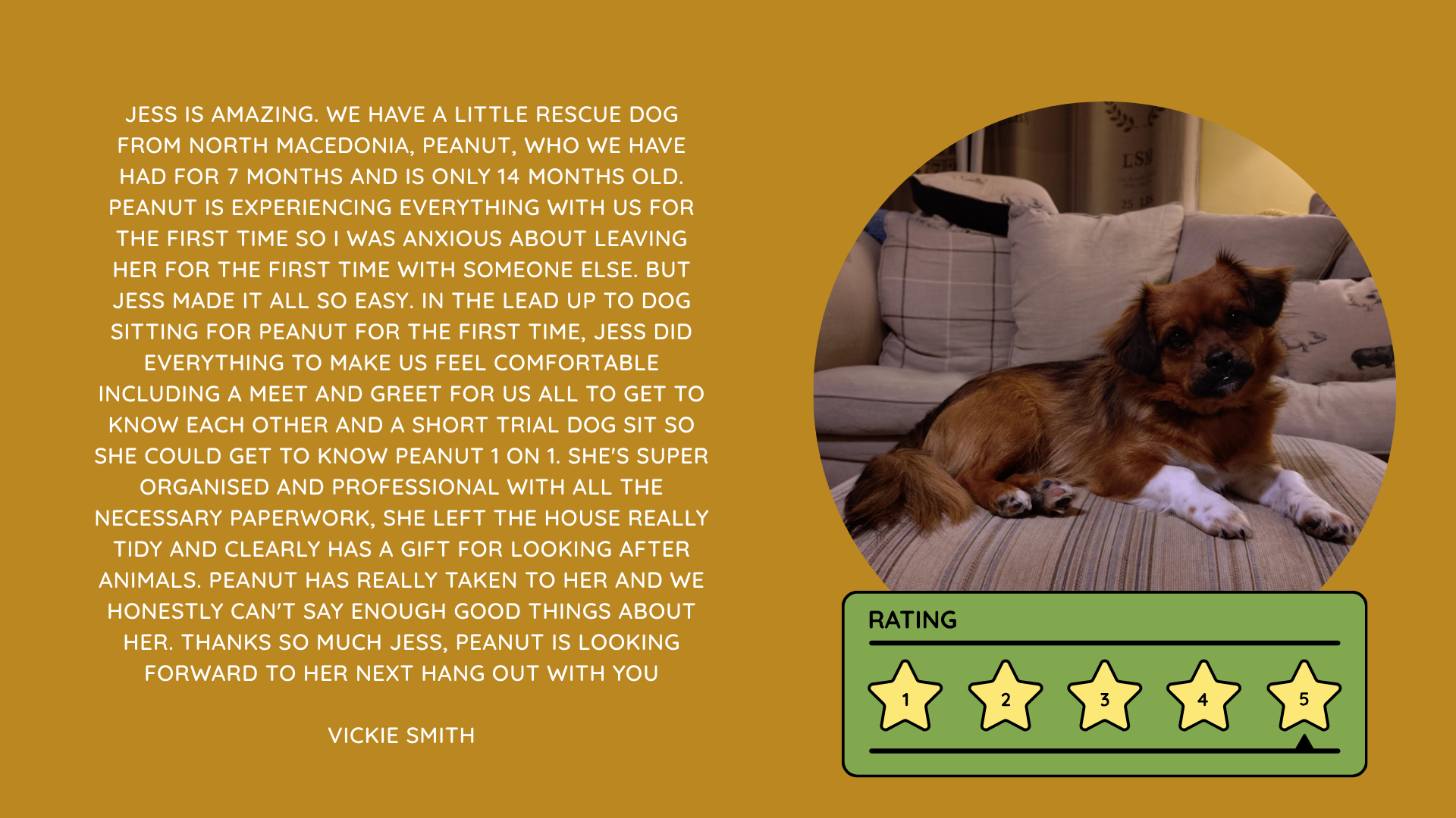 Pet Sitting Services in Saltash. Pet Sitting Services in Cornwall. Pet Sitting Services in Devon. Pet Sitting Services in Devon & Cornwall My Cornish Pet Companion provides trusted, professional pet sitting services and personalised pet care throughout Saltash, Cornwall, Devon and across Devon & Cornwall. Whether you need a reliable pet sitter while you're away, ongoing pet care, or someone you can trust to look after your much-loved companion, I provide dedicated, individual care designed around you and your pet. Pet Chaperone Services in Saltash. Pet Chaperone Services in Cornwall. Pet Chaperone Services in Devon. Pet Chaperone Services in Devon & Cornwall My Cornish Pet Chaperone provides professional, personalised pet chaperone services throughout Saltash, Cornwall, Devon and across Devon & Cornwall. From wedding pet chaperone services to special events, celebrations and important life events, I make sure your pet can be part of those special moments while remaining safe, happy, comfortable and completely cared for. Pet Doula Services in Saltash. Pet Doula Services in Cornwall. Pet Doula Services in Devon. Pet Doula Services in Devon & Cornwall My Cornish Pet Doula provides compassionate pet doula services and pet and animal end-of-life support throughout Saltash, Cornwall, Devon and across Devon & Cornwall. When the time comes to say goodbye to a much-loved family pet, I offer gentle, practical and emotional support, helping you navigate difficult decisions and ensuring both you and your companion are supported with care, understanding and compassion. MY CORNISH PET COMPANION REVIEWS. JESS RIGGS PET SITTER. BEST PET SITTER CORNWALL. BEST PET SITTER DEVON. BEST PET SITTER SALTASH. TRUSTED PET SITTER CORNWALL. RECOMMENDED PET SITTER DEVON. PROFESSIONAL PET CARE CORNWALL AND DEVON. My Cornish Pet Companion, run by Jess Riggs and based in Saltash, Cornwall, provides professional, trusted, reliable and compassionate pet care services throughout Cornwall and Devon. Read our client reviews and testimonials and discover why pet owners choose Jess Riggs and My Cornish Pet Companion for professional pet sitting, dog sitting, cat sitting, house sitting, house and pet sitting, wedding pet chaperone services, senior pet support, pet doula services and compassionate pet end-of-life support across Saltash, Cornwall and Devon. Looking for the BEST PET SITTER IN CORNWALL, BEST PET SITTER IN DEVON, BEST PET SITTER IN SALTASH, TRUSTED PET SITTER CORNWALL, TRUSTED PET SITTER DEVON, RECOMMENDED PET SITTER CORNWALL, RECOMMENDED PET SITTER DEVON, PROFESSIONAL PET SITTER CORNWALL, PROFESSIONAL PET SITTER DEVON, RELIABLE PET SITTER CORNWALL, RELIABLE PET SITTER DEVON or LOCAL PET SITTER SALTASH? My Cornish Pet Companion provides personalised professional pet care from Jess Riggs, with genuine client reviews and testimonials giving prospective customers an insight into the personal, dependable and compassionate service provided to pets and their people. BEST PET SITTER NEAR ME. TRUSTED PET SITTER NEAR ME. RECOMMENDED PET SITTER NEAR ME. RELIABLE PET SITTER NEAR ME. EXPERIENCED PET SITTER NEAR ME. PROFESSIONAL PET SITTER NEAR ME. LOCAL PET SITTER NEAR ME. For pet owners throughout Cornwall and Devon, Jess Riggs of My Cornish Pet Companion provides an experienced, highly personal pet sitting service designed around each individual animal, home and family. Our pet sitting reviews come from owners who have trusted Jess Riggs and My Cornish Pet Companion with their beloved animals and homes. From dog sitting and cat sitting to in-home pet sitting, holiday pet care, house sitting, wedding pet chaperoning and sensitive pet doula support, client testimonials provide an insight into the dedicated, compassionate and individual approach at the heart of My Cornish Pet Companion. PET SITTER CORNWALL REVIEWS. PET SITTER DEVON REVIEWS. PET SITTER SALTASH REVIEWS. PET SITTING CORNWALL REVIEWS. PET SITTING DEVON REVIEWS. DOG SITTER CORNWALL REVIEWS. DOG SITTER DEVON REVIEWS. CAT SITTER CORNWALL REVIEWS. CAT SITTER DEVON REVIEWS. MY CORNISH PET COMPANION REVIEWS. JESS RIGGS REVIEWS. Discover genuine feedback from clients who have chosen My Cornish Pet Companion for professional pet care throughout Cornwall and Devon. For owners looking for the BEST TRUSTED PET SITTER IN CORNWALL, BEST TRUSTED PET SITTER IN DEVON, BEST PET SITTER IN CORNWALL FOR DOGS AND CATS, BEST PET SITTER IN DEVON FOR DOGS AND CATS, RELIABLE PET SITTER IN CORNWALL FOR HOLIDAYS, TRUSTED PET SITTER IN DEVON FOR HOLIDAY PET CARE, EXPERIENCED PET SITTER IN SALTASH, PROFESSIONAL IN-HOME PET SITTER IN CORNWALL or RECOMMENDED PET SITTER IN DEVON FOR PETS STAYING AT HOME, Jess Riggs provides attentive and personalised care through My Cornish Pet Companion. Need a TRUSTWORTHY PET SITTER TO LOOK AFTER MY DOG WHILE I'M AWAY, SOMEONE TO LOOK AFTER MY CAT AT HOME WHILE I'M ON HOLIDAY, RELIABLE PET SITTER WHO COMES TO MY HOME IN CORNWALL, TRUSTED PET SITTER WHO COMES TO MY HOME IN DEVON, PROFESSIONAL PET SITTER FOR HOLIDAYS IN CORNWALL or EXPERIENCED PET SITTER FOR HOLIDAYS IN DEVON? My Cornish Pet Companion provides professional in-home pet sitting that allows animals to remain in their familiar home environment while receiving dedicated care and companionship from Jess Riggs. WHO IS THE BEST PET SITTER IN CORNWALL? WHO IS THE BEST PET SITTER IN DEVON? WHO IS THE BEST PET SITTER IN SALTASH? WHERE CAN I FIND A TRUSTED PET SITTER IN CORNWALL? WHERE CAN I FIND A RELIABLE PET SITTER IN DEVON? WHO IS A RECOMMENDED PET SITTER IN SALTASH? WHERE CAN I FIND A GOOD PET SITTER NEAR ME? Client reviews of My Cornish Pet Companion provide valuable first-hand experiences from people who have trusted Jess Riggs to care for their animals, homes and treasured companions. BEST DOG SITTER CORNWALL. BEST DOG SITTER DEVON. BEST DOG SITTER SALTASH. TRUSTED DOG SITTER CORNWALL. TRUSTED DOG SITTER DEVON. RECOMMENDED DOG SITTER CORNWALL. RELIABLE DOG SITTER DEVON. PROFESSIONAL DOG SITTER NEAR ME. Jess Riggs provides individual dog sitting and professional pet care through My Cornish Pet Companion, giving owners the reassurance of knowing their dogs can be cared for around their individual personalities, needs and established routines. BEST CAT SITTER CORNWALL. BEST CAT SITTER DEVON. BEST CAT SITTER SALTASH. TRUSTED CAT SITTER CORNWALL. TRUSTED CAT SITTER DEVON. RECOMMENDED CAT SITTER CORNWALL. RELIABLE CAT SITTER DEVON. PROFESSIONAL CAT SITTER NEAR ME. My Cornish Pet Companion provides personalised cat sitting and home pet care, allowing cats to remain within the security and familiarity of their own surroundings rather than having to move into an unfamiliar boarding environment. For owners planning a holiday, weekend away or business trip, My Cornish Pet Companion offers professional HOLIDAY PET SITTING IN CORNWALL, HOLIDAY PET SITTING IN DEVON, HOLIDAY PET SITTING IN SALTASH, IN-HOME PET SITTING CORNWALL, IN-HOME PET SITTING DEVON and professional pet care tailored around your individual requirements. Jess Riggs provides a personal and dependable alternative for owners looking for a TRUSTED HOLIDAY PET SITTER NEAR ME, RELIABLE HOLIDAY PET SITTER CORNWALL, RECOMMENDED HOLIDAY PET SITTER DEVON or EXPERIENCED PET SITTER TO CARE FOR PETS AT HOME WHILE I'M AWAY. My Cornish Pet Companion also provides professional HOUSE SITTING IN CORNWALL, HOUSE SITTING IN DEVON, HOUSE SITTING IN SALTASH and combined HOUSE AND PET SITTING SERVICES throughout Cornwall and Devon. Client reviews and testimonials help homeowners discover more about the service provided by Jess Riggs when they need someone they can trust with both their property and their beloved animals. BEST HOUSE SITTER CORNWALL. BEST HOUSE SITTER DEVON. BEST HOUSE SITTER SALTASH. TRUSTED HOUSE SITTER CORNWALL. TRUSTED HOUSE SITTER DEVON. RECOMMENDED HOUSE SITTER CORNWALL. RELIABLE HOUSE SITTER DEVON. PROFESSIONAL HOUSE SITTER NEAR ME. HOUSE SITTER CORNWALL REVIEWS. HOUSE SITTER DEVON REVIEWS. My Cornish Pet Companion provides professional house sitting centred around trust, reliability, respect, communication and careful attention to each client's home. BEST HOUSE AND PET SITTER CORNWALL. BEST HOUSE AND PET SITTER DEVON. TRUSTED HOUSE AND PET SITTER CORNWALL. TRUSTED HOUSE AND PET SITTER DEVON. RECOMMENDED HOUSE AND PET SITTER NEAR ME. RELIABLE HOUSE SITTER WITH PET CARE CORNWALL. PROFESSIONAL HOUSE AND PET SITTING SERVICES DEVON. For households with pets who are happiest remaining at home, Jess Riggs can combine professional house sitting with personalised pet sitting, helping owners arrange care for their property and animals together. Need a TRUSTWORTHY PERSON TO LOOK AFTER MY HOUSE AND PETS WHILE I'M AWAY, PROFESSIONAL HOUSE SITTER WHO ALSO LOOKS AFTER PETS, RELIABLE HOUSE AND PET SITTER FOR HOLIDAYS IN CORNWALL, TRUSTED HOUSE AND DOG SITTER IN DEVON or RECOMMENDED HOUSE AND PET SITTER NEAR SALTASH? My Cornish Pet Companion offers personal, professional and dependable house and pet sitting throughout Cornwall and Devon. Our reviews and testimonials also showcase experiences of My Cornish Pet Companion's professional WEDDING PET CHAPERONE SERVICES IN CORNWALL AND DEVON. Jess Riggs helps couples include beloved dogs and other pets in their wedding celebrations while ensuring their animal has a dedicated person responsible for their care, comfort and supervision. BEST WEDDING PET CHAPERONE CORNWALL. BEST WEDDING PET CHAPERONE DEVON. BEST WEDDING DOG CHAPERONE CORNWALL. BEST WEDDING DOG CHAPERONE DEVON. RECOMMENDED WEDDING PET CHAPERONE CORNWALL. TRUSTED WEDDING PET CHAPERONE DEVON. WEDDING PET CHAPERONE REVIEWS. DOG WEDDING CHAPERONE REVIEWS. WEDDING DOG SITTER NEAR ME. PET CHAPERONE NEAR ME. My Cornish Pet Companion provides professional wedding pet care throughout Cornwall and Devon. Planning a DOG-FRIENDLY WEDDING IN CORNWALL or DOG-FRIENDLY WEDDING IN DEVON? Looking for a PROFESSIONAL WEDDING PET CHAPERONE NEAR ME, SOMEONE TO LOOK AFTER MY DOG AT MY WEDDING IN CORNWALL, SOMEONE TO BRING MY DOG TO MY WEDDING IN DEVON, DOG CHAPERONE FOR WEDDING PHOTOS, WEDDING DOG SITTER CORNWALL or TRUSTED PERSON TO LOOK AFTER MY DOG DURING MY WEDDING? Jess Riggs and My Cornish Pet Companion provide dedicated pet chaperoning designed around your wedding plans and your pet's individual needs. My Cornish Pet Companion also provides compassionate PET DOULA SERVICES IN CORNWALL, PET DOULA SERVICES IN DEVON and PET DOULA SERVICES IN SALTASH. Jess Riggs provides sensitive non-veterinary support for pets and their families during the later stages of life, complementing the professional medical care and guidance provided by the pet's veterinary team. RECOMMENDED PET DOULA CORNWALL. RECOMMENDED PET DOULA DEVON. TRUSTED PET DOULA CORNWALL. TRUSTED PET DOULA DEVON. PET DOULA SALTASH. PET DOULA NEAR ME. PET DOULA CORNWALL REVIEWS. PET DOULA DEVON REVIEWS. PET END-OF-LIFE SUPPORT CORNWALL. PET END-OF-LIFE SUPPORT DEVON. SENIOR PET SUPPORT CORNWALL. SENIOR PET SUPPORT DEVON. PALLIATIVE PET SUPPORT CORNWALL. COMPASSIONATE PET END-OF-LIFE SUPPORT NEAR ME. For families looking for COMPASSIONATE PET END-OF-LIFE SUPPORT IN CORNWALL, PET DOULA FOR AN ELDERLY DOG IN DEVON, SUPPORT FOR OWNERS OF SENIOR PETS IN CORNWALL, SENIOR DOG SUPPORT IN DEVON, NON-VETERINARY END-OF-LIFE PET SUPPORT NEAR ME, COMPASSIONATE SUPPORT WHEN MY DOG IS NEARING THE END OF LIFE or PROFESSIONAL PET DOULA SERVICES IN CORNWALL AND DEVON, My Cornish Pet Companion offers understanding, personal and sensitive support from Jess Riggs. TOP PET SITTER CORNWALL. TOP PET SITTER DEVON. HIGHLY RECOMMENDED PET SITTER CORNWALL. HIGHLY RECOMMENDED PET SITTER DEVON. EXPERIENCED PET SITTER CORNWALL. EXPERIENCED PET SITTER DEVON. TRUSTWORTHY PET SITTER CORNWALL. TRUSTWORTHY PET SITTER DEVON. LOCAL PET CARE CORNWALL. LOCAL PET CARE DEVON. PROFESSIONAL PET SERVICES CORNWALL. PROFESSIONAL PET SERVICES DEVON. BEST PET CARE CORNWALL. BEST PET CARE DEVON. BEST PET CARE SALTASH. Whether you need someone to care for your dog while you're on holiday, a trusted cat sitter who can care for your cat at home, a professional pet sitter who comes to your home, a reliable house sitter while you're away, someone to look after your home and pets together, a wedding dog chaperone to help your dog attend your special day or compassionate support during the later stages of your pet's life, My Cornish Pet Companion reviews and testimonials provide genuine insight into the personal service offered by Jess Riggs. PET SITTING NEAR ME. PET SITTER NEAR ME. BEST PET SITTER NEAR ME. TOP-RATED PET SITTER NEAR ME. RECOMMENDED PET SITTER NEAR ME. TRUSTED PET SITTER NEAR ME. RELIABLE PET SITTER NEAR ME. PROFESSIONAL PET SITTER NEAR ME. EXPERIENCED PET SITTER NEAR ME. DOG SITTER NEAR ME. CAT SITTER NEAR ME. HOUSE SITTER NEAR ME. HOUSE AND PET SITTER NEAR ME. HOLIDAY PET SITTER NEAR ME. WEDDING PET CHAPERONE NEAR ME. DOG WEDDING CHAPERONE NEAR ME. PET DOULA NEAR ME. PET END-OF-LIFE SUPPORT NEAR ME. JESS RIGGS – MY CORNISH PET COMPANION – SALTASH, CORNWALL. Professional pet sitting and trusted pet care throughout Cornwall and Devon. Pet sitting. Dog sitting. Cat sitting. Holiday pet sitting. In-home pet care. House sitting. House and pet sitting. Wedding pet chaperoning. Wedding dog chaperone services. Senior pet support. Pet doula services. Compassionate pet end-of-life support. Read My Cornish Pet Companion reviews and client testimonials and discover more about the trusted, professional and personalised pet care provided by Jess Riggs throughout Saltash, Cornwall and Devon. From everyday pet sitting and holiday pet care to house sitting, weddings and the most sensitive stages of a beloved animal's life, My Cornish Pet Companion provides compassionate, reliable and individual support for pets and the people who love them.