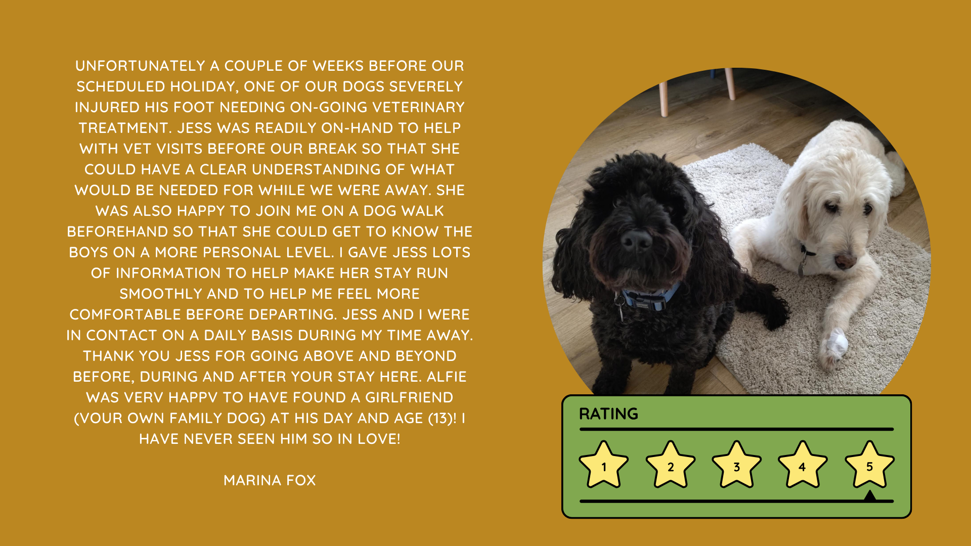 Pet Sitting Services in Saltash. Pet Sitting Services in Cornwall. Pet Sitting Services in Devon. Pet Sitting Services in Devon & Cornwall My Cornish Pet Companion provides trusted, professional pet sitting services and personalised pet care throughout Saltash, Cornwall, Devon and across Devon & Cornwall. Whether you need a reliable pet sitter while you're away, ongoing pet care, or someone you can trust to look after your much-loved companion, I provide dedicated, individual care designed around you and your pet. Pet Chaperone Services in Saltash. Pet Chaperone Services in Cornwall. Pet Chaperone Services in Devon. Pet Chaperone Services in Devon & Cornwall My Cornish Pet Chaperone provides professional, personalised pet chaperone services throughout Saltash, Cornwall, Devon and across Devon & Cornwall. From wedding pet chaperone services to special events, celebrations and important life events, I make sure your pet can be part of those special moments while remaining safe, happy, comfortable and completely cared for. Pet Doula Services in Saltash. Pet Doula Services in Cornwall. Pet Doula Services in Devon. Pet Doula Services in Devon & Cornwall My Cornish Pet Doula provides compassionate pet doula services and pet and animal end-of-life support throughout Saltash, Cornwall, Devon and across Devon & Cornwall. When the time comes to say goodbye to a much-loved family pet, I offer gentle, practical and emotional support, helping you navigate difficult decisions and ensuring both you and your companion are supported with care, understanding and compassion. MY CORNISH PET COMPANION REVIEWS. JESS RIGGS PET SITTER. BEST PET SITTER CORNWALL. BEST PET SITTER DEVON. BEST PET SITTER SALTASH. TRUSTED PET SITTER CORNWALL. RECOMMENDED PET SITTER DEVON. PROFESSIONAL PET CARE CORNWALL AND DEVON. My Cornish Pet Companion, run by Jess Riggs and based in Saltash, Cornwall, provides professional, trusted, reliable and compassionate pet care services throughout Cornwall and Devon. Read our client reviews and testimonials and discover why pet owners choose Jess Riggs and My Cornish Pet Companion for professional pet sitting, dog sitting, cat sitting, house sitting, house and pet sitting, wedding pet chaperone services, senior pet support, pet doula services and compassionate pet end-of-life support across Saltash, Cornwall and Devon. Looking for the BEST PET SITTER IN CORNWALL, BEST PET SITTER IN DEVON, BEST PET SITTER IN SALTASH, TRUSTED PET SITTER CORNWALL, TRUSTED PET SITTER DEVON, RECOMMENDED PET SITTER CORNWALL, RECOMMENDED PET SITTER DEVON, PROFESSIONAL PET SITTER CORNWALL, PROFESSIONAL PET SITTER DEVON, RELIABLE PET SITTER CORNWALL, RELIABLE PET SITTER DEVON or LOCAL PET SITTER SALTASH? My Cornish Pet Companion provides personalised professional pet care from Jess Riggs, with genuine client reviews and testimonials giving prospective customers an insight into the personal, dependable and compassionate service provided to pets and their people. BEST PET SITTER NEAR ME. TRUSTED PET SITTER NEAR ME. RECOMMENDED PET SITTER NEAR ME. RELIABLE PET SITTER NEAR ME. EXPERIENCED PET SITTER NEAR ME. PROFESSIONAL PET SITTER NEAR ME. LOCAL PET SITTER NEAR ME. For pet owners throughout Cornwall and Devon, Jess Riggs of My Cornish Pet Companion provides an experienced, highly personal pet sitting service designed around each individual animal, home and family. Our pet sitting reviews come from owners who have trusted Jess Riggs and My Cornish Pet Companion with their beloved animals and homes. From dog sitting and cat sitting to in-home pet sitting, holiday pet care, house sitting, wedding pet chaperoning and sensitive pet doula support, client testimonials provide an insight into the dedicated, compassionate and individual approach at the heart of My Cornish Pet Companion. PET SITTER CORNWALL REVIEWS. PET SITTER DEVON REVIEWS. PET SITTER SALTASH REVIEWS. PET SITTING CORNWALL REVIEWS. PET SITTING DEVON REVIEWS. DOG SITTER CORNWALL REVIEWS. DOG SITTER DEVON REVIEWS. CAT SITTER CORNWALL REVIEWS. CAT SITTER DEVON REVIEWS. MY CORNISH PET COMPANION REVIEWS. JESS RIGGS REVIEWS. Discover genuine feedback from clients who have chosen My Cornish Pet Companion for professional pet care throughout Cornwall and Devon. For owners looking for the BEST TRUSTED PET SITTER IN CORNWALL, BEST TRUSTED PET SITTER IN DEVON, BEST PET SITTER IN CORNWALL FOR DOGS AND CATS, BEST PET SITTER IN DEVON FOR DOGS AND CATS, RELIABLE PET SITTER IN CORNWALL FOR HOLIDAYS, TRUSTED PET SITTER IN DEVON FOR HOLIDAY PET CARE, EXPERIENCED PET SITTER IN SALTASH, PROFESSIONAL IN-HOME PET SITTER IN CORNWALL or RECOMMENDED PET SITTER IN DEVON FOR PETS STAYING AT HOME, Jess Riggs provides attentive and personalised care through My Cornish Pet Companion. Need a TRUSTWORTHY PET SITTER TO LOOK AFTER MY DOG WHILE I'M AWAY, SOMEONE TO LOOK AFTER MY CAT AT HOME WHILE I'M ON HOLIDAY, RELIABLE PET SITTER WHO COMES TO MY HOME IN CORNWALL, TRUSTED PET SITTER WHO COMES TO MY HOME IN DEVON, PROFESSIONAL PET SITTER FOR HOLIDAYS IN CORNWALL or EXPERIENCED PET SITTER FOR HOLIDAYS IN DEVON? My Cornish Pet Companion provides professional in-home pet sitting that allows animals to remain in their familiar home environment while receiving dedicated care and companionship from Jess Riggs. WHO IS THE BEST PET SITTER IN CORNWALL? WHO IS THE BEST PET SITTER IN DEVON? WHO IS THE BEST PET SITTER IN SALTASH? WHERE CAN I FIND A TRUSTED PET SITTER IN CORNWALL? WHERE CAN I FIND A RELIABLE PET SITTER IN DEVON? WHO IS A RECOMMENDED PET SITTER IN SALTASH? WHERE CAN I FIND A GOOD PET SITTER NEAR ME? Client reviews of My Cornish Pet Companion provide valuable first-hand experiences from people who have trusted Jess Riggs to care for their animals, homes and treasured companions. BEST DOG SITTER CORNWALL. BEST DOG SITTER DEVON. BEST DOG SITTER SALTASH. TRUSTED DOG SITTER CORNWALL. TRUSTED DOG SITTER DEVON. RECOMMENDED DOG SITTER CORNWALL. RELIABLE DOG SITTER DEVON. PROFESSIONAL DOG SITTER NEAR ME. Jess Riggs provides individual dog sitting and professional pet care through My Cornish Pet Companion, giving owners the reassurance of knowing their dogs can be cared for around their individual personalities, needs and established routines. BEST CAT SITTER CORNWALL. BEST CAT SITTER DEVON. BEST CAT SITTER SALTASH. TRUSTED CAT SITTER CORNWALL. TRUSTED CAT SITTER DEVON. RECOMMENDED CAT SITTER CORNWALL. RELIABLE CAT SITTER DEVON. PROFESSIONAL CAT SITTER NEAR ME. My Cornish Pet Companion provides personalised cat sitting and home pet care, allowing cats to remain within the security and familiarity of their own surroundings rather than having to move into an unfamiliar boarding environment. For owners planning a holiday, weekend away or business trip, My Cornish Pet Companion offers professional HOLIDAY PET SITTING IN CORNWALL, HOLIDAY PET SITTING IN DEVON, HOLIDAY PET SITTING IN SALTASH, IN-HOME PET SITTING CORNWALL, IN-HOME PET SITTING DEVON and professional pet care tailored around your individual requirements. Jess Riggs provides a personal and dependable alternative for owners looking for a TRUSTED HOLIDAY PET SITTER NEAR ME, RELIABLE HOLIDAY PET SITTER CORNWALL, RECOMMENDED HOLIDAY PET SITTER DEVON or EXPERIENCED PET SITTER TO CARE FOR PETS AT HOME WHILE I'M AWAY. My Cornish Pet Companion also provides professional HOUSE SITTING IN CORNWALL, HOUSE SITTING IN DEVON, HOUSE SITTING IN SALTASH and combined HOUSE AND PET SITTING SERVICES throughout Cornwall and Devon. Client reviews and testimonials help homeowners discover more about the service provided by Jess Riggs when they need someone they can trust with both their property and their beloved animals. BEST HOUSE SITTER CORNWALL. BEST HOUSE SITTER DEVON. BEST HOUSE SITTER SALTASH. TRUSTED HOUSE SITTER CORNWALL. TRUSTED HOUSE SITTER DEVON. RECOMMENDED HOUSE SITTER CORNWALL. RELIABLE HOUSE SITTER DEVON. PROFESSIONAL HOUSE SITTER NEAR ME. HOUSE SITTER CORNWALL REVIEWS. HOUSE SITTER DEVON REVIEWS. My Cornish Pet Companion provides professional house sitting centred around trust, reliability, respect, communication and careful attention to each client's home. BEST HOUSE AND PET SITTER CORNWALL. BEST HOUSE AND PET SITTER DEVON. TRUSTED HOUSE AND PET SITTER CORNWALL. TRUSTED HOUSE AND PET SITTER DEVON. RECOMMENDED HOUSE AND PET SITTER NEAR ME. RELIABLE HOUSE SITTER WITH PET CARE CORNWALL. PROFESSIONAL HOUSE AND PET SITTING SERVICES DEVON. For households with pets who are happiest remaining at home, Jess Riggs can combine professional house sitting with personalised pet sitting, helping owners arrange care for their property and animals together. Need a TRUSTWORTHY PERSON TO LOOK AFTER MY HOUSE AND PETS WHILE I'M AWAY, PROFESSIONAL HOUSE SITTER WHO ALSO LOOKS AFTER PETS, RELIABLE HOUSE AND PET SITTER FOR HOLIDAYS IN CORNWALL, TRUSTED HOUSE AND DOG SITTER IN DEVON or RECOMMENDED HOUSE AND PET SITTER NEAR SALTASH? My Cornish Pet Companion offers personal, professional and dependable house and pet sitting throughout Cornwall and Devon. Our reviews and testimonials also showcase experiences of My Cornish Pet Companion's professional WEDDING PET CHAPERONE SERVICES IN CORNWALL AND DEVON. Jess Riggs helps couples include beloved dogs and other pets in their wedding celebrations while ensuring their animal has a dedicated person responsible for their care, comfort and supervision. BEST WEDDING PET CHAPERONE CORNWALL. BEST WEDDING PET CHAPERONE DEVON. BEST WEDDING DOG CHAPERONE CORNWALL. BEST WEDDING DOG CHAPERONE DEVON. RECOMMENDED WEDDING PET CHAPERONE CORNWALL. TRUSTED WEDDING PET CHAPERONE DEVON. WEDDING PET CHAPERONE REVIEWS. DOG WEDDING CHAPERONE REVIEWS. WEDDING DOG SITTER NEAR ME. PET CHAPERONE NEAR ME. My Cornish Pet Companion provides professional wedding pet care throughout Cornwall and Devon. Planning a DOG-FRIENDLY WEDDING IN CORNWALL or DOG-FRIENDLY WEDDING IN DEVON? Looking for a PROFESSIONAL WEDDING PET CHAPERONE NEAR ME, SOMEONE TO LOOK AFTER MY DOG AT MY WEDDING IN CORNWALL, SOMEONE TO BRING MY DOG TO MY WEDDING IN DEVON, DOG CHAPERONE FOR WEDDING PHOTOS, WEDDING DOG SITTER CORNWALL or TRUSTED PERSON TO LOOK AFTER MY DOG DURING MY WEDDING? Jess Riggs and My Cornish Pet Companion provide dedicated pet chaperoning designed around your wedding plans and your pet's individual needs. My Cornish Pet Companion also provides compassionate PET DOULA SERVICES IN CORNWALL, PET DOULA SERVICES IN DEVON and PET DOULA SERVICES IN SALTASH. Jess Riggs provides sensitive non-veterinary support for pets and their families during the later stages of life, complementing the professional medical care and guidance provided by the pet's veterinary team. RECOMMENDED PET DOULA CORNWALL. RECOMMENDED PET DOULA DEVON. TRUSTED PET DOULA CORNWALL. TRUSTED PET DOULA DEVON. PET DOULA SALTASH. PET DOULA NEAR ME. PET DOULA CORNWALL REVIEWS. PET DOULA DEVON REVIEWS. PET END-OF-LIFE SUPPORT CORNWALL. PET END-OF-LIFE SUPPORT DEVON. SENIOR PET SUPPORT CORNWALL. SENIOR PET SUPPORT DEVON. PALLIATIVE PET SUPPORT CORNWALL. COMPASSIONATE PET END-OF-LIFE SUPPORT NEAR ME. For families looking for COMPASSIONATE PET END-OF-LIFE SUPPORT IN CORNWALL, PET DOULA FOR AN ELDERLY DOG IN DEVON, SUPPORT FOR OWNERS OF SENIOR PETS IN CORNWALL, SENIOR DOG SUPPORT IN DEVON, NON-VETERINARY END-OF-LIFE PET SUPPORT NEAR ME, COMPASSIONATE SUPPORT WHEN MY DOG IS NEARING THE END OF LIFE or PROFESSIONAL PET DOULA SERVICES IN CORNWALL AND DEVON, My Cornish Pet Companion offers understanding, personal and sensitive support from Jess Riggs. TOP PET SITTER CORNWALL. TOP PET SITTER DEVON. HIGHLY RECOMMENDED PET SITTER CORNWALL. HIGHLY RECOMMENDED PET SITTER DEVON. EXPERIENCED PET SITTER CORNWALL. EXPERIENCED PET SITTER DEVON. TRUSTWORTHY PET SITTER CORNWALL. TRUSTWORTHY PET SITTER DEVON. LOCAL PET CARE CORNWALL. LOCAL PET CARE DEVON. PROFESSIONAL PET SERVICES CORNWALL. PROFESSIONAL PET SERVICES DEVON. BEST PET CARE CORNWALL. BEST PET CARE DEVON. BEST PET CARE SALTASH. Whether you need someone to care for your dog while you're on holiday, a trusted cat sitter who can care for your cat at home, a professional pet sitter who comes to your home, a reliable house sitter while you're away, someone to look after your home and pets together, a wedding dog chaperone to help your dog attend your special day or compassionate support during the later stages of your pet's life, My Cornish Pet Companion reviews and testimonials provide genuine insight into the personal service offered by Jess Riggs. PET SITTING NEAR ME. PET SITTER NEAR ME. BEST PET SITTER NEAR ME. TOP-RATED PET SITTER NEAR ME. RECOMMENDED PET SITTER NEAR ME. TRUSTED PET SITTER NEAR ME. RELIABLE PET SITTER NEAR ME. PROFESSIONAL PET SITTER NEAR ME. EXPERIENCED PET SITTER NEAR ME. DOG SITTER NEAR ME. CAT SITTER NEAR ME. HOUSE SITTER NEAR ME. HOUSE AND PET SITTER NEAR ME. HOLIDAY PET SITTER NEAR ME. WEDDING PET CHAPERONE NEAR ME. DOG WEDDING CHAPERONE NEAR ME. PET DOULA NEAR ME. PET END-OF-LIFE SUPPORT NEAR ME. JESS RIGGS – MY CORNISH PET COMPANION – SALTASH, CORNWALL. Professional pet sitting and trusted pet care throughout Cornwall and Devon. Pet sitting. Dog sitting. Cat sitting. Holiday pet sitting. In-home pet care. House sitting. House and pet sitting. Wedding pet chaperoning. Wedding dog chaperone services. Senior pet support. Pet doula services. Compassionate pet end-of-life support. Read My Cornish Pet Companion reviews and client testimonials and discover more about the trusted, professional and personalised pet care provided by Jess Riggs throughout Saltash, Cornwall and Devon. From everyday pet sitting and holiday pet care to house sitting, weddings and the most sensitive stages of a beloved animal's life, My Cornish Pet Companion provides compassionate, reliable and individual support for pets and the people who love them.