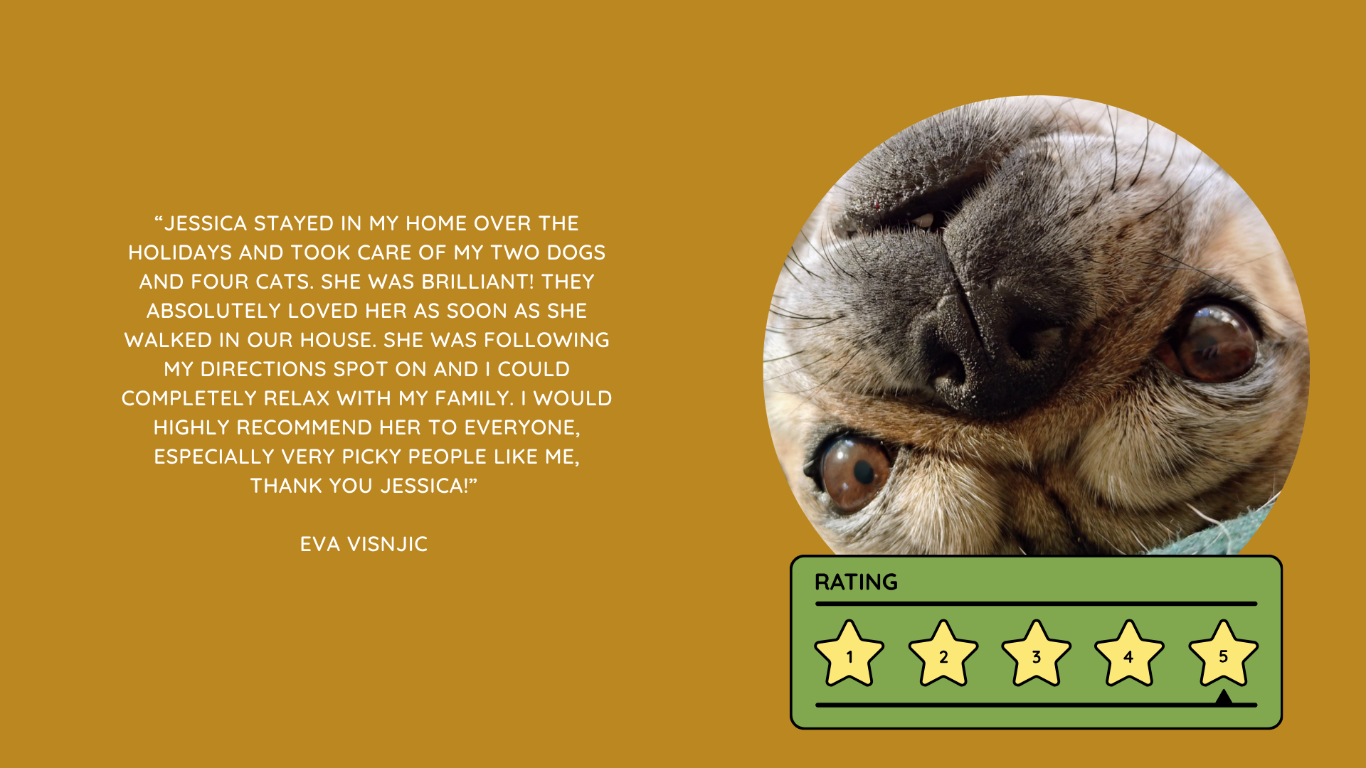 Pet Sitting Services in Saltash. Pet Sitting Services in Cornwall. Pet Sitting Services in Devon. Pet Sitting Services in Devon & Cornwall My Cornish Pet Companion provides trusted, professional pet sitting services and personalised pet care throughout Saltash, Cornwall, Devon and across Devon & Cornwall. Whether you need a reliable pet sitter while you're away, ongoing pet care, or someone you can trust to look after your much-loved companion, I provide dedicated, individual care designed around you and your pet. Pet Chaperone Services in Saltash. Pet Chaperone Services in Cornwall. Pet Chaperone Services in Devon. Pet Chaperone Services in Devon & Cornwall My Cornish Pet Chaperone provides professional, personalised pet chaperone services throughout Saltash, Cornwall, Devon and across Devon & Cornwall. From wedding pet chaperone services to special events, celebrations and important life events, I make sure your pet can be part of those special moments while remaining safe, happy, comfortable and completely cared for. Pet Doula Services in Saltash. Pet Doula Services in Cornwall. Pet Doula Services in Devon. Pet Doula Services in Devon & Cornwall My Cornish Pet Doula provides compassionate pet doula services and pet and animal end-of-life support throughout Saltash, Cornwall, Devon and across Devon & Cornwall. When the time comes to say goodbye to a much-loved family pet, I offer gentle, practical and emotional support, helping you navigate difficult decisions and ensuring both you and your companion are supported with care, understanding and compassion. MY CORNISH PET COMPANION REVIEWS. JESS RIGGS PET SITTER. BEST PET SITTER CORNWALL. BEST PET SITTER DEVON. BEST PET SITTER SALTASH. TRUSTED PET SITTER CORNWALL. RECOMMENDED PET SITTER DEVON. PROFESSIONAL PET CARE CORNWALL AND DEVON. My Cornish Pet Companion, run by Jess Riggs and based in Saltash, Cornwall, provides professional, trusted, reliable and compassionate pet care services throughout Cornwall and Devon. Read our client reviews and testimonials and discover why pet owners choose Jess Riggs and My Cornish Pet Companion for professional pet sitting, dog sitting, cat sitting, house sitting, house and pet sitting, wedding pet chaperone services, senior pet support, pet doula services and compassionate pet end-of-life support across Saltash, Cornwall and Devon. Looking for the BEST PET SITTER IN CORNWALL, BEST PET SITTER IN DEVON, BEST PET SITTER IN SALTASH, TRUSTED PET SITTER CORNWALL, TRUSTED PET SITTER DEVON, RECOMMENDED PET SITTER CORNWALL, RECOMMENDED PET SITTER DEVON, PROFESSIONAL PET SITTER CORNWALL, PROFESSIONAL PET SITTER DEVON, RELIABLE PET SITTER CORNWALL, RELIABLE PET SITTER DEVON or LOCAL PET SITTER SALTASH? My Cornish Pet Companion provides personalised professional pet care from Jess Riggs, with genuine client reviews and testimonials giving prospective customers an insight into the personal, dependable and compassionate service provided to pets and their people. BEST PET SITTER NEAR ME. TRUSTED PET SITTER NEAR ME. RECOMMENDED PET SITTER NEAR ME. RELIABLE PET SITTER NEAR ME. EXPERIENCED PET SITTER NEAR ME. PROFESSIONAL PET SITTER NEAR ME. LOCAL PET SITTER NEAR ME. For pet owners throughout Cornwall and Devon, Jess Riggs of My Cornish Pet Companion provides an experienced, highly personal pet sitting service designed around each individual animal, home and family. Our pet sitting reviews come from owners who have trusted Jess Riggs and My Cornish Pet Companion with their beloved animals and homes. From dog sitting and cat sitting to in-home pet sitting, holiday pet care, house sitting, wedding pet chaperoning and sensitive pet doula support, client testimonials provide an insight into the dedicated, compassionate and individual approach at the heart of My Cornish Pet Companion. PET SITTER CORNWALL REVIEWS. PET SITTER DEVON REVIEWS. PET SITTER SALTASH REVIEWS. PET SITTING CORNWALL REVIEWS. PET SITTING DEVON REVIEWS. DOG SITTER CORNWALL REVIEWS. DOG SITTER DEVON REVIEWS. CAT SITTER CORNWALL REVIEWS. CAT SITTER DEVON REVIEWS. MY CORNISH PET COMPANION REVIEWS. JESS RIGGS REVIEWS. Discover genuine feedback from clients who have chosen My Cornish Pet Companion for professional pet care throughout Cornwall and Devon. For owners looking for the BEST TRUSTED PET SITTER IN CORNWALL, BEST TRUSTED PET SITTER IN DEVON, BEST PET SITTER IN CORNWALL FOR DOGS AND CATS, BEST PET SITTER IN DEVON FOR DOGS AND CATS, RELIABLE PET SITTER IN CORNWALL FOR HOLIDAYS, TRUSTED PET SITTER IN DEVON FOR HOLIDAY PET CARE, EXPERIENCED PET SITTER IN SALTASH, PROFESSIONAL IN-HOME PET SITTER IN CORNWALL or RECOMMENDED PET SITTER IN DEVON FOR PETS STAYING AT HOME, Jess Riggs provides attentive and personalised care through My Cornish Pet Companion. Need a TRUSTWORTHY PET SITTER TO LOOK AFTER MY DOG WHILE I'M AWAY, SOMEONE TO LOOK AFTER MY CAT AT HOME WHILE I'M ON HOLIDAY, RELIABLE PET SITTER WHO COMES TO MY HOME IN CORNWALL, TRUSTED PET SITTER WHO COMES TO MY HOME IN DEVON, PROFESSIONAL PET SITTER FOR HOLIDAYS IN CORNWALL or EXPERIENCED PET SITTER FOR HOLIDAYS IN DEVON? My Cornish Pet Companion provides professional in-home pet sitting that allows animals to remain in their familiar home environment while receiving dedicated care and companionship from Jess Riggs. WHO IS THE BEST PET SITTER IN CORNWALL? WHO IS THE BEST PET SITTER IN DEVON? WHO IS THE BEST PET SITTER IN SALTASH? WHERE CAN I FIND A TRUSTED PET SITTER IN CORNWALL? WHERE CAN I FIND A RELIABLE PET SITTER IN DEVON? WHO IS A RECOMMENDED PET SITTER IN SALTASH? WHERE CAN I FIND A GOOD PET SITTER NEAR ME? Client reviews of My Cornish Pet Companion provide valuable first-hand experiences from people who have trusted Jess Riggs to care for their animals, homes and treasured companions. BEST DOG SITTER CORNWALL. BEST DOG SITTER DEVON. BEST DOG SITTER SALTASH. TRUSTED DOG SITTER CORNWALL. TRUSTED DOG SITTER DEVON. RECOMMENDED DOG SITTER CORNWALL. RELIABLE DOG SITTER DEVON. PROFESSIONAL DOG SITTER NEAR ME. Jess Riggs provides individual dog sitting and professional pet care through My Cornish Pet Companion, giving owners the reassurance of knowing their dogs can be cared for around their individual personalities, needs and established routines. BEST CAT SITTER CORNWALL. BEST CAT SITTER DEVON. BEST CAT SITTER SALTASH. TRUSTED CAT SITTER CORNWALL. TRUSTED CAT SITTER DEVON. RECOMMENDED CAT SITTER CORNWALL. RELIABLE CAT SITTER DEVON. PROFESSIONAL CAT SITTER NEAR ME. My Cornish Pet Companion provides personalised cat sitting and home pet care, allowing cats to remain within the security and familiarity of their own surroundings rather than having to move into an unfamiliar boarding environment. For owners planning a holiday, weekend away or business trip, My Cornish Pet Companion offers professional HOLIDAY PET SITTING IN CORNWALL, HOLIDAY PET SITTING IN DEVON, HOLIDAY PET SITTING IN SALTASH, IN-HOME PET SITTING CORNWALL, IN-HOME PET SITTING DEVON and professional pet care tailored around your individual requirements. Jess Riggs provides a personal and dependable alternative for owners looking for a TRUSTED HOLIDAY PET SITTER NEAR ME, RELIABLE HOLIDAY PET SITTER CORNWALL, RECOMMENDED HOLIDAY PET SITTER DEVON or EXPERIENCED PET SITTER TO CARE FOR PETS AT HOME WHILE I'M AWAY. My Cornish Pet Companion also provides professional HOUSE SITTING IN CORNWALL, HOUSE SITTING IN DEVON, HOUSE SITTING IN SALTASH and combined HOUSE AND PET SITTING SERVICES throughout Cornwall and Devon. Client reviews and testimonials help homeowners discover more about the service provided by Jess Riggs when they need someone they can trust with both their property and their beloved animals. BEST HOUSE SITTER CORNWALL. BEST HOUSE SITTER DEVON. BEST HOUSE SITTER SALTASH. TRUSTED HOUSE SITTER CORNWALL. TRUSTED HOUSE SITTER DEVON. RECOMMENDED HOUSE SITTER CORNWALL. RELIABLE HOUSE SITTER DEVON. PROFESSIONAL HOUSE SITTER NEAR ME. HOUSE SITTER CORNWALL REVIEWS. HOUSE SITTER DEVON REVIEWS. My Cornish Pet Companion provides professional house sitting centred around trust, reliability, respect, communication and careful attention to each client's home. BEST HOUSE AND PET SITTER CORNWALL. BEST HOUSE AND PET SITTER DEVON. TRUSTED HOUSE AND PET SITTER CORNWALL. TRUSTED HOUSE AND PET SITTER DEVON. RECOMMENDED HOUSE AND PET SITTER NEAR ME. RELIABLE HOUSE SITTER WITH PET CARE CORNWALL. PROFESSIONAL HOUSE AND PET SITTING SERVICES DEVON. For households with pets who are happiest remaining at home, Jess Riggs can combine professional house sitting with personalised pet sitting, helping owners arrange care for their property and animals together. Need a TRUSTWORTHY PERSON TO LOOK AFTER MY HOUSE AND PETS WHILE I'M AWAY, PROFESSIONAL HOUSE SITTER WHO ALSO LOOKS AFTER PETS, RELIABLE HOUSE AND PET SITTER FOR HOLIDAYS IN CORNWALL, TRUSTED HOUSE AND DOG SITTER IN DEVON or RECOMMENDED HOUSE AND PET SITTER NEAR SALTASH? My Cornish Pet Companion offers personal, professional and dependable house and pet sitting throughout Cornwall and Devon. Our reviews and testimonials also showcase experiences of My Cornish Pet Companion's professional WEDDING PET CHAPERONE SERVICES IN CORNWALL AND DEVON. Jess Riggs helps couples include beloved dogs and other pets in their wedding celebrations while ensuring their animal has a dedicated person responsible for their care, comfort and supervision. BEST WEDDING PET CHAPERONE CORNWALL. BEST WEDDING PET CHAPERONE DEVON. BEST WEDDING DOG CHAPERONE CORNWALL. BEST WEDDING DOG CHAPERONE DEVON. RECOMMENDED WEDDING PET CHAPERONE CORNWALL. TRUSTED WEDDING PET CHAPERONE DEVON. WEDDING PET CHAPERONE REVIEWS. DOG WEDDING CHAPERONE REVIEWS. WEDDING DOG SITTER NEAR ME. PET CHAPERONE NEAR ME. My Cornish Pet Companion provides professional wedding pet care throughout Cornwall and Devon. Planning a DOG-FRIENDLY WEDDING IN CORNWALL or DOG-FRIENDLY WEDDING IN DEVON? Looking for a PROFESSIONAL WEDDING PET CHAPERONE NEAR ME, SOMEONE TO LOOK AFTER MY DOG AT MY WEDDING IN CORNWALL, SOMEONE TO BRING MY DOG TO MY WEDDING IN DEVON, DOG CHAPERONE FOR WEDDING PHOTOS, WEDDING DOG SITTER CORNWALL or TRUSTED PERSON TO LOOK AFTER MY DOG DURING MY WEDDING? Jess Riggs and My Cornish Pet Companion provide dedicated pet chaperoning designed around your wedding plans and your pet's individual needs. My Cornish Pet Companion also provides compassionate PET DOULA SERVICES IN CORNWALL, PET DOULA SERVICES IN DEVON and PET DOULA SERVICES IN SALTASH. Jess Riggs provides sensitive non-veterinary support for pets and their families during the later stages of life, complementing the professional medical care and guidance provided by the pet's veterinary team. RECOMMENDED PET DOULA CORNWALL. RECOMMENDED PET DOULA DEVON. TRUSTED PET DOULA CORNWALL. TRUSTED PET DOULA DEVON. PET DOULA SALTASH. PET DOULA NEAR ME. PET DOULA CORNWALL REVIEWS. PET DOULA DEVON REVIEWS. PET END-OF-LIFE SUPPORT CORNWALL. PET END-OF-LIFE SUPPORT DEVON. SENIOR PET SUPPORT CORNWALL. SENIOR PET SUPPORT DEVON. PALLIATIVE PET SUPPORT CORNWALL. COMPASSIONATE PET END-OF-LIFE SUPPORT NEAR ME. For families looking for COMPASSIONATE PET END-OF-LIFE SUPPORT IN CORNWALL, PET DOULA FOR AN ELDERLY DOG IN DEVON, SUPPORT FOR OWNERS OF SENIOR PETS IN CORNWALL, SENIOR DOG SUPPORT IN DEVON, NON-VETERINARY END-OF-LIFE PET SUPPORT NEAR ME, COMPASSIONATE SUPPORT WHEN MY DOG IS NEARING THE END OF LIFE or PROFESSIONAL PET DOULA SERVICES IN CORNWALL AND DEVON, My Cornish Pet Companion offers understanding, personal and sensitive support from Jess Riggs. TOP PET SITTER CORNWALL. TOP PET SITTER DEVON. HIGHLY RECOMMENDED PET SITTER CORNWALL. HIGHLY RECOMMENDED PET SITTER DEVON. EXPERIENCED PET SITTER CORNWALL. EXPERIENCED PET SITTER DEVON. TRUSTWORTHY PET SITTER CORNWALL. TRUSTWORTHY PET SITTER DEVON. LOCAL PET CARE CORNWALL. LOCAL PET CARE DEVON. PROFESSIONAL PET SERVICES CORNWALL. PROFESSIONAL PET SERVICES DEVON. BEST PET CARE CORNWALL. BEST PET CARE DEVON. BEST PET CARE SALTASH. Whether you need someone to care for your dog while you're on holiday, a trusted cat sitter who can care for your cat at home, a professional pet sitter who comes to your home, a reliable house sitter while you're away, someone to look after your home and pets together, a wedding dog chaperone to help your dog attend your special day or compassionate support during the later stages of your pet's life, My Cornish Pet Companion reviews and testimonials provide genuine insight into the personal service offered by Jess Riggs. PET SITTING NEAR ME. PET SITTER NEAR ME. BEST PET SITTER NEAR ME. TOP-RATED PET SITTER NEAR ME. RECOMMENDED PET SITTER NEAR ME. TRUSTED PET SITTER NEAR ME. RELIABLE PET SITTER NEAR ME. PROFESSIONAL PET SITTER NEAR ME. EXPERIENCED PET SITTER NEAR ME. DOG SITTER NEAR ME. CAT SITTER NEAR ME. HOUSE SITTER NEAR ME. HOUSE AND PET SITTER NEAR ME. HOLIDAY PET SITTER NEAR ME. WEDDING PET CHAPERONE NEAR ME. DOG WEDDING CHAPERONE NEAR ME. PET DOULA NEAR ME. PET END-OF-LIFE SUPPORT NEAR ME. JESS RIGGS – MY CORNISH PET COMPANION – SALTASH, CORNWALL. Professional pet sitting and trusted pet care throughout Cornwall and Devon. Pet sitting. Dog sitting. Cat sitting. Holiday pet sitting. In-home pet care. House sitting. House and pet sitting. Wedding pet chaperoning. Wedding dog chaperone services. Senior pet support. Pet doula services. Compassionate pet end-of-life support. Read My Cornish Pet Companion reviews and client testimonials and discover more about the trusted, professional and personalised pet care provided by Jess Riggs throughout Saltash, Cornwall and Devon. From everyday pet sitting and holiday pet care to house sitting, weddings and the most sensitive stages of a beloved animal's life, My Cornish Pet Companion provides compassionate, reliable and individual support for pets and the people who love them.